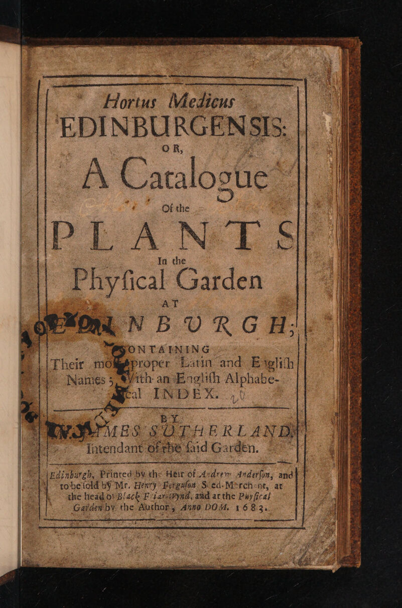 Hortus Medicus 4 EDINBURGENSIS. Cac osue® Ot the Phytical Garden Le xn NBURGH oi FONTAINING [ 2 12 proper Latin and E wiih oa oS : ates Mech: ane’ noth a tage i S eal IN DEX. aX RyMries SOTHERLANDAI latendant of rhe fad Garden. ane Ledinel Printed bv the Heir of Ardrew Anderfon, ead oF tobelold b@ Mr. Henry Berenfon Sed. Merchone, at the head 0! Black Fiiar-wynd, amd acthe Phyfical Gaiden yt the Auchor Anno DOM. 168 as