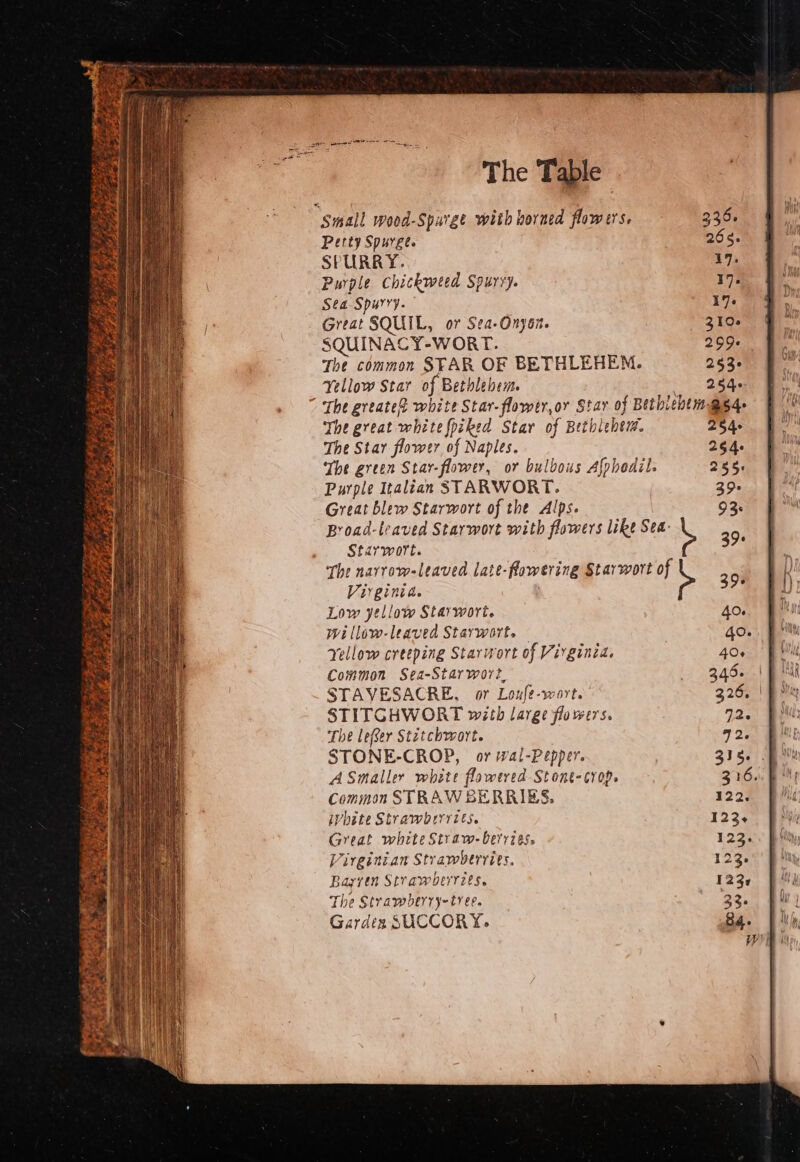 Small wood-Spurge with horned flowers. Perty Spurge. SPURRY. Purple chickweed Spurry. Sea Spurry. Great SQUIL, o7 Sea-Onyor. SQUINACY-WORT. The common SFAR OF BETHLEHEM. Yellow Star of Bethlehem 335. 265. 17. 17. 17. 3106 299s 253° 254- The great white fpiked Star of Bethlehem. The Star flower of Naples. The green Star-flawer, or bulbous Afphedil. Purple Italian STARWORT. Great blew Starwort of the Alps. Broad-leaved Starwort with flowers like Sea: Star wort. The narrow-leaved late-Rowering Starwort of Virginia. Low yellow Starwort. wi llow-leaved Starwort. — Yellow creeping Starwort of Virginia. Common Sea-Starwort, STAVESACRE, or Loufe-wort. STITGHWORT with large flowers. The leer Stztchwort. STONE-CROP, or wal-Pepper. ASmaller white flowered Stont-¢rop. Common STRAW BERRIES, white Strawberries. Great white Straw-bervz8s. Virginian Strawberries. Bayven Strawberries. The Strawberry-tree. Gardez SUCCORY. 264+ 2646 285. 39 93: 39° Cy 40. 4o. 40¢ 346... | sit 326. | pity 12, Be! 12. 335. . 316. 122.