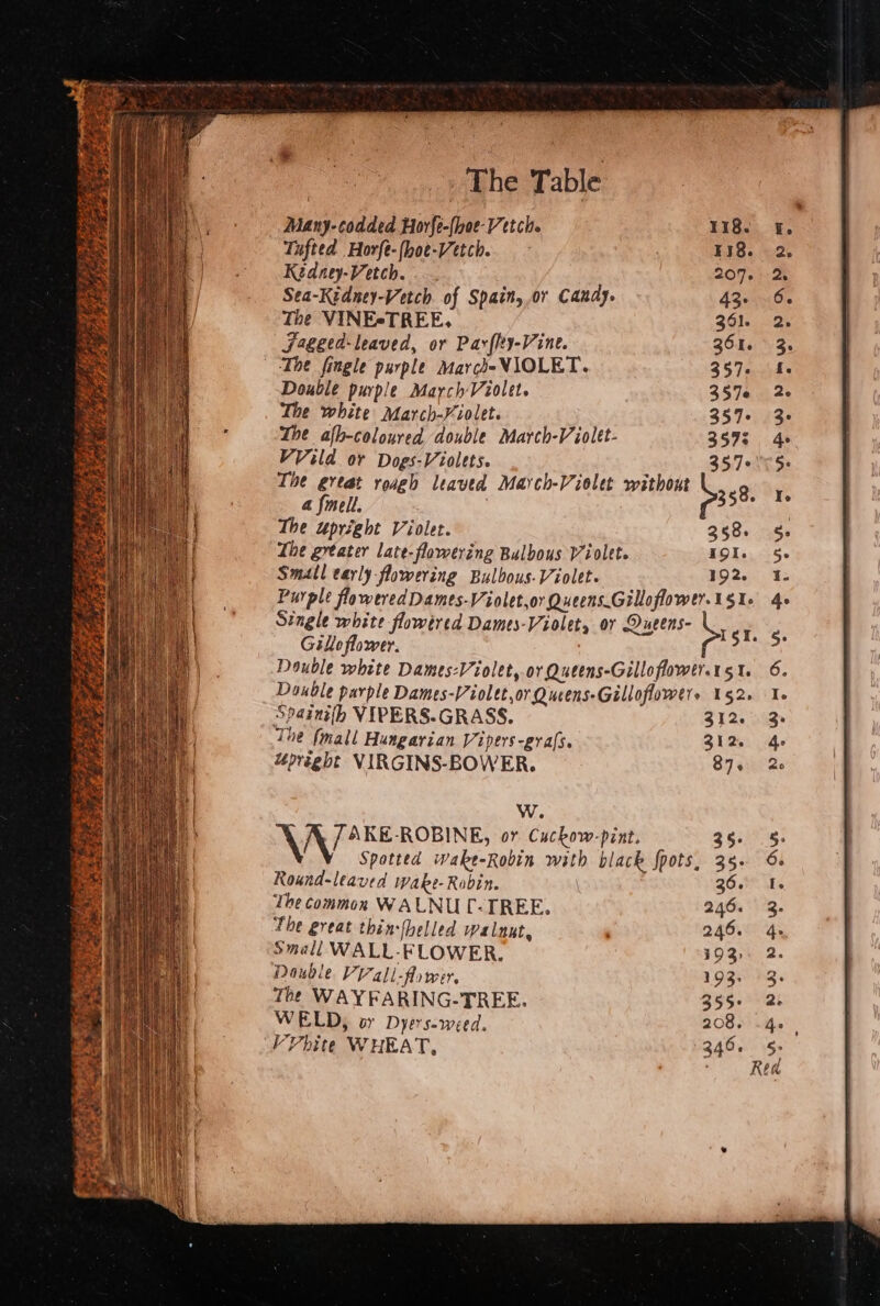 Many-codded Horfe-(hoe-Vetche 118. Tufted Horfe-(hoe-Vetch. | ¥38. Kzdney-Vetch. 207. Sea-Kedney-Vetch of Spain, or Canay. 43. The VINE*TREE, 361. Jrgecd-leaved, or Parflty-Vine. 361. The fingle purple Marcs-VIOLET. 357. Double purple March Violet. 357e The white March-Yiolet. 357. The afh-coloured double March-Violet- 3578 VVild or Dogs-Violets. 357° Tie great roagh leaved March-Vielet without > 9 1 358. 4 Smell. The upright Violet. 358. Lhe greater late-flowering Bulbous Violet. iol. Small early flowering Bulbous-Violet. 192. Purple flowered Dames-Violet,or Queens.Gilloflower.1§1- Single white flowired Dames-Violet, or Oueens- > a Gill flower. , ‘ Double white Dames-Violet, or Queens-Gilloflowti.15 1. Double purple Dames-Violtt,or Qucens-Gilloflowers 152. Spainith VIPERS.GRASS. 312. The (mall Hungarian Vipers-grafs. 312. upright VIRGINS-BOWER, 87. W. \ / AKE-ROBINE, or Cuckow-pint. 35. Spotted wake-Robin with black fpots, 35- Round-leaved wake- Robin. \ 36. The common WALNUC-TREE. 246. The great thin-(helled walnut, 249. Small WALL-FLOWER. Hits Double Vall-A wer. 193: The WAYFARING-TREE. 355° WELD, oy Dyers-weed. 208. VV bite WHEAT, 346. Aw 9 AP HW HRW = Red eines - a > Sat ey tog tS te