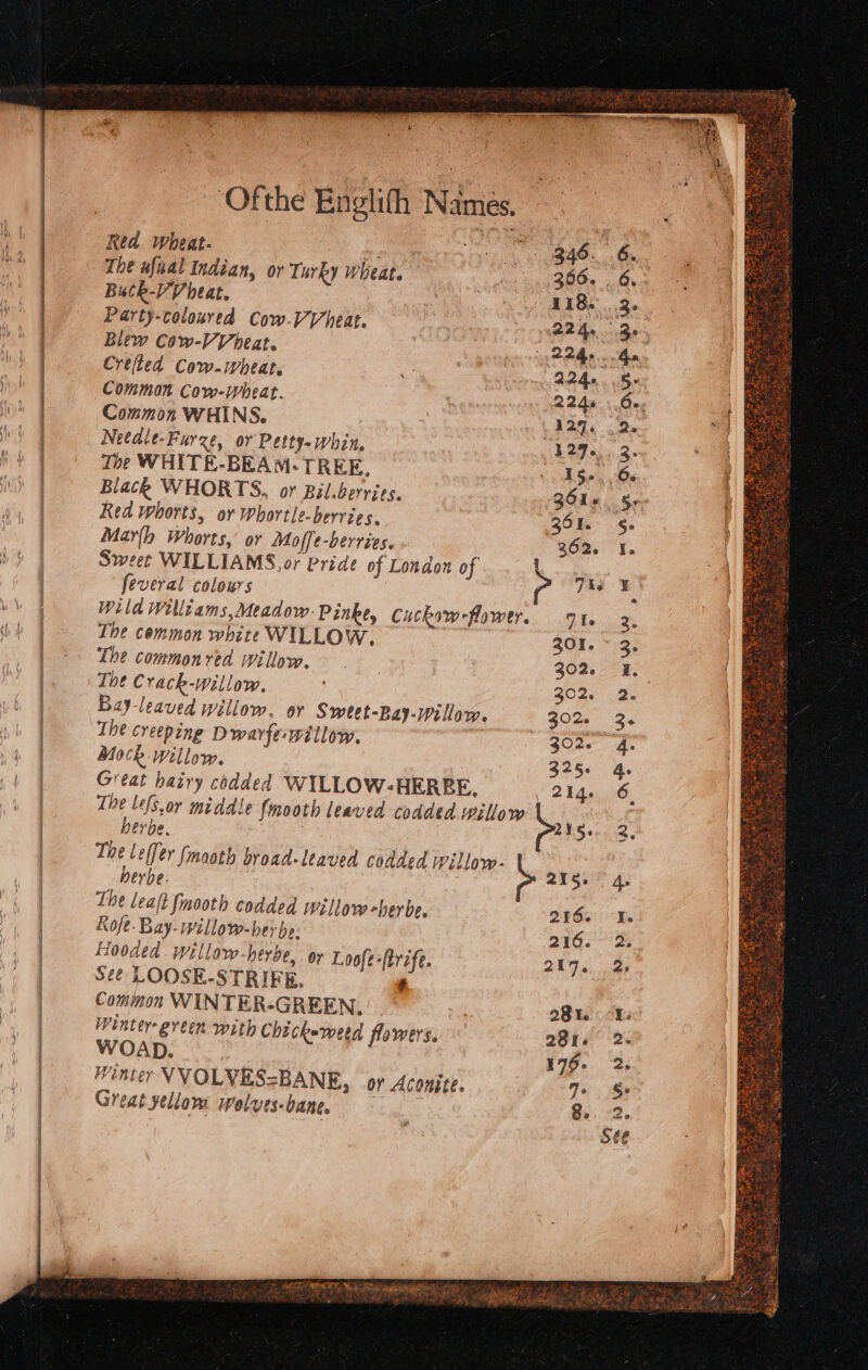 Red wheat- saan B46. 6. The wfnal Indian, oy Turky wheat. fg BOO Lives Butk-VV heat. 118... Party-coloured Cow-V heat. | PPA Be Blew Cow-VV heat. Crefled Cow-wheat. 3 3° Ade Ga 224...8 Hoyt Common Cow-wheat. 6 224% . Go, Common WHINS. 137, 2. Netdle-Furze, or Petty-Whin. eo Se The WHITE-BEAM-TREE, cd Sele ie Black WHORTS, or Bil.berries. 361s. §5 | Red whorts, or whortle-berries. ZOI. §- Marlh Whorts, or Moffe-berries. 362.1. Sweet WILLIAMS, or Pride of London of i | feveral colours | bis Wi | Wild Willtams, Meadow: Pinke, Cuckiw-flower. 71 re bh | The common white WILLOW. 301. * 3. | * The commonred willow. | 302: - = #: | The Crack-willow. 302, 2. ; | Bay-leaved willow, or Sweet-Bay-willow. 40209 3, The creeping Dwarfewillow. : 30ne a. | Mock willow. 325. 4. | Great hairy codded WILLOW-HERBE. 214. 6. | The lefs,or middle {mooth leaved codded willow herbe. 2Y5e 2, The leffer {mooth broad-leaved codded Willow- | berbe. \ edge sie 2 The lealt {mooth codded Willow her be, 2460: “Te | Rofe- Bay-willow-hey be: 216.°-° 3, | Hooded willow-herbe, oy Loofe-(trzfe. 4 hs ede Seé LOOSE-STRIFE. 4 | Common WINTER-GREEN. , 281. Es Wintergreen with Chickeweed flowers. 281. 2. | WOAD. 179-2 Winter VVOLVES=BANE, oy Aconite. Jo Ss Great yellom welves-bane, $4.22
