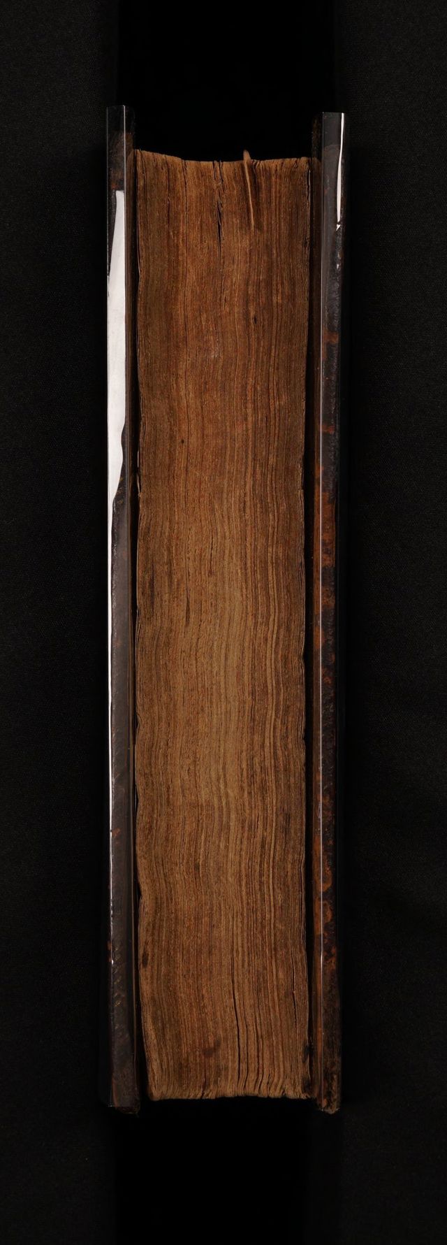 digitised image 3