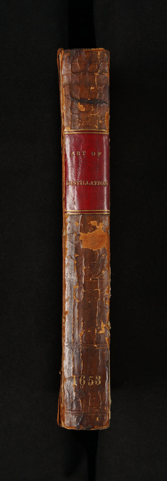 No text description is available for this image