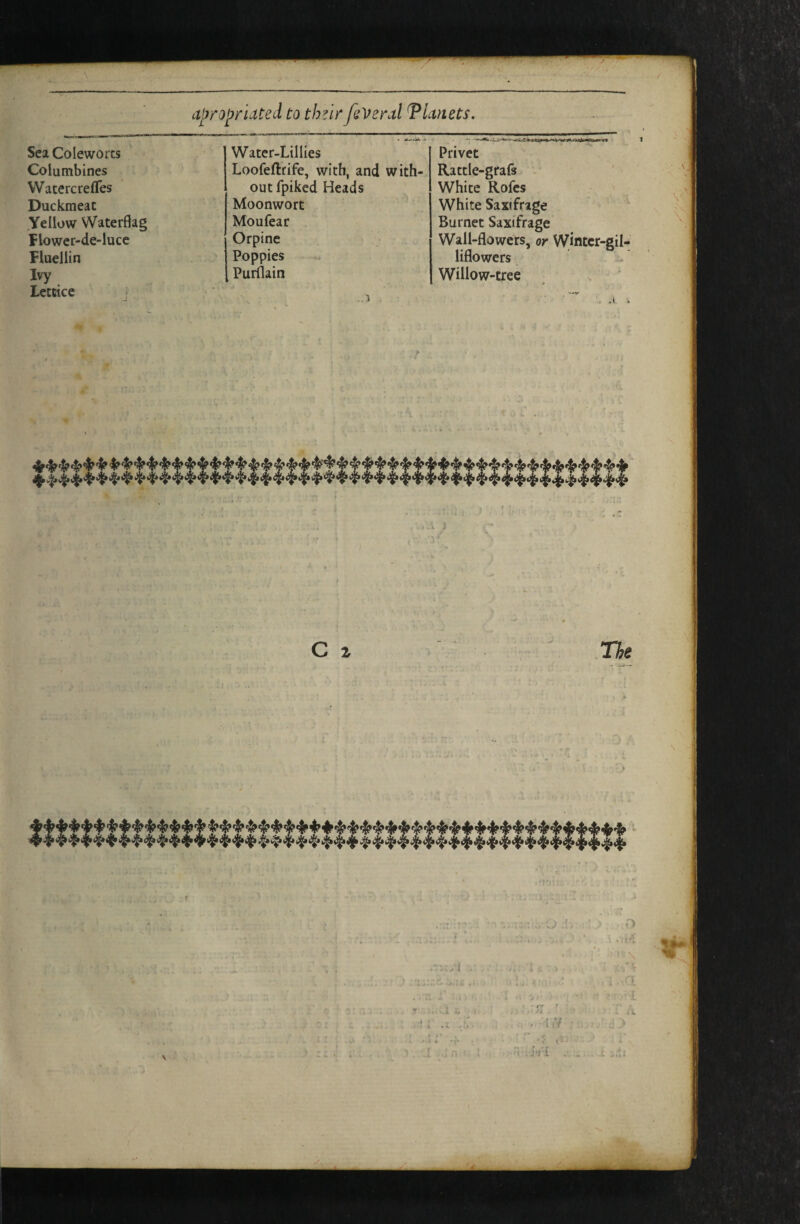 a^ropriated to thtlrfsVeral Tlctnets. Sea Coleworts Water-Lillies Privet Columbines Loofeftrife, with, and with- Rattle-grafs VVatercrefTes outfpiked Heads White Rofes Duckmeat Moonwort White Saxifrage yellow Waterflag Moufear Burnet Saxifrage flower-de-luce Orpine Wall-flowers, or Wintcr-gi fluellin Poppies liflowers Ivy Purflain Willow-tree Lettice j ■ A C z The ...J J'l i n - fl ^ III A