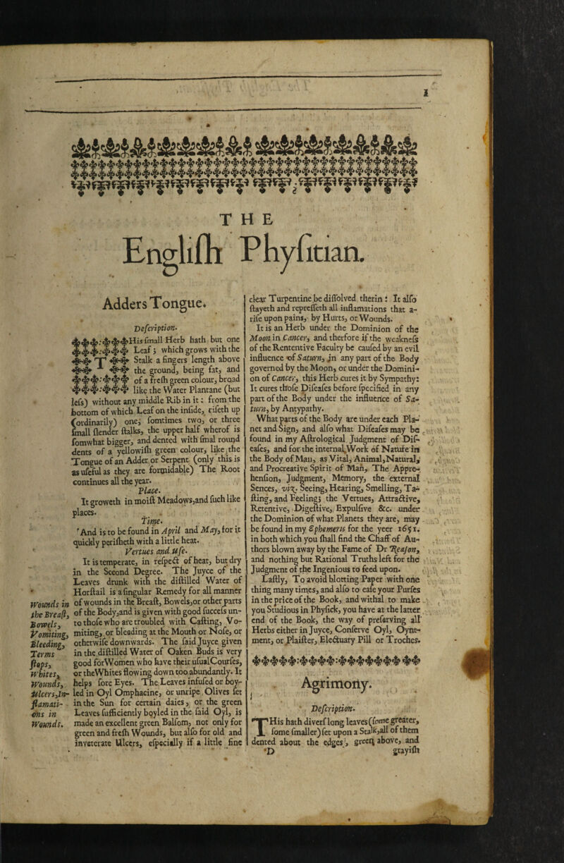 Er^lifti Phy( itiaa Womds in the Breafti Bowehy Vomiting, Bleeding, Terms pops, fvhites^ Wounds, itlcers,Inr flamAti- ons in Wounds. Adders Tongue. Vefcription- tAA;^AAHisfmallHerb hath but one Leaf j which grows with the T Stalk a fingers length above ^4*’ the grounds being fatj and of a freih green colours broad like the Water plantane (but lefs) without any middle Rib in it i from the botwm of which Leaf on the infidcs. rifeth up (ordinarily) one, fomtimes two, or three foiall flender ftalksj the upper half wherof is fomwhat bigger, and dented with final round dents of a yellowiih green colour, like,the Tongue of an Adder or Serpent (only this is as ufeful as they are foroiidable) The Root continues all the year. Vlace. It growcth in moift Meadowsjand fuch like places. tim. ^ And is to be found in April and M-A’j, tor it tjuickly peritheth with a little heat. Vertues And Ufe. It is temperate, in refpeft ofheat, but dry in the Second Decree. The Juyce of the Leaves drunk with the diftilled Water of Horftail isafingular Remedy for all manner of vvounds in the Breaft, Bowels,or other parts of the Bodyjand is given with good fuccefs un¬ to thofe who are troubled with Calling, Vo¬ miting,, or bleeding at the Mouth or Nofe, or otherwife downwards. The faid Juyce given in the diftilled Water of Oaken Buds is very good forWomcn who have their ufualCoiirfes, or theWhites flowing down too abundantly. It hdps fore Eyes. The Leaves infufed or boy- led in Oyl Omphacinc, or unripe, Olives fet in the Sun for cenain daies, or the green Leaves fufficiently boyled in the faid Ovl, is made an excellent green Balfom, not only for green and frelh Wounds, but alfo for old and inveterate Ulcers, efpecially if a little fine clear Turpentine be diflblved therin: It alfo ftayeth and repreffeth all inflamations that a- rife upon pains, by Hurts, or Wounds. It is an Herb under the Dominion of the Moon in Cancer, and therfore if the weakneis of theRententive Faculty be caufed by an evil influence of SatM'n, jn any part of the Body governed by the Moon, or under the Domini¬ on of Cancer, this Herb cures it by Sympathy: It cures thofe Difeafes before fpecified in any part of the Body under the influence of Sa¬ turn, by Antypathy. What parts of the Body arc under each Pla¬ net and Sign, and alfo what Difeafes may be, found in my Aftrological Judgment of Dif^ cafes, and for the internal^Work of Natufe in the Body of Man, as Vital, Animal,Natural, and Procreative Spirit of Man, The Appre- henfion. Judgment, Memory, the external Scnces, vi'K^ Seeing, Hearing, Smelling, Ta¬ iling, and Peelings the Vertues, Attradive, Retentive, Digeftive, Expulfive &c. under the Dominion of what Planets they are, may be found in my Sphemeru for the yeer x6^ i. in both which you lhall find the Chaff of Au¬ thors blown away by the Fame of Dr ’l^eajon, and nothing but Rational Truths left for the Judgment of the Ingenious to feed upon. Laftly, To avoid blotting Pajper with one thing many times, and alfo to eafe your Purfes in the price of the Book, and withal to make you Studious in Phyfick, you have at the latter end of the Book, the way of preferving all' Herbs either in Juyce, Conferve Oyl, Oynt- ment, or JPlaifter, Eleduary Pill or Troches. Agrimony. Veferipdon. THis hath diverf long leaves fome fmallerjfet upon a Stalk,all of them dented about the edges', grcci; above, at^ 'D  grayilh