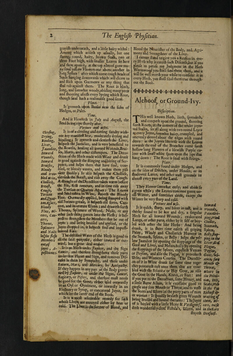 ■ t I grayifli underneath, and a little hairy withal: Among which arifeth up 4ifHalIy, but one ftrongi round, hairy, brown Stalk, two or three Foot high, with fmaller Leaves fethere and there upon it, at the top whcrof grow ma¬ ny fmal yellow Flowers one above another in lon^ Spikes t after which come rough heads of Seeds hanging downwards which wil cleave to and flick upon Garments or any thing that lhal rub againfl them. The Root is black, long, and fomwhat woody,abiding many yeers and fliooting afrefli every Spring which Root, though fmal hath a reafonable good feent. Place. It groweth Upon Banks near the fldes of Hedges, or-Pales. ' Time. And it Fiowfeth in July and /luguli., the Seed being^ripc ih ortly after. Hermes and ufti. €lenfini3 It is of a clenfing and cutting faculty with- Vryingi oht any manifeft'heat, moderately drying and Bindings binding 5 It openeth and clenlcth the Liver, Liver, helpeth the Jaundice, and is very beneficial to Jaundice, Bowels, healing all inward Wotmds,Erui- Jnward ^€*3 Hurts, and other diftempers. The Deco- fVounds, ^ion of the Ha b made with Wine and drunk Inward « good againfl the flinging and biting of Ser- Bruifes, P^ftts, and helps them that have foul, trou- Bloody bled, or bloody waters, and makes them pifs and troti- %cdily, It alfo helpeth the •Chollick, bled Urin, the Breafl, and rids away the Cot^h. ChoUicli, A dta^ht of theDeco^iott tjdteti warm before Breafi, *hc Fttj.firfl; removes, and in time rids away Cough, tbc TeSfiattorQ&atfan Agues: The Leaves Tertian and S<cd taken in Wine, ftayetb the BIoo^ emd^xl- Outwardly applied, being ftamped with tanAgues, Swines greafe, it helpcthold fores, Can- Bloody cew, and inveterate ttkers i and draweth forth Flux, Ul- Thorns, Splinters of Wood, MaHsi or any cers. Can- thing gotten into the Flelh j it bcl- cers, to flarengtheft the Members that be out of Thorne, jo)^t 5 ^ bruifed and applied, or the Splinters Joyce dropped in, it helpeth foul and impofl- and Nails brnredEms. inltheflejj The diftdled Water of the Herb is good to Members blithe faid pttrpTcde^, either inward or out- outfif wdrd, buc a great deal weaker. joynt, A- ' itis-m Herb, underand the Sign pofthumes^ and therforeflrengthehs thofe parts under that Planet and Sign, md removes iJif- cafeiinthemby Sympathy, and thofe under Saturn, Mar^, ittd Mercury, by Antipathy. If they li^pen in any part of the Body gover- inedyy Jupiter, or uiider ihe Signs, Cancer^, Sagitary, or Pifees, and therfpre muft needs be good for th^Gout, eitljtT nfed outwardly in anOylor Oyntment, or inwardly in an Eleauary or Syrup, orconcreated juyee, for which fee the latter end of the Book. Itisa mofl admirable remedy for fiacH whofcLiverj are annoyed either by heat or cold. The is the former of Blood, and Blood the Nourifher of the Body, and. Agri- mony and Strengthner of the Liver. I cannot fland to give you a Reafon in eve¬ ry Herb why it cureth fuch Difeae(s,but if you plcafc to perufe my Judgment in the Herb Wormwoc«l you fliall find them there, and it will be well worth your while to confider it m every Herb, you Ihall find therri true through¬ out the Book. AJehooi^ or Ground-Ivy. DefciiptioH. THis well known Herb, lieth, fpreadeth, and creepeth upon the ground, {hooting forth Roots, at the corners of the tender joyn- ted Stalks, fet all along with two round Leavs at every Joynt, fomwhat hairy, crumpled, and unevenly dented about the edges with round dents: at the Joynrs likewifc with the Leaves towards the end of the Branches come forth hollow long Flowers of a blewifh Purple co¬ lour with fmall white fpots upon the lips that hang down: The Root is fmal with fcings. Place.' It is commonly found under Hedges, and on the udes of Ditches, under Houfes, or in fhadowed Lanes, and other waft groimds in almoft every part of the Land. Time. Tfidy FIowcv fomwhat early, and abktefo a gveat while j the Leaves continue green un- tiU Winter, aftd fomthftes abide, except ,thc Winter be very lharp and cold. Venues and ufe. It IS quick, fharp, and bitter in ta^ and is therby found to be hot and dry, a fingular Herb for all inward Wounds, exulcerated Lungs, or other parts, cither by it fclf or boy- led with other the like Herbs: And being drunk, it in fhort time eafeth all griping Pains, Win^ and Chollerick Humors in the Stomach, ^Iccn, or Belly: helps the ycl* low Jaundice by opening the ftoppings of the Gaid and Liver, and Mdancholly by opening the flowings of the Spleen, expeileth Venom or Poylon, and alfo the Plague, it provoketh Urin, and Womens Courfes. The Decocti¬ on of it in Wine drunk for fome time toge¬ ther pmeoretheafl unto them that are trou¬ bled with the or Hip Gout, ^ alfo the Gout in the Hands, Knees, or Feet; and if you put to the DecoAion, fome Honey, and a little Burnt Alhan, it is excellent good to gargle any fote Mouth or Thpoaf,ana to walh the Sores and Ulcers in the privy parts of man or woman: It ^ecdily healeth green Wounds being bruiftil and bound therunto: Thejuyee of it boyled with a little Hcny & Verdiereef, doihwondetftdlydcnf FiftvJa's, Ulcers, and flayeth Inward Wounds, PainsGrfi- ping^yind ChoUer, Stomach, Spleen, Belly^op- pingin^ Liver,Gal Plague, 'Voyfon, Co»t,Sci^ atka, fort Mouth ^ Throat, Ulcers in theFntd- tiet, mb, Scabejtt'eb in the Bye Rednef&‘ watrkgof them, ul¬ cers, rmje in theEers Deafns^,