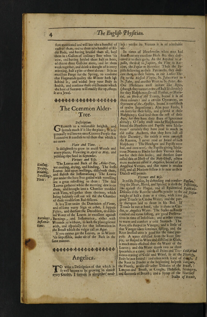ftire mentioned and will but take a handful of each of thttn^ and to them ad a handful of El¬ der Budsj and having bruifed them allj boyl them in a Gallon of ordinary Beer when ’tis new, and having boyled them half an hour, ad this to three Gallons more, and let them wotk together, and drink a draught of it every morning, half a pint or there abouts : It is an excellent Purge for the Spring, to confume that Flegmatick quality the IVinter hath l^t behind it, and withal keep your Body in health, and confume thofe evil humors which the heat of Summer .will readily ftir up,efteem it as a Jewel. 4?^ ^ ^ ^ ^ ^ The Common Alder- . Tree. Defcrlpmn. GRowcth to a reafonable heighth, and fpreads much if it like the place j It is fo gencFally wel known unto Country People that I conceive it needlefs to tel them that which is aio news. Tlace avd Tim^ ■ It delighteth to grow in moift Woods and watry places. Flowring in or and yeilding ripe Seed in September. r Venues and Vfe. I tootinv^ The Leaves and Bark of the '.Alder-Tree, are cooling, drying, and binding. The frefh- Leaves laid upon fwellings, diflolveth them, and ftaieth the Inflamation^j The Leaves ^kas * ^ under the bare Feet gauled with travelling are a great refreflting to them : The faid Leaves gathered while the morning dew is on them^ and brought into a Chamber troubled with Fleas, wil gather them thcrinto, which being fuddenly caft out wil rid the Chamber of thofe troublefom Bed-fellows. It is a Tree under the Dominion oi Venus, andofiome watry Sign or other, I fuppofe Tifees, and therfore the Decoftion, or dillil- led Water of the'Leaves is excellent againfi Bw/aws, Burnings 5 and Inflamation, cither with Infiam'a- ' ... . • . tims. Wounds I or without, to bath the place grieved with, and efpecially for that inflamation in the Breaft which the vulgar call an Ague. If you cannot get the Leaves, as in Winter ’tis impoffible, make ufe of the Bark in the fame manner. Angelica. j To write a Defeription of that which is fowell known to be growing [in almoft mry Cardenj I (uppofc is sdtogether; nced-^ 4 lefs: yet for its Vertues it is of admirable ulc. In times of Hcathenifm when men had founU cut any excellent Herb &c. they dedi¬ cated it to their gods, As the Bcty-tice to A- poUo, theO/?^ to Jiipiltr, the Vine to Bac¬ chus, the Poplar to Hercules: Thefe the Pa- pifis following as their Patriarchs, they dedi¬ cate thet^ to their Saints, as cur Ladies Tin- /?/? to the Blejjcd Virpn, ^t. Johns Wort to ♦ St. John, and another Wort to St. Peter, &c. Our Phyfitians muH imitate like Apes, (though they'cannot ccme^ifFhalf fo' cleverly) for they Blalphcmoufly call Panfles, or Harts- eaf, an Herb of the Trinity, bccauf it is of three colours: and a certain Oyntment, an Oymment of the .Apoftles, becauf it corfifteth of twelve Ingredients; Alas poor.Fools, I am forry for their folly, and grieved at their Blafphemy ; God fend them the reft of their Age, for they have their fliare of Ignorance already, O ! why muft oursbeBla^hemous becauf the Heathens and Papifts were Idolar trous ? certainly they have lead fo much in old ruftie Authors, that they have loft all their Decmity, for unlefs it were aiaongft tfie Ranters, I never read or heard of fuefa Blafphemy : The Heathens and Papifts were bad, and ours worf,- the Papifts giving Idola¬ trous Names to H«rbs for their Vertues lake, net for their, fair- looks; and therfore feme called this an Herb of the Holy Chofl, others more moderate called it Angelica, becauf of its Angelical Vertues, and that name it retains ftil^ and all Nations follow it fo near as their Dialed will permit. Vertues end fife. Itreflfts Poyfon, by defending andeemfor- Toy fen,' ' ting the Heart, Blood, and Spirits; it doth the Penitence, like againft the Plague, and all Epidemical Epidem- Difeafes if the Root be takerrtn peuder to the cal Hifea- waight of half a dram at a time, with feme good Triacle in Cardus Water, and the par¬ ty therupon laid to fweat in his ■ Bed. If Treacle be not at hand, take it alone in Car- dusj or Angelica Water. The Stalks otRootj candied and eaten falling, are good Preferva- tives in time of Infedion; and at other times to warm and comfort a- cold Stomach. The Roo^alfofteepedin Vinegcr, and a little of that Vineger taken femtimes f?fting, and the . Root fmellcd unto is good for the fame.put- pofe. A w^ater diftilled from the Root lim¬ ply, or fteeped in Wine and diftillcd in daft, is much more eficdual than the Water of the Leaves j and this Water drunk two or three fpeonfuls at a time, cafeth all Pains and Toi- Coldjs^htd ments coming of Cold and Wind, fo as the PleutcJj, Body be'not bound: and taken with fcm.e of Cough, | the Root in Pouder at the beginning helpeth Lungues, ^ the Plurefy, as alfo all* other Difeafes of the Breaft, Lungues and Breaft, as Coughs, Phthilick, Strangit/y, an^monnefs of Breath} and a Syrup of the Shormft •-- - Staib of Breath,