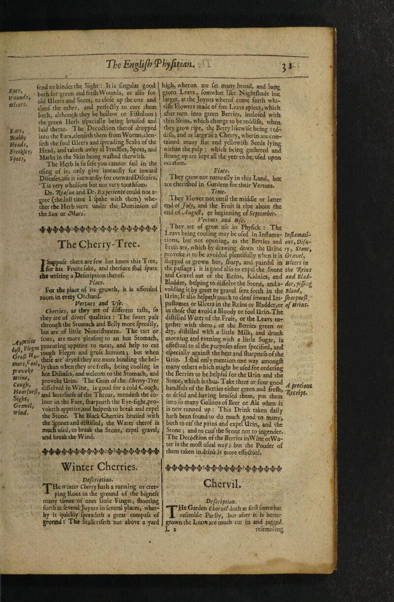 The EngUp?T^hyfitmi. Eyes, woums, ulcers. 'Ears, , Scabby Heads, Erecl(Jes, Spots, fend or hinder the Sight: It is fmgular good' both for green and frefh Wounds, as alfo for old Ulcers and Sores, to clofe up the one and clenf the other, and pcrfedly to cure them both, although they be hollow or Fiftulousj the green Herb efpecially being bruifed and laid therto. The Decodtion therof dropped into the Earsjclcnfeth them from WormSjclen- feth the foul Ulcers and ipreading Scabs of the Head, and taketh avhy al Freckles, Spots, and Marks in the Skin being waflied therwith. The H^rb is fo fafe you cannot fail in the ufing of it, only give inwardly for inward Difeafes,ufe it outwardly for outwardDifeafes, ’Tis very wholfom but not very toothfom. Dr. T^eafon and Dr. Experience could not a- gree (the Jaft time I fpake with them) whe¬ ther the Herb were under the Dominion of the Sun or >Mars. The Cherry-Tree. I ' Si^ppofe there are few but know this Tree, ^ for his Fruits fake, and therfore Aral fpare cbe writing a Defeription therof. Place. ' For the place of its growth, it is afforded room in evety Orchard. Verrtues and vfe. Cherries, as they are of different tails, fo they arc of diverf qualities : The fweet pafs through the Stomach and Belly more fpeedily, but are of little Nouriihment. The tart of , fowr, are more pleafing to an hot Stomach, illFlem procuring appetite to meat, and help to cut /? H .^ough Flegm and grols humors j but when C T dryed they are more binding thebel- mors, 001, when they are freih, being cooling in ^oyoye Difeafes, and welcom to the Stomach, and provoke Urin. The Gum of the Cherry'•Tree ’ p diflolved in Wihe, is good for a cold Cough, oivrjneji, hoarfnefs of the Throat, mendeth the co- ^. lour in the Face, fharpneth the Eye-fight,pro- > voketh appetite,and helpeth to break and expel the Stone. The Black Cherries bruifed with the %onesanddiftillcdi the Water therof is much ufed, to break the Stone, expel gravel, and break the Wind. Winter Cherries. Defeription. 'He winter Cherry hath a running or cree¬ ping Root in the ground of the bignefs many times' of ones little Finger, fhooting forth at feveral Joynts in feveral places, wher- by it quickly fpreadeth a great compafs of gronnd; The Stalk rifeth not above a yard wind. high, wheron arc fet many broad, and long green Lcavs, fomwhat like Nightfliade biit larger, at the Joynts wherof come forth whi- tifh Flowers made of five Leavs apiece, which after turn into green Berries, inclofed with thin Skins, which change to be reddifh, when tiiey grow ripe, the Berry likewife being red¬ difh, and as large as a Cherry, wherin are con¬ tained many flat and yellowifh Seeds lying within the pulp } which being gathered and ftrung up are kept all the ycer to be ufed upon occafion. Place. They grow not naturally in this Land, but are cherifhed in Gardens for their Vertucs. Time. They Flower not until the middle or latter end of July, and the Fruit is ripe about the end of .yiuguft, or beginning of September. Vertues and ufe. They arc of great ufe in Phyfick : The Leavs being cooling may be ufed in Inflama- Inflamau- tions, but not opening, as the Berries and ons,Di[u~ Fruit arc, which by drawing down the Urine ry, Stone, provoke it to be avoided plentifully when it is Gravel, flopped or grown hot, fliarp, and painful in ulcers in- the paflage 5 it is good alfo to expel the Stone the ‘E^eins and Gravel out of the Reins, Kidnies, and and Blad- Bladder, helping to diffolvc the Stone, and a- derjp'iffi/ig voiding it by greet or gravel fent forth in the Blood, Urinjit alfo helpeth much to clenf inward Im- jharpnef^; poftumes or Ulcers in the Reins or Bladder,or of Unns. in thofe that avoid a Bloody or foul Urin.The diftilledWatC).-of the Fruit, or the Lcavs to^ gethcr with them, or the Berries green or dry, diftilled with a little Milk, and drunk morning and evening with a little Sugar, is effedualto al the puipofes afore fpecified, and efpecially againft the heat and fharpnefs of the Urin. I fhS only mention one way amongft many others which might be ufed for ordering the Berries to be helpful for the Urin and the Stone, which is thus. Take three or four good handfuls of the Berries either green and frefh, or dried and having bruifed them, put them into fo many Gallons of Beer or Ale when it is new tunned up : This Drink taken daily hath been found to do much good to many, both to eafthc pains and expel Urin, and the . Stone i and to caufthe Stone not to ingender. The Deepdion of the Berries inWine orWa- ter is the moll ufual wa/ j but the Pouder of them taken indrinkis more effedual. Chervil. Defeription. THe Garden Chervil doth at firfl fomwhat refemble Parfly, but after it is better grown the Lea« arc much cut in and jagged L a refembiing A precious Receipt*