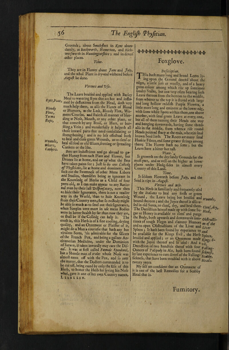 Grounds, about South fleet in l^ent abun¬ dantly, at BHckworth, Hamertonj and Rkh- •iverf worth in Huntingtonjhire j and in divei-r -other places. Time. They arc in Flower about ^une and July, and the whol Plant is dryand withered before Auguft be done. Foxglove. Bloody Flux, Terms fiops. Fertues and Vfe. The Leavsbruifed and applied with Barley Evet > watering Eyes that are hot and infla- J > ^ *3 med by defluxions from the Head, doth very much help them, as alio the Fluxes of Blood or Humors, as the Lask, Bloody Flux, Wo¬ mens Courfcs, and ftaieth all manner of blee¬ ding atNofe, Mouth, or any other place, or that cometh by any Bruif, or Hurt, or bur- fting.aVcinj and wonderfully it helpeth all thoie inward parts that need confolidating or ftrengthenihg ; and is no lefs effedual both H'ntinde Wounds, as to clenf or Ulcere ^ Ulcers,fretting or fpreading Cankers ^ ‘ Bees are induftrious and go abroad to ga¬ ther Honey from each Plant and Flower, but Drones lie at home, and eat up’what the Bees have taken pains for j Juft fo do our C'oUedg *>f Thyfltians, lie at home and domineer, and fuck out the Sweetnefs of other Mens Labors and Studies, thcmfclvs being as ignorant in the Knowledg of Herbs as a Chfld of four yeers old, as I can make appear to any Ratio¬ nal man by their laft2)ii^m/<jrflry, now then to hide their Ignorance, there is not a readier way in the World, than to hide Knowledg from theirCountry mcn,that fo noBody might he able fo much as to fmel out theirignorance, when Simples were more in ufc mens Bodies were in better health by far than now they are, or ftiall be if the Collcdg can help it. The ^ truth is, this Herb is of a fine cooling, drying ' quality, and an Oyntment or Plailfer of it, might do a Man a courtefie that hath any hot virdent Sores, ’tis admirable for the Ulcers of the French Pox, and being a gallant An- tivenerian Medicine, under the Jpominion of Saturn, if taken inwardly may cure the Dif- caf. It was at firft called Fcemalc Speedwel, but a Shentle man of jvales whofe Nofc was almoft eaten off with the Pox, aijd fo neer the matter, that the Dofters commanded it to be cut off, being cured by only the Ufe of this Herb, to honor the Herb for faying his Nofe whol, gave it one of her ov\[n Country names, L lu i L 1 I N, Befcription. 'T^His hath many long and broad Leavs ly- ing upon the Ground dented about the edges, a little foft or woolly, and of a hoary green colour among which rile up fomtimes Sundry Stalks, but one very often bearing fuch Leavs thereon from the bottom to the middle, fiom whence to the top it is ftored with large a^nd long hollow reddilh Purple Flowers, a little more long and eminent at the lower edg, with fome white Spots within them,one above another, with fmal green Leavs at everyj one, but all of them turning their Heads one way and hanging downwards, having fome threds f alfointhe middle, from whence rife round I Heads pointed iharp at the ends, wherein fmal I brown Seed lictbi The Roots are many fmal Huskie Fibresjand fome greater firings among themi The Flower hath no feent j but the Leavs have a bitter hot taft. Tlace. , It groweth on the dry fandy Grounds for the moll part, and as Well on the higher as lower ^aces imder Hedg-fidcs in almoft every County of this Land. Time. It feldom Flowreth before July, and the Seed is ripe in .Augufl. Vertues and ufe. This Herb is familiarly and frequently ufed by the Italians to heal any frelh or green Wound, the Leavs being but bruifed and wfAundt bound thereon j and the juyee therof is alfo u- ^ fed in old Sores, to clenf, dry, and heal them. ri.„r j,.,, The Deco'dion hereof made up with fome Su- Heal gar or Honey is available to clenf and purge ’ the Body, both upwards and downwards fom- nh^ruFti times of tough Flegm and clammy hinmoss of the and to open Obftrudions of the Liver and Spleen It hath been found by experience to be available for the Kings Evil, the Herb Sn/ffa bruifed and applied J or an Oyntment made v;«p.c with the Juyee thereof and fo ufed : And a ^ Decodion of two handfuls therof with four vJlinir- Ounccs of Polipody in Ale, hath been found (jrUneR by late experience to cure diverf of the Failing- ^ ficknefs, that have been troubled with it above twenty yeers. ^ eieaas. My felf am confident that an Oyntment of it is one of the bell Remedies for a Scabby Head that is. Fumitory.