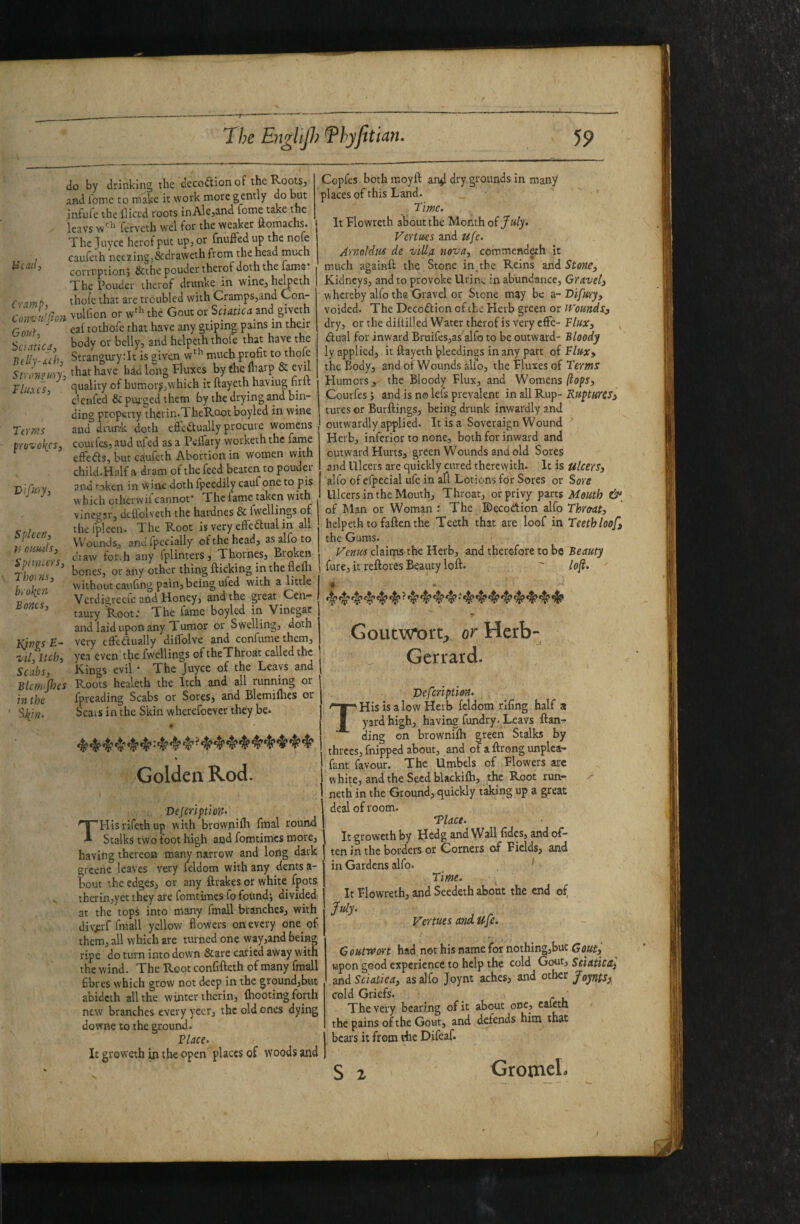 5? The EtigliJ!) ^hyfitian. Head, Cramp, Convulfton Gouf, Saatica, Jltlly-Aih, Stronmy, fluxes. Terms provol^cs, Vifury, Spleen, ir omtls, SpiiHiers, Thoins, broken Bones, Kings E- iil. Itch, Scabs, Blemishes in the do by drinking the decodionof the Roots, and fome to make it work more gently do but infufe the Hiced roots inAle,and fome take the leavs ferveth wcl for the weaker ftornaclis* The Joyce hcrof put up, or fnufted up the nofe caufeth neetingj&tirawethfrom the head much corrnptionj &the pouder therof doth the lame* The Pouder therof drunke in wine^hel^eth thole that arc troubled with CrampSjind Con- Yullion or w^^ the Gout or Sciatica and giveth eaf tothofe that have any griping pains in their body or belly, and hclpeththofe that have the Strangurytit is given w*^'^ much profit to thofe that have had long Pluxes by fhc fltarp & evil quality of humor^,which it ftayeth haviug firft clcnfed & purged them by the drying and bin¬ ding property thcrin.TheRoot boyled in wine and drun’k doth eftcdtually procure womens cour fes, and ufed as a PeflTary worketh the fame effedls, but caufeth Abortion in women with child.Half a dram of the feed beaten to pouder and taken in wine doth fpeediiy cauf one to pis w'hich otherwii cannot* The fame taken with vinegar, dtflolveth the hardnes & fwellings of the Ipleen. The Root is very effedlualin aL Wounds, and fpcclally of the head, as alfo to draw foivh any fplinters, Thornes, Broken bones, or any other thing flicking in the flefli without caufing pain, being ufed with a little Verdigreeie and Honey, and the great Cen¬ taury koot: The fame boyled in Vinegac and laid upon any Tumor or Swelling, doth very cftedually diffolve and confumethem, yea even tfie fwellings of theThroat called the Kings evil * The juyee of the Leavs and Roots healeth the Itch and all running or fpreading Scabs or Sores, and Blemiflies or Scats in the Skin wherefoever they be. Copfes both moyfl an^ dry grounds in many places of this Land. Time. It Plowreth about the Month of/w/y* Venues and ufe. Arnoldtts de villa nova, commendeth it much againfl the Stone in.the Reins and Kidneys, and to provoke Urinu in abundance, whereby alfo the Gravel or Stone may be a- voided. The Decodlion of the Herb green or dry, or the diftilled Water therof is very efFc- dlual for inward Bruifes,asTlfo to be outward¬ ly applied, it ftayeth Ipleedings in any part of the Body, andofWouirds alfo, the Pluses of Humors, the Bloody Plux, and Womens Courfesj and is n© lei's prevalent in all Rup¬ tures or Burftings, being drunk inwardly and outwardly applied. It is a Soveraign Wound Herb, inferior to none, both for inward and outward Hurts, green Wounds and old Sores and Ulcers are quickly cured therewith. It is alfo of efpecial ufe in aft Lotions for Sores or Ulcers in the Mouth, Throat, or privy parts of Man or Woman .* The Decottion alfo helpeth to fallen the Teeth that are loof in the Gums. Venus claims the Herb, and therefore to be fure, it reftores Beauty loft. 4 • Goutwt)rt, or Herb- j Gcrrard. Stone, Gravel, Difury, Wounds, flux. Bloody flux. Terms flops, Kuptms, Ulcers, Sore Mouth & Threrat, Teeth loof, Beauty lof. t Golden Rod. Dejeription^ THisiifethup with brownifh final round Stalks two foot high and fomtimes more, having thereon many narrow and long dark greene leaves very feldom with any dents a- bout the edges, or any ftrakes or white fpots thcrin,yet they are fomtimes fo found; divided at the tops into many fmall branches, with div^rf fmall yellow flowers on every one of them, all which are turned one way,and being ripe do turn into down &are caried away with the wind. The Root confifteth of many fmall fibres which grow not deep in the ground,but abideth all the wiirtertherin, (hooting forth new branches every yeer, the old ones dying downe to the ground. flace. It groweth m the open places of woods and Deferiptien. T His is a low Herb feldom rifing half a yard high, having fimdry-Leavs ftan- ding on brownilh green Stalks by threes, fnipped about, and of a ftrong unplea- fant favour. The Umbels of Plowers arc white, and the Seed blackilh, the Root run¬ neth in the Ground, quickly taking up a great deal of room. 'Place. It groweth by Hedg and Wall fidcs, and of¬ ten in the borders or Comers of Fields, and in Gardens alfo. ^ Time. It Plowreth, and Seedeth about the end of, July. Vertues and ufe. { C outreort had not his name for nothingjbuc Gout, wpon good experience to help the cold G(M, Sciatica, as.nd Sciatica, as alfo Joynt aches, and oth^s Joynts, cold Griefs. . The very bearing of it about one, cafeth the pains of the Gout, and defends him that bears it from the Difeaf. S 1. GromeL