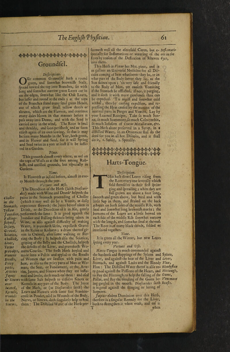 4* •$* *1? •t'^ ^*1? ^ ^ ^ ^ ^ 4''*1^ Groundfel. DefcriptioiU Ur common Groundfel hath a round green, and fomwhat brownilh Stalk, fprcad toward the top into Branches, fet with long and fomwhat narrow green Leavs cut in on the edges, fomwhat like the Oak Leavs, but lefTer and round at the ends j at the tops of the Branches ftandmany fmal green Heads, out of which grow fmall yellow threds ©r thrums, which are the Flowers, and continue many daies blown in that manner before it pafs away into Down, and with the Seed is carried away in the wind. The Root is fmal and threddy, and foon perifheth^ and as foon rifeth again of its own lowing, fo that it may be fecn many Months in the Yeer, both green, and in Flower and Seed, for it will Spring and Seed twice in a yeer at leaft if it be lufFe- red in a Garden. P/rfCC. This groweth almoft every where, as wel on thetopsofWallsasatthe foot among Rub- bifti, and untilled grounds, but efpecially in Gardens. ^ Time- It Flowreth as is;faid before, almoft in eve¬ ry Month through the yeer. Vertues and ufe. The Decoftion of the Herb (faith Diofcori~ des) made with Wine and Drunk' helpeth the ChoUer pains in the Stomach proceeding of Choller in the (which it may well do by a Vomit, as daily Stomach, experience Iheweth) the juyee hereof taken in ICeUova Drink, or the Decoftlon of it in Ale, gently dice, performeth the fame : It is good againft the trailing- Jaundice and Falling-ficknefs being takea in fickntf. Wine, as alfo againft difficulty of making Difury, Water, it provoketh Urin, expelleth Gravel C ravel, in the Reins or Kidneys j a dram thereof gi- Sciatica, ven in Oximel, after fome walking or ftir- ChoUic\, ring the Body j It helpeth alfo the Sciatica, Liver, griping of the Belly and the Chollick, helpeth Terms the defefts of the Liver, and provoketh Wo- fiovol{Cs, mens Courfes. The frelh Herb boyled and womens made into a Pultis and aupled to the Breafts Ereafts, of Women that are fwollen with pain and Privy heat, as alfo to the privy parts of Man or Wo- farts, man, the Seat, or Fundament, orthe. Arre- ■ Arteries ties, Joynts, and Sinews when they are infla- Joynts med and fwoln, doth much eafthem: and ufed Clt-withTome Salt helpeth to dilfolve Knots or over Kernels in any part of the Body. The Juyee Inated, of the Herb, or (as Diofcoridcs faith) the Kernels, Leavs and Flowers with fome fine Frankin- Wounds cenfe in Pouder, ufed in Wounds of the Body, in the Nervs, or Sinews, doth fingularly help to heal Sinews, them: The Diftilled Water of the Herb per- formeth well all the aforefaid Cures, but e- Inflamati^ fpecially for Inflamations or watering of the ons in the Eyes by reafon of the Defluxion of Rhewm Syes, into them. This Herb is Venus her Mrs. piece, and is as gallant an Univerfal Medicine for all Dii- eafes coming of heat whatfoever they be, or in what part of the Body foever they lie, as the Sun fhines upon J ’tis very fafe and friendly to the Body of Man, yet caufeth Vomiting if the Stomach be afflifted, if not, it purging, and it doth irwith more gentlenefs than can be expelled. ’Tis mpift and fomwhat cold withal, thereby caufing expulfion, and re- prelfing the I^eat caufed by the motion of the internal parts in Purges and Vomits, Lay by your Learned Receipts, Take fo much Sen¬ na, fo much Scammony,fo much Colocynthis, fo much Infufion of Crocus Metallorum, &c. This Herb alone preferved in a Syrup, in 3 diftilled Water, in an Oyiitment ftial do the deed for you in all hot Dife^fes, and it lhall do it, I. Safely, 2. Speedily. 4^ 4* 4 4* 4* 4* • 4 4* 4 4* 4* 4? 4* 4* 4t'’ ^ ^ ^ j ^ ^ Harts-Tongue. ’Defeription- T His hath diverf Leavs rifing from the Root everyone feverally which fold themfelvs in their firft tprin- ging and fpreadiug j when they are full grown are about a foot long, fmooth and green above, but hard and with little Sap in them, and ftraked on the back athwart on both fides of the middle Rib, with fmal and fomwhat long brownifh marks j the bottoms of the Leavs are a little bowed on each fide of the middle Rib fomwhat narrow with the length, and fomwhat fmal at the end. The Root is of many black thleds, folded or interlaced together. Time> It is green all the Winter, but new Leavs fpring every yeer. Vertues and. Vfc. Harts-Tongue is much commended againft the hardnefs and ftoppings of the Spleen and Spleen, Liver, and againft the heat of the Liver and Liver, Stomach, and againft Lasks and the Bloody Flux, Flux ; The Diftilled Water tfaerof is alfo ve- Bloody flux ry good againft the Paflions of the Heart, and Hiccough,. to ftay the Hiccough,to help the falling of the Gums, Pallat, and ftay the bleeding of the Gums be- Venemous ing gargled in the mouth. Diofcorides faith Beafls. it is good againft the flinging or biting of Serpents. /wpitcr claims Dominion over this Herb, therfore is a fingular Remedy for the Liver, both to ftrengthen it when weak, and eaf it T when