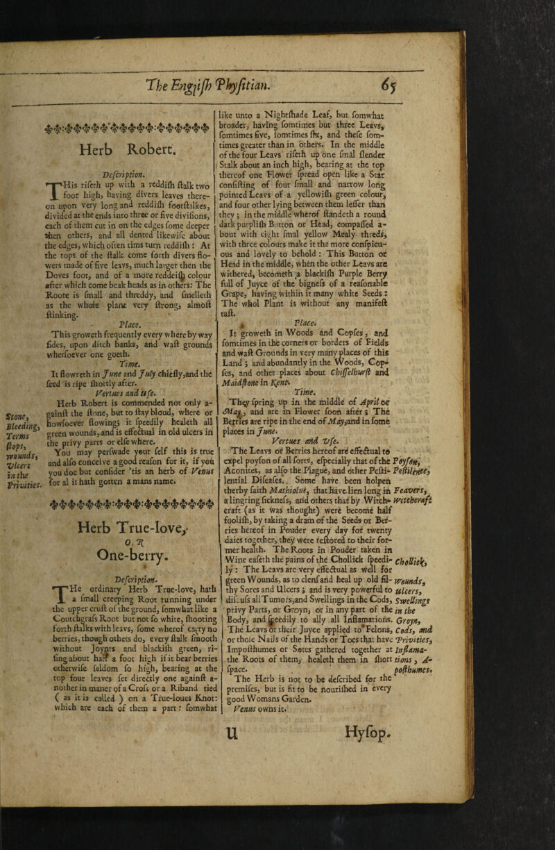 Stone, Bleeding, Te-ms fiofi, wounds. Ulcers inthe privities. Herb Robert. Vefenption. T'His rifeth up with a reddifh ftalk two foot high, having clivers leaves there¬ on upon very long and reddifh footftalkes, divided at the ends into three or five divifions, each of them cut in on the edges Tome deeper then others, and all dented likewifc about the edges, which often tims turn rcddilli: At the tops of the ftalk come forth divers flo¬ wers made of five leavs, much larger then the Doves foot, and of a more reddeiljj colour after which come beak heads as in others: The Roote is fmall jmd threddy, and fmelleth as the whole plarw: very itrong, almoft linking. Vlace. This groweth frequently every whereby way lides, upon ditch banks, and wafl: grounds wherfoever one goeth. time. It flowreth in June and July chiefly,and the feed is ripe ihortly after. yertues and Ufe. Herb Robert is commended not only a- gainft the ftone, but to ftay bloud, where or howfoever flowingj it fpeedily healeth all green wounds, and is effedual in old ulcers in the privy parts or elfe where. You may perfwade yeur fclf this is true and alfo conceive a good rcafon for it, if yoh you doe but confider ’tis an herb of Fenus for al it hath gotten a mans name. Herb True-love^ 0. One-berry. i Vefeription. THe ordinary Herb True-love, hath a fmall creeping Root running under the upper cruft of the ground, fomwhat like a Couteberafs Root but not fo white, (hooting forth Imks with leavs, fome wherof carry no berries, though others do, every ftalk fraooth without Joynts and blackilh green, ri¬ ling about hall a foot high if it bear berries otherwife faldom fo high, bearing at the top four leaves fee diredly one againft a- nbther in maner of a Crofs or a Riband tied ( as it is called ) on a Tiue-loues Knot: which are each of them a part: fomwhat like unto a Nightftiade Leaf, but fomwhat broader, having fomtimes but three Leavs, fomtimes five, lomtimes flx, and thefe fom¬ times greater than in others. In the middle of the four Leavs rifeth up one final {lender Stalk about an inch high, bearing at the top thereof one Llowet fpread open like a Star confifting of four fmall and narrow long pointed Leavs of a yellowifli green colour, and four other lying between them lefler than they ; in the middle whcrof ftandeth a round dark purplilh Button or Head, compafled a- bout with eight final yellow Mealy threds, with three colours make it the more confpicu- ous and lovely to behold: This Button or Head in the middle, when the other Leavs are vvithered, becorncth 'a blackilh Purple Berry full of juyee of the bignefs of a reafonable Grape, having within it many white Seeds : The whol Plant is without any manifeft taft. j Vlace. It groweth in Woods and Copies, and fomtimes in the corners or borders of Pields and waft Grounds in very many places of this Land; and abundantly in the Woods, Cop* fes, and other places about Chiffelhurfi and Maid^one in K,enP- i ' ■ Time. Th^ fpring up in the middle of April oe and are in Flower foon after ; The Bernes are ripe in the end of May,-and in fome places in Vertues and vfe. . The Leavs or Berries hereof ard effedf ual to expel poyfon of all forts, efpeciaily that of the Poyffftj Aconites, as alfo the Plague, and other Pefti* Fe^ilenfel lential Difeafes.. Some have been holpen xhtxhy (uxh Mathiolui, that have lien long in leavers, a lingring ficknefs, and others that by '^ix.th.^ivitehcrafi craft (as it was thought) were become half foolilh, by taking a dram of the Seeds or Ber¬ ries hereof in Pouder every day for twenty daies together, they were reftored to their for¬ mer health. The Roots in Pouder taken in Wine eafeth the pains of the Chollick fpeedi- choUieJ(i ly: The Leavs are very elfeftual as well for green Wounds, as to clenfand heal up old fil- wounds, thy Sores and Ulcers; and is very powerful to ulcers, difeufs allTumors,and Swellings inthe Cods, Swellings ' privy Parts, or Groyn, or in any part of the in the Body, and^eedily to ally all Inflamations. Groyn, The Leavs or their Juyee applied to*Felons, Cods, and or thole Nails of the Hands or Toes that have 'Privities, Impofthumes or Sstes gathered together at infiama- thc Roots of them, healeth them in Ihort tions, A- fpace. ■ pofihumes. The Herb is not to be deferibed for the premifes, but is fit to be nourilhed in every good Womans Garden. Femes owns it. U Hylbp.