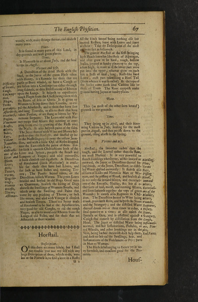 woody, with.many firings thereat jandabideth many years. Vlacc. It is found in many parts of this Land, in dry ^rounds and wail green places. ^ rme. ■ It T-lowreth in or about /w/y, and the Seed is ripe in Venues and Vfe. A, Decodtion of the dried Herb with the Seed, orthejuyce of the srcen Herb taken with Honey, is a Remedy tor thofe that are Difficullv purfic or fhort winded, or have a Cough or ^fhreath are fallen into a Confumption cither through coueh ^ ficknefs, or thin Diitillations of Rhewm tion tough Flegm from the Cheft,being taken with ^ the Roots of Iris or Orris. It is given to Women to bring down their Courfes, to ex- tton, Tlegm Temi lyovokes, pel the Afterbirth, and to them that have fore Afterbirth^ and long Travails, as alfo to thofe that have Jearinek taken Poyfon, or are flung or bitten by Ve- Vovfon, nemous Serpents : The Leavs ufed with Ho- Venemotii ncy purge foul Ulcers flay running or cree- Bea[iSi ItlcerSi Sides, Eyes, nCellovf ping foies, and the growing of the Flefli over the Nails. It alfo helpeth pains of the fides. The juyee thereof with Wine and Honey hel¬ peth to deer the Eyef.ght, and fnuffed up in¬ to the Noftrils,purgeth away the yellow Jaun- Jaundicc, dice, and with a little Oyl of Rofes dropped Ears into the Ears eafeth ths pains of them. G^z- ObliruSli- Icn faith it openeth Obflrudions both of the ' oftbe Liver and Spleen, purgeth the Breafl and river and Lungues of Flegm 5 and ufed outwardly, it both clenfeth and digefleth. A Decoftion of Uorehound (faith Mathiolus) is availa¬ ble for thofe that have bad Livers, and for fuch as have Itches and running Tet¬ ters 5 The Pouder hereof taken, or the Dccodlion, killeth Worms. The green Leavs bruifed and boyled in old Hogs Greaf unto an Oyntment, healeth the biting of Dogs abiteth the Swellings of Womens Breafts, and taketh away the Swelling and Pains that, come by any pricking of Thorns, or fuch like means, and ufed with Vinegar it clenfeth and healeth Tetters. There is a Syrup made ofHorehonndiohc had at the Apothecaries, very good for old Coughs, to rid the tough Plcgm, as alfo to avoid cold Rhewm from the Lungs of old Folks, and for thofe that are Aftmatick or fhort winded. ^ ^ ^ ^ ^ ^ ^ ^ •‘t'^‘I’^ Horftail. ; 'Defeription. OF this there arc many kinds, but I fhall not trouble you nor my (elf with any large Defeription of them, which to do, were but as the Proverb is,to 6nd a knot in a Rufhj U a All the kinds hereof being nothing elfc but knotted Rufhes, feme with Leavs and fome without: Take the Defeription of the moft eminent fort as followeth. ^he greater Horftail at the firft fpringing hath Heads fomwhat like thofe of Afparagus, and after grow to be hard, rough, hollow Stalks, joymed at fundry places up to the top, a foot high, fo made as if the lower part were put into the upper, whereat grow on each hde a Buflr of fmal, long, Rulh-like hard Leavs , each part refembling a Horf Tail (from whence it was fo called) At the tops of the Stalks come forth fmal Catkins like to thofe of Trees. The Root creepeth under ground having Joynts at lundry places. Place. This (as moft of the other forts hereof) groweth in wet grounds. Tifne. They fpring up in April, and their bloo¬ ming Catkins in/«/y, feeding for the moft p3.Ytm Atigu^, and then perifh down to the ground, riling afrefh in the Spring. ■Splcefii Liver, Jtchj Tetters, iVorms, Dogsbt- tings. Womens Breap, Thorns, Afihmaes. Vertaes andufe. Hdrftail i the fmoothcr rather than the- rough, and the Leaved rather than the Bate, are moft Phyfical t It is very powerful to ftanch bleedings wherfoever, either inward or Bleldln£ outward, the Joyce or Decoftion thereof be-^ ing drunk, or the Juyee, Decoflion, or diftil- Terms led Water applied outwardly : It ftaieth alfo flops, al forts of Lasks and Fluxes in Mah or Wo- Pijjing man, and the piffing of Blood, and healeth al- Blood, fo not only the inward Ulcers, and excoriati- inward ons of the Entrails, Bladder, &c. but al o- ulcers, thcr forts of foul, moift, and running Ulcers, Excoriati- and foonfodereth together the tops of green ms of the Wounds j It cureth alfo\Ruptiu-es in Chid- Bladder, dren. The Decodlion hereof in Wine being ulcers, drunk, provoketh Urin, and helpeth the Stone Wounds, and the Strangury} and the Ruptures, thereof drunk two or three times in a day, a vifury, fmal quantity at a time 5 as alfo eafeth the Stone, Intrails or Guts, and is effeftual againft a Srangury, Cough that Cometh by diftillation from the Cough, Head. The Juyee or diftillcd Water being Jnflamati- warmed, and hot Inflamations,-Pliftules, ox ons. Pirn- red Wheals, and other breakings out in the pies. Skin, being bathed therewith doth help them, Ked Faces. and doth no lefs eaf the Swellings, heat, and Inflamations of the Fundament or Privy parts in Man or Woman. The Herb is belonging to Saturn yet is ve¬ ry harmlefs, and excsllent good for the Pre- mifes. Houf- /