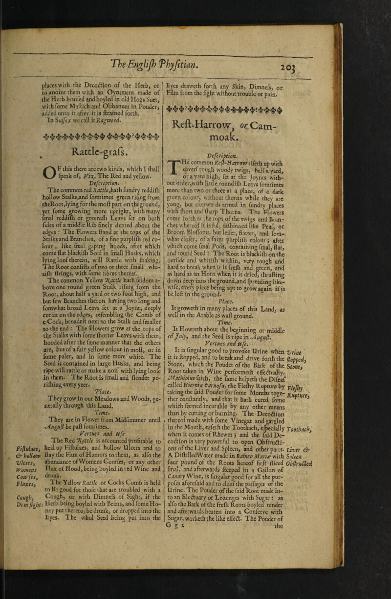 Fiflulaesy & hoUe>w Ulcers, Womens Cuurfes, Fluxes, Cough, Di m fight The EngUJh Thyjltiath places with the Decoftion of the Herb, or to anoint them with an Oyntment made of the Herb bruiled and boyled in old Hogs Suet, with fome Maftich and Olibanum in Pouder, added unto it after it is ftrained forth. In Sufi'ex we call it Ragweed. Fyes draweth forth any 5kin, Dimnefs, or Film from the fight without trouble or pain. Refl:=Harrow, oj!:Cam- moak. Rattic-grafs. OF this there are two kinds, which I lliall fpeak of, The Red and yellow* Vefeription. The common red Rattle fiiith fiindry reddifli hollow Stalks,and fomtimes green rifing from thcRootjlying for the moft part on the ground, yet fome growing more upright, with many Ifnal reddifh or greenilh Lcavs fet on both fidcs of a middle Rib finely dented about the edges t The Flowers Hand at the tops of the Stalks and Branches, of a fine purplifh red co¬ lour , like final gaping hoods, after which come flat blackifh Seed in finall Husks, which lying looftherein, will Rattle with lhaking. The Root confifts of two or three fmall whi- tifh firings, with fome fibres thereat. The common Yellow ‘Rj.ttle hath feldom a- bove one round green St^k rifing from the Root, about half a yard or two foot high, and but few Branches thcron having two long and fomwhat broad Lcavs fet at a Joynt, deeply cut in on the edges, refembliug the Comb of e Cock, broadett next to the Stalk and fraaller to the end ; The Flowers grow at the tops of the Stalks with fome fhorter Leavs with them, hooded after the fame manner that the others are, but of a fair yellow colour in moll, or in fome paler, and in fome more white* The Seed is contained in Urge Husks, and being ripe will rattle or make a noif with lying loole in them. The Root is fmall and {lender pe- rifliing every yeer. 'Place. They grow in our Meadows and Woods, ge¬ nerally through this Land. '' Tme. They are in Flower from Midfummer until i .Augufl be paft fomtimes. yertues and ufe The Red 'Rattle is accounted profitable to heal up Fiftulaes, and hollow Ulcers and to flay the Flux of Humors to them, as alfo the abundance of Womens Courfes, or any other Flux of Blood, being boyled in red Wine and drunk. The Yellow Rattle or Cocks Comb is held to B: good for thofe that are troubled with a Cough, or with Dimnefs of Sight, if the . Herb being boyled with Beans, and fome Ho¬ ney put thereto, be drunk, or dropped into the Eyes. The whol Seed being put into the Vefeription. THe common Re(i-Harrow rifeth up with diverf rough woody twigs, half a yard, or a yard hi^, fet at the Joynts with¬ out ordcr,with little roundilh Leavs fomtimes more than two or three at a place, of a dark gieen colour, without thorns while they are yong, but afterwa; ds armed in fundry places with fhort and fliirp Thorns. The Flowers come forth at the tops of the twigs and Bran¬ ches whereof it is ful, fafhioned Tike Peaf, or Broom Bloflbms, but Idler, flatter, and fom-, what clofer, of a faint purplifti colout j after which come final Pods, containing fmsd, flat, and round Seed : The Root is blackifh on the outfide and whitifh within, very tough and hard to break when it is frefli and green, and as l^ard as an Horn when it is dried, thrufting down deep into the ground,and Ipreading like- wife, every piece being apt to grow again if is be left in the ground. Place. \ Ir groweth in many places of this Land, as well in the Arable as waft ground. Time. . It Flowreth about the beginning or middle of July, and the Seed is ripe in .Augu ji. Venues and ufe. It is fingular good to provoke Urine when Vrlm it is flopped, and to break and drive forth the fiopped. Stone, which the Pouder of the Bark of the Stowe, Root taken in Wine performeth efFeftuaUy. iP^iathiolm faith, the fame hclpeth the Difeaf called Miernia Carnofa, rhe Flcfhy Rupture by plgPjy taking the (aid Pouder for fome Months togc- Rp/p/m' ther conftantly, and that it hath cured fome ^ ^ which Teemed incurable by any other means than by cutting or burning* The Decoiftion thereof made with fome Vinegar and gargled in the Mouth, cafeth the Toothach, efoeciily Toothach, when it comes of Rhewm 5 and the laid De- codion is very powerful to open Obftrudi- ons of the Liver and Spleen^ and other parts. Liver A DiftilledWater made in Balneo Maria with Spleen. four pound of the Roots hereof firft fliced ObJfuCied final, and afterwards fteeped in a Gallon of Canary Wine, is fingular good for all the pur- pofes af^efaid and to clenfthe paiTages of the Urine. The Pouder oTthe faid Root made in¬ to an Eleduary or Lo2,engcs with Sugar ; as alfo the Bark of the frefh Roots boyled tender and afterwards beaten into a Conferve with Sugar, workeththc like effed* The Pouder of G g z the