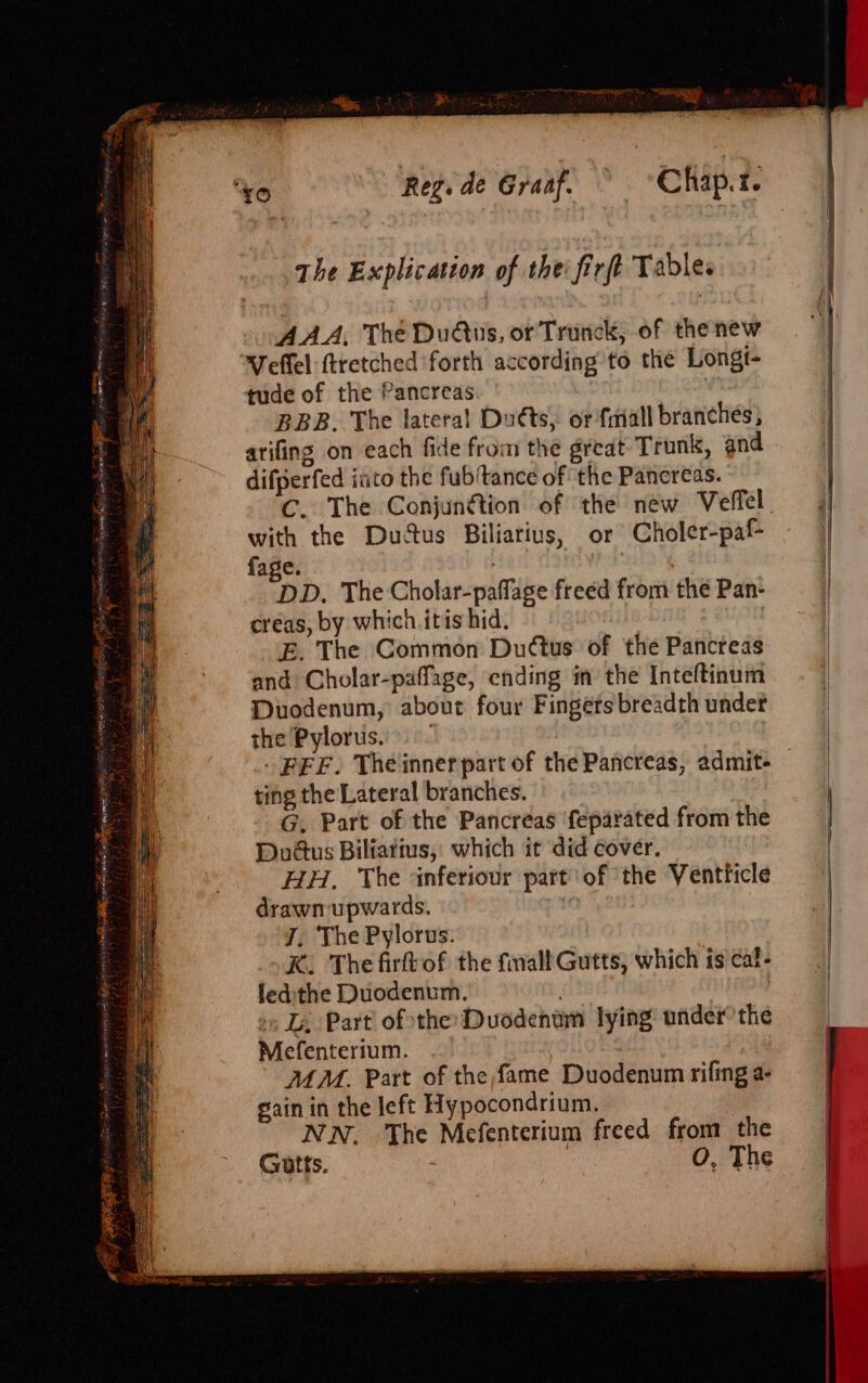 mai Reg. de Graaf. © ~Chap.t. the Explication of the firft Tables » AAA, The Duns, or Trunck, of thenew ‘Weffel ftretched ‘forth according to the Longt- tude of the Pancreas | BBB. The lateral! Dutts, or fiiall branches; arifing on each fide from the great Trunk, and difperfed into the fubtance of the Pancreas. C. The Conjunétion of the new Veffel. with the Ductus Biliatius, or Choler-paf- fage. | DD. The Cholar-paffage freed from the Pan- creas, by which itis hid. | E. The Common Duttus of the Pancreas and Cholar-paffage, ending in the Inteftinum Duodenum, about four Fingets breadth under the Pylorus. - FFF. Theinnerpart of the Pancreas, admit- — ting the Lateral branches. | G, Part of the Pancreas feparated from the | Du@us Biliatius, which it did cover. : HH, The inferiour part’ of ‘the Ventticle | drawn upwards. | | J. The Pylorus. | K. The firftof the finallGutts, which isical- | ledithe Duodenum. 7 | 5 Li, Part of the Duodenum lying’ under’ the Mefenterium. , “24M. Part of the fame Duodenum rifing a- gain in the left Hypocondrium. NN. The Mefenterium freed from the Gutts. O, The
