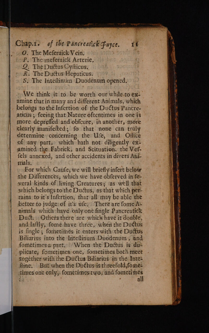 | . The Meferaick V ein. . The meferaick Arterie, 2. The Dudus Cyfticus, RK. The Ductus Hepaticus. S. The Inteftinum Duodenum opened, » We think it to. be worth our while.to éx. belongs to the Infertion of the Duétus Pancre- aticus ; feeing that Nature oftentimes in one 1s more depreffed and obfcure, in another, more clearly manifelted; fo that none can traly determine : coricerning the: Ufe, ‘and Ofkce of any part,» which hath not diligently ex- amined the Fabrick, and Scituation. the Vef- fels annexed, and other accidents i in divers Ani- mils. For which Gant we will briefly infert below the Differences; which we have obfetved in fe- veral kinds of living Creatures; ‘as well that which belongs to'the Dudus, as that which per- tains tout’s Infertion, thar all may be able the better to judge: of it’s ufey: Theré are fome A» nimals which:have only one fingle Pancreatick Dud: ; Others there are which have it double, and:laftly; fome-have three, when the DuCtus is fingle ; fometimes it enters:with the Dudus Biliarius into the Intefinum Duodenum ; and fometimes a part... When the Duadcus is du- plicate, fometimes: one, fometitmes both meet together with the Ductus Biliarius “in the Inte: fine. But when the Dudtusds:threefold,fomeé- times onc only, fometimes two; and fometimes | al SO Oa — = Sess OD ete pagar Ai eT ee matt ot Lagpsce Sates gieaee ate