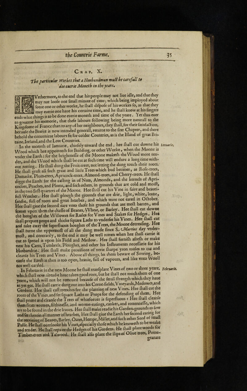 Chap. X* The pétrtîcukr mrkes that a Umbanâmin muH he carefull f doeeuerie Moneth intheyeare. . • Vrthcrmorc, to the end that his people may not Hue idle, and that they may not loofc one fmall minute of time 5 which being imployed about fomc one or other workc, he Ihall difpofe of his workes fo, as that they ^ may cueric one haiie his certaine time, and he fliall know at his fingers ends what things is to be done euerie moneth and time of the yearc. Y et thus euer to o-ouernc his raemorie, that thefe labours following being more naturall to the Kin<^domc of France than to any of her neighbours, they {hall,for their Oitisfadion, becauie the Booke is now intended generall, returnc to the fixt Chapter, and there behold the conuenient labours fit for colder Countries, as is the Ifland of great Bri- taine,Ireland,and the Low Countries. i 1 /r n j u* In the moneth of lanuarie , chiefely toward the end , hce Ihall cut downe his unumei Wood which hec appointeth for Building, or other Worke, when the Moone is vnder the Earth : for the brightneffe of the Moone maketh the Wood more ten¬ der and the Wood which fliall be cut at fuchtime will endure a long time with¬ out rottin«^. He fliall dung the Fruit-trees, not letting the dung touch their roots. He fliall ?raft all fuch great and little Trees which bud betimes, as Kofe-trees^ Damaske,^Plum-trees, Apricock-trees, Almond-trees, and Cherry-trees. He ihall dio-f^e the Earth for the carting in of Nuts, Almonds, and the kernels or Ap^i- cockes, Peaches, and Plums, and fuch others, in grounds that are cold and moilt, in the two firrt quarters of thc’Moone. Hee fliall cut his Vine m faire and beautir full Weather V Hee fhall plough the grounds that are drie, light, white, le^c, fandie, full of roots and great hcarbes, and which were not eared in October , Hce fliall giuc the fécond earc vnto thofc his grounds that asc mort barren, and (cattcr vpon therothcchafFcof Beanes, Wheat, or Barley . Hec fliall cut downe tht bonghés of the Willowes forRailcs for Vines and Stakes for Hedges. Hee fhall prepare props and thickc fquare Laths to vnderfet his Vines. Hec Ihall cue and take âway the fuperfluous boughes of the Trees, the Moone dccrcafing. Hec fliall turne the vppermoft of all the dun^ made fince S . t-Martinsé^y vnocr- piort, and contrarily, to the end it may M well rotten when hce ihall came it put to fpread it vpon his Field and Medow. Hce fliall furnifh afr^ or make new his Carts,Tumbrels, Ploughes, and other his Inftruments neceuarie for his Husbandric., Hee fhall make prouifions of yeric fliarpc yron tooles to cut ^d cleanfc his Trees and Vines. Aboue all things, let them beware of Sowing, bc-j caufc the Earth as then is too open, heauie, full of vapours, and like vnto Wooll not well carded. r t. ■ InFebruarieiiuhc new Moone heflialltranfplantVinesof two or three yearc, uhrmH, which fliall rfiow alreadie hauc taken good root, but he fliall not touch them of one ycare, which will not be remoued bccaufe of the fmall ftrength which they iiaue as yet »ot. He fliall carrie dungout into his Corne-fields,Vincyards,Medowes,and Gardens. Hee fliall caft trenches for the planting of new Vines. Hee fhall cuuhc roots ofthcVmes.andfet fquare Laths or Props for the defending of them. Hec fliall prune and cleanfe the Trees of whatfoeucr is fuperfluous : Hee fliall theiji from vyptmeSjfilthinefle, and worme-eatings, canker, and rottennefle, w ic arc to be found in the drie leaues. Hee fhall make readie his Garden-groun s to ow and kt therein all manner of hcarbes. Hec fhall giuc the Earth her fécond earing tor the recciuingof Beanes, Barley, Oates,Hcmpe,Millet,and fuch other Seed ot imaii Pulfe. He fhall oucrlooke his Vines,efpecially thofe which he knoweth to be wcakc and tender. He fhall repaire the Hedges of his Gardens. He fhall plant woo s or Ximber^ees aud Talwood#' He fhall alfo plant the flips of Oliuc trees, omc- ^ eranatc