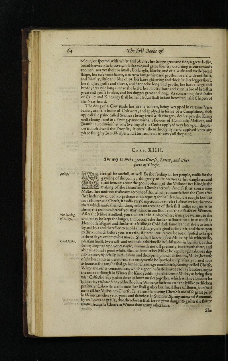là colour, or fpotted with white and blacke, her bagge great and fide, a great beliie, broad betwixt the browcs,a blackc cye.and great hornes,not turning in one towards another, nor yet fliort orfmall, but bright, blacke, and of a wide and welUfprcad ihape, her eare verie hairie, a narrow iaw,a thick and gronemuzzle,wide nofthrils, and fniuelly, little and black lips, her haire giiftcring and thick fet, her Icgges Hiort, her thighes grofle and thicke,and her necke long and groffe, hcrbacke large and broad, her tayle long euen to the hecle, her hoofes {bort and cuen, a broad breaft,a great and grolle brisket, and her dugges great and long. As concerning the difeafes of Calues and Kine,they fliall be handled,as ihali be faid hereafter iiuhe Chapter of the Neat-heard. The dung of a Cow made hot in the embers, being wrapped in certaine Vine Icaues, or in the Icaucsof Colewort, and applyed in forme of a Cataplafroc, doth appeafe the paine called Sciatica: being fried with vineger, doth ripen the Kings euill : being fried in a Frying-panne with the flowers of Camomile, Mclilote, and Brambles, it diminiflicth theiwcllingof the Cods: applyed very hotvpon thcpla- ccs troubled with the Dropfie, it cureih them throughly : and applyed vnto any place flung by Bees, Wafpes,and Hornets, it taketb away all the paine. Chap. XIIIL The to mike greene Cheefe^ Butter^ and ether forts of Cheeje, The keeDing oj Good Millie» Hcrhûllbecarcfull, as well for the feeding of her people, as alfo for tht gayning of the penny , diligently to let on workc her daughters.and maid feruants about the good ordering of the JVlilke of her }vinc,in the making of the Butter and Cheefe thereof. And firft as concerning JVlilke, fhee mufl not make any'^ account of that which commeth from the Cow after flicc hath new calucd, to preferue and keepe it; for befides that it is naught both to make Butter and Cheefe, it isalfovery dangerous for to vfe;Likcaswclcc,thatmo-' thers which nurfc their children, make no account of their firft milke to giue it to them; the rcafons whereof you may learnc in our Booke of the difeafes of Women. After the Milke is milked, you fliall fet it in a place where it may bcwarine,tothc end it may be kept the longer, and become the thicker in fliort time j in as much as Hear doth fafegard and thicken theMilke.as Cold doth fourc it and make it to turne by and by : and therefore to auoid this danger, it is good to boylc it, and thereupon to ftirre it much before you let it reft, if peraduenture you be not difpofed to keepe it three dayesor fomewhst more. She fliall know good Milke by his whitenefle, plcafantfmell, fweet taft, and reafonablethickncflc in fubftance, in fuch fort, as that being dropped vpon ones nayle, it runneth not ofFprefcntly, but flaycth there, and abidech round a good while. She fliall not let her Milke be kept IoDg,3s aboue a day in Summer, cfpecially in Aummne and the Spring, in which feafofiSjMilkejbecaufc of the heat and temperature of the time,would be (poyled and prcfcntly turned :.buc as foone as,flie can,flic dial gather her Creamc,grccnc Cheefe,Butter,prefled Cheefe, Whay,and other commodities, which a good hufwife is W'ont to rayfc according to the time : althotigh in Winter the Kineycelding fmall flore ofMilke, as being then with C'ilfe,flic may gather three or fourc meal es together, which will not fb foone be fpoiled by reafon of the coldnefîc of the Winter,whichmaketh theMilkc to thicken prefently. Likewife at this time fliec fliall gather but fmall flore of Butter, but fliall turne all hcrMilke into Cheefe. It is true, that feeing Cheefe is not of fogrcatpricc ill Winter,neither yet fo good and daintic as in Summer,Spring time,and Autumne* ,b> reafoii of the grafle, that therefore it fliall be no great danger Cb gather tlic Butter cleaner from the Cheefe in Winter than at any other time. ' - - * She f