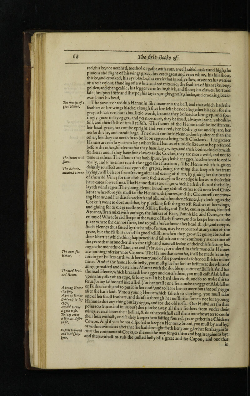 Themar^ei of a good Heme, red,thickt,not notched, toothed or gafht with cuts, a well raifed necke and hi»h the pinionsand flight of his wings great, his cares great and verie white, hisbilUhott thickc,and crooked, hrs eye blacke.in a circle that is rcd.yellow.orazureihis wattles of a rofe colour, flandingof a white and red mixture; the feathers of his necke lonir, golden,and chang^eable,^iis legp vei ,e fcalie,thick,and (hort; his clawes fliorta.S faft ; his fpurs fliffeaiid (harpe; his tayle vpr.ghc,grofle,thickc,and crooking back- ward cuei llis head, ° The tawnie or reddijh Hcnne in like manner is the bed, and that which hath the feathers of her wings blacke, though (lice her felfe be not altogether blacke : for the grayer blackecoloui IS but little worth, becaufc they be hard to brin* vp and fpa- ringly g'uen to lay egges ; and )'« moreouer, they be fmall, alwayes leane, vnhealth- full, and their flelh of fmall rellilh. The flature of the Henne mud be indifferent, her head pat, her combe vpri*ht and verie red, her bodie great andfquare,her necke ch.cke, and bread large The dvvarfe or liitie Hennes doe lay oftenet than the mher, but they are not lo fit to be fet on egges to bring (oith Chickens. The *reaier Hennes are not fo giuen to lay : wherefore Hennes of middle fize are to be prderred before the ocher,forcpnc that they haue large wings,and their bodies thick fet with feathers : and if they haue fine clawes as the Coekes, they are more wild, and not (o ThsHennemth caiac as others. T lie Hcnnc that hath fpurs, fpoyleth her e^wes,hatchethnot fo ordi- #«rr. nanly and lomccimeseateththceggeslbeefittcthon. The Henne which is *i»en The déme. afleft and feed vpon the grapes, being the thing that keepeth her frem mnibed Hant laying, will be kept from feekingafter and eating of them, by giuine her the berries of t'>'='v'l<l Vi„e5 forth.sdothcaufefucharot,ghittfleoredgeinhe?asinehofeeh»t haue «ten fowre fruits.The Henne that is too fat.or w hich hath the flux of the bel ly. ayeth wind egges.The young Hcnnc is nothing skilfuli either to fit or to lead Chic¬ kens : wherefore you mud fa. the Henne with fptirres, and the Chaiintrefleor crow- mgHen..e,andherehatlbr.atehethandallureththcotherHennes,byclccking,asthe Ccicke IS wont to doe; and that, by plucking fitft thegreatefl feathers of lur wings, wd giuing for to eat great doreof Millet, Early, and Pade, cut in gobbets, bruiled ’.’“'j‘o Pannicklc, afid Oates, or the crums of Wheat bread ffeept in the watcrofBarlyflowcr,andtokeepeherinaclofe p ace where die cannot ditre &nd to pull thefcathetsof herhead,thighs,andrumpe. 6iich Hennes thus fatted by the hands of a man, may be rccouercd at any time of the > care, hut the not of fo good rellifh as when they grow fàt going abroad at their libertie;whichth.nghappenerhandfhllcthoutiiiorecomhion]yat?nctimc of the ) earc than at anothcr,thc verie right and naturall fcafon of their chiefc fattin*» be¬ ing in the monethsoflanuarie and Febriiarie, for indeed in thefcmoncths Hennes aie nothing interior vnto Capons. The Henne that is too fat, iliall be made leane by earth with her watcr.and ofthc powder of a fofeened Brickc in her meat. And if the haue a loofc belly, you muft giue her for her firft meat the white of an egge roalicd and beaten in a Mortar with the double quantiticof Bullcis. And for the mad Henne,which breaketh her egges and cateth them,you miiB caft Alablafter fcrue(bcing faüiioried like a lliell)for her neaft : or elfc to make an egge of Alablaftcr A young Ecme Hi Hers ea rch,and to put it in her neaf>,and to 1 eaiie her no more but that only ee^c AfoSneme a young Henne which falleth to clocking, you rauft take fggfs. He'inc to doc any thing but lay egges, and for the old to fit. Our Hufwiues (in that old Heme pomt too fctiere and iniuriou?) doe plucke away all their feathers from vndcr their T If ‘Hrcwithall caff them into the water to cool# If Hennes dejtre heat withall, or cjfc they kcepe them fading foure dayes together in a Chicken toft, difpofed to kcepea Henne to brood,yoa muft byandbv, .ehreed hLbrptfieofr r 'b'''’ 7'' her forth again S and leadChsc- , „ j ,l £ m °l^Ç°<-hs,Eo the end (he may forget them and begin aeaine to lay; fee,. “‘‘,f“™«hnUtornbthepuUedbcllyofasrealandfitCapol,aS7oneth« The ouer-fai Henne, The mad-brai¬ ned Henne,