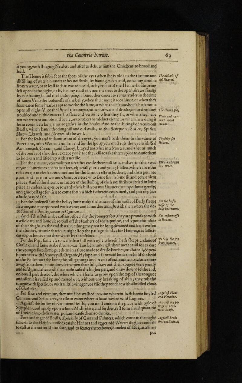 is young,withftinging Nettles, and after to ddiucr him the Chiekens to brood and lead. 4 The Hcnne is fiibieft to the fpots of the eyes when fhe is old : to the rhcumc.and difliilling ofwatrie humors at her nofthrils, by liauing taken cold, or hauing driinkc frozen water, or at leaf! fuch as was too cold, orby reafoilol the Henne-houfe being left open in the night, or by hauing roulled vpon the trees in the open airc,or finally by not hauing found the houfcopciijorfome other couert to runne vndcr,in the time of raineiVnto the loofencfTcofthe belly,when their meat is too thinne,ov when they haue eaten fome hearbes apt to worke the fame,or when the Henne-houfe hath beene open all night: Vnro the Pip of the tongue.either for want of drinke,or for drinking troubled and filthicwarer: To fleas and vermine when they fit, or when they haue not wherein to tumble and roulc,or to make themfclues clcane,or when their dung is let to continue a long time together in the houle: And to the bitings of venimoiis Bcafls, which haunt the dunghill and old walls, as.the Scorpion, Snake, Spider, Shrew, Lizards, and Newtes of the wall. bn For thefcaband inflammation of the eyes, you mufl bath them in the water of Purcclane, or in Womans milke: and for the fpots, you mull: rub the eye with ‘5al Animoniack,Cummin,and Honey, brayed together in a Mortar, and that as much of the one as of the other, except you haue the skill to take them vp,or to caufe them tobecakenandiiftcdvpwithanccdlc. T For the rheumc, you mufl put a feather crofîe the ir noflhrils,and wai me their vya-. tcr,and fometimes chafe their feet, elpecially little and yong Pullcts,which are widat to be wrapt in cloth a certaine time for the fame, or elfe in feathers, and then put into jipor, and fee in a warme Ouen,oriiccre vnto feme fire in fomc fit and co'nuenient place : And if the rheumeor matter of the fluffing of their noflhrils be fetled infoiiw place,as vnder the eyes,or towards their bill,you mufl launce the impoflume gcntlyj and giue paflage for that to corns forth which is therein contained, and put in place a little brayed fait. . ij ; iTorthc loofenefleof the belly^fomc make them meat ofehe husks of Barlyfleept in wine,and incorporated with waxe5 and fome doc mingle with their water the dcn coffion of a Pomegranate or Quinces. ‘ ■ o - larn . ‘ ’ . And if chat Pulkin be cofliuc, efpecially the younger fort, they are prouoked with a wild oat : and fome vfe to pull off the feathers of théir jfurhpc, and vpon the infide of their thighs, to the end that their dung may not be Iqngdetained and kept within their.bodies,bccaufc that fo it might flop the paflage :'and as for Heûncs,itisfuffici- ent to put honey into their water oy themfclues. i ' . i ft For the Pip, fome vfe to walh their bill with oyle wherein hath fleept a doue of Garlick; and fome mcake themtocat flauefacre amongfl their meat :aiid fbrtocurc ihe youngerfort,fome put them in a ficuc made to drelfe Fetches,or Darnell,Sc per*i; fume them with Pennyryall,Organic,Hyfopc,and Linctand fome doehold the head of the Pullet oucr the fume,the bill gaping : and in cafeofexcremicie, to take it quite away from them, fome doc vfe to open their bill, draw out their tongue verie gently* and foftIy,and after witli their nailc raife the higher part,and drawdownc fo the endy or lowcfl part thereof, the white which is feene to grow vpon the top of the tongue ÿ and after ir is raifed vp and rooted our, without any breaking of skin ^ they rub the tongue with fpettle, or with a little vinegcr , or clfc they touch it with a bruifed cloue ofGarlicke.. . ^ ^ o ' For fleas and vermine, they mufl be waflicd in wine wherein hath becnc boylcd Cummin and Staitcfacre, or elfe in water wherein haue boy led wild Lupines. * -tl Againflthe biting of venimousBeafls, you mufl annoint the place with oyle of Scqrpi6ns,aiid apply vpon it Ibmc Mithridate}and further,caft fome fmall quantitie of Treacle into their water-pot,and caufe them to drinkc. For the danger of Bead;, efpecially of Cars and Fulmers, which come in the nighc time vnto che.Hehne-houre to cat the Hennes and eggcs,old Writers do giue counfcll to caft at the entiie bf the dore, and to fcatter thereabouts,bunches of Rue^ as alfo to put The difeafei of old Hennes, The tienne Fleas and vet- mine about Hennes, ThyJjcS{e fof- Hennes, F.otthe rhettmt in Hennes, Fot the loofe- neffe of the belly in HenneSi For eofliuenefi in Hemes, To tal^e the Fif fm Hennes, . ,/i^einJl Pleas an» Vermine, ^gain ft H e bi- tingi o f venu mom Beajis, ,Againft Beaftt that eatFuUeat^