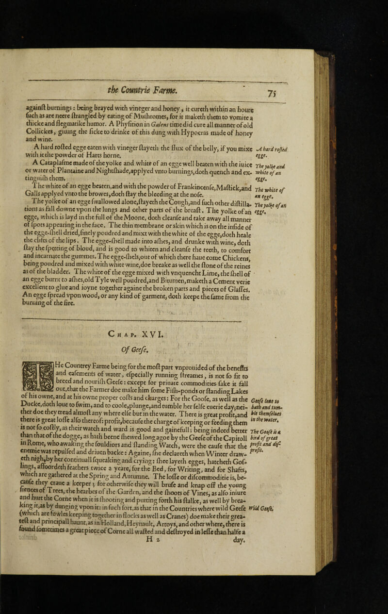 75 againft burnings : being brayed with vineger and hortcy, it cureth within an hourc fuch as arc nccrc ftranglcd by eating of Mulhromcs, for it maketh them to vomitc a thickc and flegmatike humor. A Phyficionin time did cure all manner of old Collickes, giumg the ficketo drinke of this dung with Hypocras made of honey and wine. A hard rolled egge eaten with vineger ftayeth the flux of the belly, if you mixe .Ahardropd with it the powder of Harts home. ^ egge. ACataplafmcmadeoftheyolkc and white ofan egge well beaten with the iuicc rhe volte and or water of Plantaine and Nighifhade,applyed vnto burnings,doth quench and ex- white ^an tinguiflî them, . egge. The white of an egge beaten,and with the powder of Frankincenfe,Maftick,and rhe .r Galls applyed vnto the browcSjdoth flay the bleeding at the nofe. ^neg^e. The yolke of an egge fwallowed alone,ftaycth the Cough,and fuch other diftilla. rheyoL ofan tions as fall downe vpon the lungs and other parts of the bread, The yoIkc ofan ^ which is layd in the full of thcMoone, doth cleanfeand take away all manner of fpots appearing in the face. The thin membrane or skin which is on the infidc of the cgge.fliell dried,finely poudred andraixt with the white of the egge,doth hcalc the clifts of the lips. The egge-fhcll made into afhes, and drunke with wine, doth flay thefpettingof bloud, and is good to whiten and cleanfe the teeth, to comfort and incarnate the gummes, The egge-{liels,out of which there haue come Chickens, being poudred and mixed with white wine,doc breake as well the ftone of the reines as of the bladder. Thewhiteof the egge mixed w ith vnquencht Lime, the fliell of ' an egge burnt to afhes,old Tyle well poudred,and Bitumen,maketh a Cement vcric excellent to glue and ioyne together againe the broken parts and pieces of Glafles, An egge fpread vpon wood, or any kind of garment, doth keepc the fame from the burning of the fire. c H A p. X y L of Geefe, He Countrey Farme being for the mod part vnprouided of the benefits B| and eafements of water, efpccially running flreames, is not fb fit to I breed and nourifh Geefe: except for priuate commodities fake it fall j out,that the Farmer doe make him fomcFifli-ponds or flandino Lakes ^ his owne, and at his owne proper cofls and charges : For the Goofe, as wefl as the CteCe tone to JJuckc,doth loue to fwim, and to coole,plungc,and tumble her felfe eucrie day^nci- bath and tunu ther doc they tread alraoft any where elfe but in the water. There is ^reat profit,and themfelùes there is great loflc alfo thcreof;profit,becaufethcchargcofkccpingor feedingthem and gainefull ; being indeed better TheCoàfeün tn^ that of the dogge, as hath bcenc fhewed long agoc by the Geefe of the Capitoll of great inRomc, who awaking the fouldiors and (landing Watch', were the caufe that the cnemie was repulfed and driuen backe : Againe, Ifie declareth when Winter draw- ethnig^byhcrconnnuallfqueakingand crying; flieclayeth egges, hatchethGof. lings, affoordeth feathers twice a yeare,forthc Bed, for Writing, and for Shafts, w gathered at the Spring and Autumne. The lofTe or difeommoditie is, bc- aule they crauc a keeper 5 forotherwife they will brufc and knap off the young the Garden, and the fbootsof Vines, as alfbiniurc and hurt the Corne when it is fliootino- and niirrino- fôrfVi hi* Uv V»rM_ uii dxiu pniicipau naunt,as in Holland, Hcynault, Artoys, and other where, there is round iomctimcs a great piece of Corne all wafted and deftroy cd in Icftc than halfe a H z day.