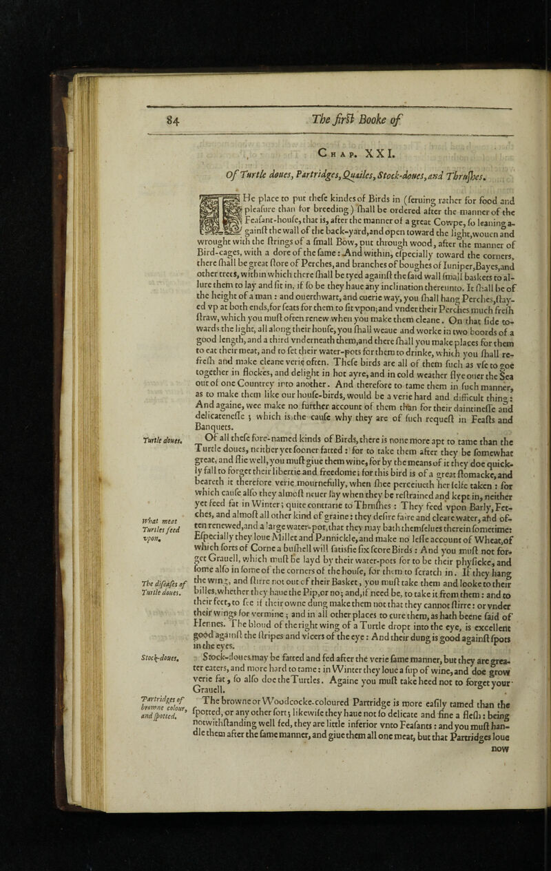 Chap. XXI. Of Turtle doues. Partridges, Quailcs, Stochdoues, and Thrujhes, t I He place to put thefc kindcsof Birds in (feruing rather for food and M ^^‘■«eding ) fhall be ordered after the manner of the Fcafant-houre,thacis,aftcrthemannerof agreae Cowpe, To leaning a- gainft the wall of the back-yard,and open toward the light,wouen ?nd w til ^h^ firings of a fniall BoWj put through wood, after the manner of Bird-cages, with a dore of thefamerJVnd within, efpecially toward the comers, there Ihall be great flore of Perches, and branches of boughes of Juniper,Baves,and other trees, within which there (hall be tycd againfl thefaid wall ftnall baskets to al¬ lure them to lay and fit in, if fo be they haue any inclination thereunto. It fnall be of the height of a man : and ouerthwart, and eucric way, you fhall hang Perchcs,ftay- cd vp at both ends,for feats for them to fit vponjand vndcr their Perches much frelh flraw, which you mufl often renew when you make them clcane. On that fide co¬ wards the light, all along their houre,you fhall wcaue and worke in two boords of a good length, and a third vnderneath thcm,and there fhall you make places for them to eat their meat, and tofettheir water-pots for them to dnnke, which you fhall rc- frclh and make clcane veriç often. Thefc birds are all of them fuch as vfcto<roc together in flockes, and delight in hoc ayrc,and in cold weather flye oner the Sea out of oneCountrey into another. And therefore to tame them in fuch manner, as to make them like ourhoufe-birds,would be a veriehard and difficult thin»: Andagaine, wee make no further account of them titan for their daintineffe and dchcatenefTc j which is.the caufc why they arc of fuch requefl in Feafts and Banquets. Turtle doues, forc-named kinds of Birds, there is none more apt to tame than the Turtle doues, ncitheryetfocner fatted ; for to take them after they be fomewhae great, and flie well, you muff giuc them wine, for by the means of it they doc quick¬ ly fall to forget then libercieand freedomci for this bird is of a great ffomackc, and bcareth it therefore verie mournefully, when fhec pcrceiueth ^Lr fclfc taken : for which caufe alfo they almcfl iKUer kiy when they be refirained and kept in, neither yet feed fat in Winter; quite contrarié toThnifhcs ; They feed vpon Barly,Fct- what meet they defirc faire and clcare water, ahd of- Tunles feed '^^^cncwed,anci a iargewatcr-por,that they may bath thcmfelucs therein fometime: Efpccially they loueMillet andPannickle,and make no lefle account of Wheat,of which forts of Corne a bufiicll will fatisfie fix fcore Birds : And you muff not for¬ get Grauell, which mufl: he layd by their water-pots for to be their phyfickc, and fome alfo in feme of the corners of the houfe, for them to fcratch in. If they han»- The difeàfes of and flirrc not out cf their Basket, you mufl take them and looke to their bill es. whet her f hev Iinn<» flie Pir, or no. ririrl \ f ...I... I. C.__I ^ Turtle doues. their Wings for vermine ; andin all other places to cure them, as hath bccnc faid of Fiennes. The blond of thcrightwing of a Turtle dropt into the eye, is exccllcnc good againfl the flripes and vlcers of the eye : And their dung is good againfl foots in the eyes. ° stoc^doues, - Srock-r!oucs.may be fattedandfedafterthe vcric fame manner, but they are grea- ter eaters, and more hard to tame ; in Winter they loue a fup of wine, and doc grow verie fat, fo alfo doctheTurtles. Againc you muff take heed not to for»etyour Grauell. ° . browncor Woodcocke-coloured Partridge is more cafily tamed than the , or any other fort •, likewife they haue not fo delicate and fine a flell) : being »otwithftanding well fed, they are little inferior vnto Feafants : and you mufl han¬ dle them after the fame manner, and giuc them all one meat, but that Partridges loue
