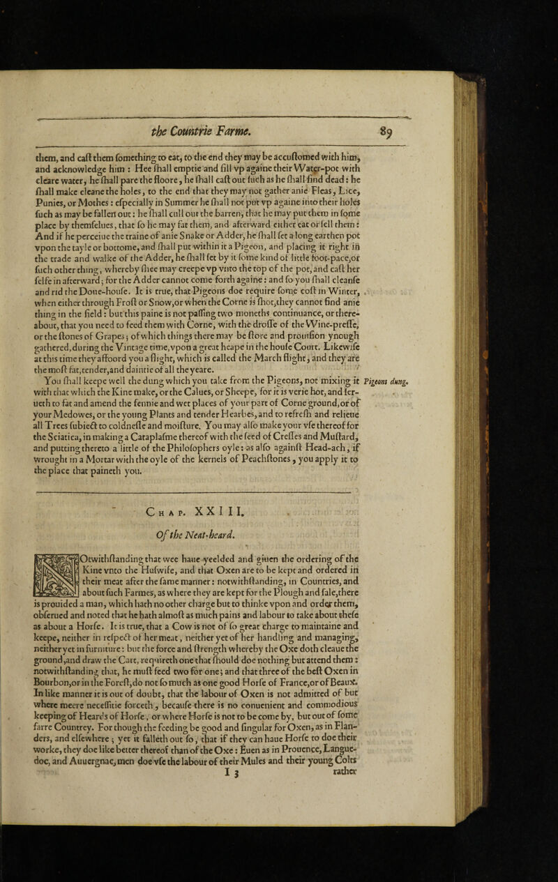 them, and caft them fomething to eat, to the end they may be accuftomed with him^ and acknowledge him : Hee iTiall emptie and fill vp againe their Watgr-pot with cleare water, he lliall pare the floore, he (hall caft out fuch as he (hall find dead : he ftiall make cleane the holes, to the end that they may not gather anie Fleas, Lice, Punies, or Mothes : efpecially in Summer he ftiall not put vp againe into their holes fuch as may be fallen out ; he ftiall cull out the barren, that he may put them in fome place by themfelues, that fo he may fat them, and afterward cither cat or Icll them : And if he pcrceiiie the traine of anie Snake or Adder, he ftiall fet a long earthen pot vpon the tayle or botcome, and ftiall put within it a Pigeon, and placing it right iiri the trade and walkc of the Adder, he ftiall fet by it fome kind of little foot-pace,or fuch other thing, whereby ftiee may creepevpvnto the top of the pot,and caft her fclfe in afterward; for the Adder cannot come forth againe : and fo you ftiall cleanfe and nd the Doue-houfe. It is true, that Pigeons doe require fome coft in Winter, . when either through Froft or Snow,or when the Corne is ftiot,they cannot find anie thing in the field; bucthispaincisnotpalfingtwo moneths continuance, or there¬ about, that you need to feed them with Corne, with the droffe of the Wine-preftfe, ortheftonesof Grapes; of which things there may beftore and prouifion ynough gathered,during the Vintage time,vpon a great heape in the houfc Court. Likewife at this time they aftoord you a flight, which is called the March flight, and they afie themoft fat, tender,and daintieofall theyeare. * You fhall keepe well the dung which you take from the Pigeons, not mixing it Tiitom dung, with that which the Kine make, or the Calues, or Sheepe, for it is verie hot, and 1er- ucth to fat and amend the fennie and wet places of your part of Corne ground,or of your Medowes, or the young Plants and tender Hearbes, and to refrefti and rclieue all Trees fubieft to coldneflc and moifture. You may alfo make your vfc thereof for the Sciatica, in making a Cataplafme thereof with the feed of Crefles and Muftard, and putting thereto a little of the Philofophers oyle: as alfo againft Head-ach, if wrought in a Mortar with the oyle of the kernels of Pcachftoncs, you apply it to the place that paineth you. C H A P. X X I I I. the Ne At-heard. Otwithftandingthat wee hauc yeelded and giuen the ordering of the Kine vnto the Hufwife, and that Oxen are to be kept and ordered in their meat after the fame manner: notwithftanding, in Countries, and about fuch Farraes, as where they arc kept for the Plough and fale,there is prouided a man, which hath no other charge but to thinke vpon and order them, obferued and noted that he hath almoft as much pains and labour 10 take about t-hefc as about a Horfe. It is true, that a Cow is not of fo great charge to maintaine and keepe, neither in rcfpc»ftof her meat, neither yet of her handling and managing, neither yet in furniture : but the force and ftrength whereby the Oxc doth clcaue the ground ,and draw the Cart, requireth one that ftiould doe nothing but attend them : notwithftanding that, he muft feed two for one; and that three of the beft Oxen in Bourbon,orinthcForeft,do not fo much as one good Horfe of France,or of Beaux. In like manner it is out of doubt, that the labour of Oxen is not admitted of but where meerc necelfitic forceth, becaufc there is no conuenient and commodious keeping of Heards of Horfe, or where Horfe is not to be come by, but out of fome fai re Countrey. For though the feeding be good and Angular for Oxen, as in Flan¬ ders, and elfewhere ; yet it fallethout fo, that if they can hauc Horfe to doc their worke, they doc like better thereof than of the Oxc : Éuen as in Proucnce, Langue¬ doc, and Auucrgnacjinen doc vfc the labour of their Mules and their young Colts I 3 rather