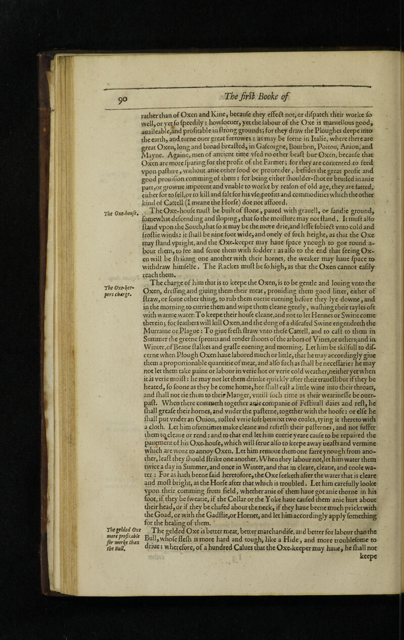 rather chan of Oxen and Kine, becaufc they cfFed nor, or difpatch their workc To welljoryecfofpeedily : howfoeucr, yet the labour of the Oxc is maruellous good, auailcable,and profitable in ftrong grounds; for they draw the Ploughes deepe into the earth, and turneouer great furrowes : as may Be fecne in Italie, where there arc great Oxen, long and broad breaded, in Gafcoignc, Bourbon, Poitou, Aniou, and Maync. Againc, men of ancient time vfed no other bead but Oxen, becaufe that Oxen are more fparing for the profit of the Farmer ; for they arc contented to feed vpon padure, Without anie other food or prouendcr, befides the great profit and good proiiifion commingof them ; for being either fhouldcr^drot or bruifed in anie part,or growne impotent and vnable to workc by reafon of old age, they arc fatted, cither for to fell,or to kill and fait for his vfe^profits and commodities w hich the other kind of Catcell (I meane the Horfc) doe not affoord. The Oxe-houfe, TheOxe-houfemud be built of done, paiicd withgrauell, or fandie ground, fomewhac defeending and doping, that fo the moidure may not dand. It mud aUo dand vpon the South,that fo it may be the more drie,and Icde fubie£l vnto cold and frodie winds: it dull beninefoot wide,andonely of fuch height, as that the Oxc may dand vpright, and the Oxe-keeper may haue fpace ynough to goe round a- bout tliem, to fee and ferue them with fodder ; as alfo to the end that feeing Ox¬ en will be driking one another with their homes, the weaker may haue fpace to withdraw himfeUe. The Rackes mud be fo high, as that the Oxen cannot cafily reach them. - . The charge of him that is to keepe the Oxen, is to be gentle and louing vnto the ' periSlfr Ôxen, dreflingand giuingthem their meat, prouiding them good litter, either of draw, or fomc other thing, to rub them cucrie eucning before they lye dovvne, and in the morning to curric them and wipe them clcane gently, wafhing their taylcs oft with warme water.-To keepe their houfc cleane,and not to let Hennes or Swine come therein *, for feathers will kill Oxen,and the dung of a difeafed Swine engendreth the Murraine or Plague : To giue frefh draw vnto thefe Cattell, and to cad to them in Summer the grecne fprouts and tender fboots of the arbors of Vincs,or othersjand in Winter,of Beane dalkes and grade euening and morning. Let him be skilfull to dif- cerne when Plough Oxen haue labored much or little, that he may accordingly giue them a proportionable quantifie of meat, and alfo fuch as fhall be necedaric ; he may not let them take paine or labour in verie hot or verie cold weather,neither yet when itis verie moid : he may not let them drinke quickly after their trauelfibut ifthey be heated, fo foone as they be come home, bee ifial! cad a little wine into their throats, - and diall not tie them to their Manger, vncili fuch time as their vvearinede be ouer- pad. When there comnaeth together anie corapanie of Fediuall daies and red, he lhall greafe their homes, and vndcr the paderne, together with the hoofe : or elfe he dull put vndcr an Onion, roded verie (oft betwixt two coales, tying it thereto with a cloth. Let him oftentimes make clcane and refrefh their paderncs, and not fuffer them K^clcaue or rend : and to that end let him euerie ycare caufc to be repaired the pauçment of his Oxe-houfe, which will ferue alfo to keepe away beads and vermine which are wont to annoy Oxen. Let him rcraoue them one fàrre ynough from ano¬ ther, lead they fhould drike one another. When they labour not,let him water them twice a day in Summer, and once in Winter, and chat in cleare, clcane, and coolc wa¬ ter : For as hath beene faid heretofore, the Oxe feeketh after the water that is cleare and mod bright, as the Horfe after that which is troubled. Let him carefully lookc vpon their comming from field, whetheranieof them haue got anie thornc in his foot, if they be fweafie, if the Collar or the Yoke haue caufed them anie hurt about their head, or if they be chafed about thencck, if they haue beene much prickt with the Goad, or with the Gadfiie,or Hornet, and let him accordingly apply fomething for the healing of them. The gelded Oxe The gelded Oxe is better meat, better marcliandife, and better for labour than the firLorfethan is more hard and tough, like a Hide, and more troublcfome to the bhU, Î wherefore, of a hundred Calues that the Oxe-keeper may haue, he fliall not keepe