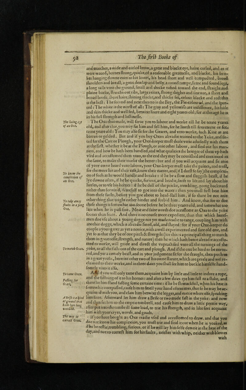 The Hulng age ùf an Oxe, To l{norv the complexion of m Oxe, To tal(e away fiiuUi in ay eng Oxe, To match Oxen, To Came Oxen. Faflingfor 0.\e)\ A Brife Ü a l(inci of gee md that hath lyen long vnttUed. The way to correct Oxtti, and matches, a wide and curled brow, a great and blacke eye, haire ciiricd, and as ic were waned, homes firong,quicke,of a rcafonable greatnefle, and blacke, his bris¬ ket hangingdownecuen to his knees, his head lliort and well compacted, bread ihoulders and brealî, a great dewlap and belly,a round rumpe,firme and found Icgs^ along cailevnto the ground, fmall and thickc tufted toward the end, ftraight and plaine backe, flretcht-out ribs, large reines, flrong thighes and fincwic, a lliort and broad hoofe, fiiort haire,{Lining thickc,and thickc fet, colour blackc and red: this is the beft : The fécond and next thereto is the Bay, the Pie.colour©d, and the (pot¬ ted tThcwhiteistheworftof all; The gray and yellowifn are indifferent, his hide and skin thickc and well fed, betwixt foure and eight yeares old ; for at this age he is in his full firength and luftineffe. The Oxe thus made, will feme you to labour and worke till he be tenne yeares old, and after that,you may fat him and fell him, for he liueth till fouretecne or fix- tecne ycarc old : You may alfo fit for the Gcarcs, and vnto worke, luch Kine as arc barren or gelded. But and if you buy Oxen alrcadie trained to the Yoke, and fit¬ ted for the Care or Plough, your Oxe-keeper muff dealc verie aduifcdly with them at the firff, whether it be at the Plough, or anic other labour, and find out his man¬ ners, and how he hath been handled,and what qualities the brmger of them vp hath vfed and acenffomed them vnto, to the end they may benourifliedand continued in the fame, to make their worke the better : but and if you will acquaint and fit anic of your owne heard vnto labour, your Oxc-kceper muft take the paines, and muff, for the more his and tlicir eafe,know their nature,and(if I durfi fo fay)thc complexi¬ on of fuch as he would handle and breake : if he be a flow and fluggiHi bcaft, if he lye downe often, if he be quicke, furious, and headie,fwift to lift'and layabouthis heelcsjortovfehis ho'rncs : if he be dull of the pricke, trembling, going backward rather than forward, fearefuH to goe into the water ; tlien yon muft: firft beat him fromthefe faults,'before you goe about to head-ftall him, if fo there be not anic other thing that might rather hinder and forbid him. And know, that for to doc thefe things is fomewhat too (done before he be three yeares old, and lomcwhat too late when he is paftfiue. Meat and faire words doe accuftomc an Oxe to the yoke foonerthanfeare. And there is no courfe more expedient, than that which huntf- men doe vfc about a young dogge not yet made rcadie to range, coupling him with another doggejwhichisalreadiefitted, old, and ftayed :for ifyourOxe-kceperdo couple a young oxe as yet anoiiice,with a W'cll experimented and furcold one, and yet fo as that they be of one pitch & ftrength: (for this is a principall thing to march them in greatneftc,ftrcngth, and nature) tiien he which hath beene alrcadic accufto- medto worke, will guide and dircél the vnpradlifed vnto all the turnings of the yoke, to all the faftiions of the cart and plough. And if the oxe be hard to be nurtu- red,andyer a comely beaft,andin yôur judgement fit for the draught, then put him in a great yoakt, betwixt other two of his owne ftarure, which are gentle and wcl re¬ claimed to their worke,and in three daies you fhall fee him to buckle himfclfc hand- fomely vnto it alfo. r Aife if you will only tame them,acquaint him by little and little to indtircarope, and the faftningofitto his homes ; and after a few daies tyehim faft toaftake, and there let him ftand faffing feme certaine time : if he be ftoroackfull, when his heat is fomewhat ouerpafIed,caufchim to fmcll your hand oftentimes,that fo he may be ac¬ quainted with you, and claw him betwixt the leggcs,and cu crie where cUc,fpeaking him faire. Afterward let him draw aBrifeortwomadc faft in the yoke: and now and then fet him to the emptictumbrcll, and caufc him to draw a little prettic way, after put into the tumbrell fomcload,to trie his ftrength, andin like fort acquaint him with your cryes, words, and goads. ifyou haue bought an Oxc readie vfed and accuftoraed to draw, and that you doc not know his complexion, you muft trie and find it out when he is yoaked,a* if he be reftie,trembling, furious, or if he will lay himfelfe downe in the heat of the day,and nottocorredf him for his faults, neither withwhip> neither with blowes with