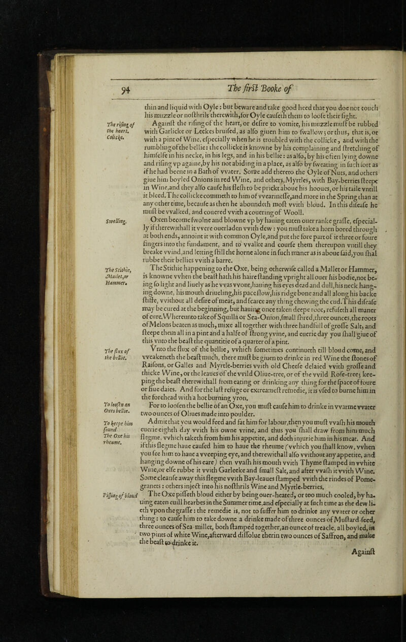 The rifing of the heart. Conclue, Swelling, The StithiCy JMailet,,or Hammer» The flux of the btUie, To leofln an Oxes beîlïe. To ^eepe him found The Oxe his rheume. Fifing of bloud thin and liquid with Oyle : but beware and take good heed that you doc not couch his muzzle or nofthrik therewith,for Oyle caufcth them to loofc their fight. Againft the nfingofthe heart, or dcfire to vomitc, his muzzlemuh be rubbed with Garlicke or Lcekes bruifed, as alfo giuen him to fwallowjorthus, that is, or with a pint of Wine, efpecially when he is troubled with the collicke , and with the rumblingofthebellie: the collicke is knowne by his complaining and ftrctching of himfelfe in his ncckc, in his legs, and in his bellic ; as alfo, by his often lying downe and riling vp againe,by his not abiding in a place, as alfo by fweating in fuch iort as ifhehad beencinaBathof water. Some add thereto the Oyle ofNuts, and others giuehini boyied Onions in red Wine, and others,Myrtles, with Bay-bcrrics fteepc in Wine,and they alfo caufe his flelh to be prickt aboue his hooues,or his taile vntill it blced.The colhckecommeth to him of vvearinelTejand more in the Spring than at anyothertime, becaufeasihenhe aboundeth moft with bloud. Inthis difeafe he mull be walked, andcouered with acoueringof Wooll. Oxen become fwolne and blownc vp by hauing eaten oner ranke gralTe, efpecial¬ ly if therewithal! it were ouerladen with dew : you mull take a horn bored through at both ends, annoint it with common Oyle,and put the fore part of it three or fourc hngers into the fundament, and to vvalkeand courfe them thereupon vntill they breakc wind,and letting ftill the home alone in fuch màner as is aboue faid,you fhal rubbe their bellies with a barre. The Stithie happening to the Oxe, being otherwife called a Mallet or Hammer, is knowne when the bcalt hath his haircflanding vpright all ouer his bodie,not be¬ ing fo light and liuely as he was vvont,hauing his eyes dead and dull,his neck hang¬ ing downe, his mouth driueling,his pace fiow,his ludge bone and all along his backc ftiHe, without all defire ofmcat,andfcarceany thing chewing the ciid.This difeafe may be cured at the beginning, but hauing once taken deepe root, refufeth all manor ofcijre.Whercunto takeofSquilla or Sea-Onion,fmalirnred,three ounccs,theroots ofMelons beaten as much, mixe all together with three handfiill of grofle Salt, and fteepe them al 1 in a pint and a halfe of ftrong yvine, and cuerie day you lliall giuc of this vnto the heart the quantitie of a quarter of a pint. Ÿnto the flux of thebellie, which fometimes concinueth till bloud come, and weakeneth the heart much, there muft be giuen to drinke in red Wine the ftoncs of Raifons, or Galles and Myrtle-berries with oldChccfe delaied with groffcand thicke Wine,orthelcauesof chewild01iuc-tree,orof the wild Rofc-treej kce- pingthe heart therewithal! from eating or drinkingany thing for thdfpace of fourc or flue daies. And for the latf refiige or excrcamcrt remedie, it is vfed to burne him in the forehead with a hot burning yron. For to loofen the bellie ofan Oxe, you muft caufe him to drinke in vvarme water twoounces of Oiiues made into pouldcr. Admit that you would feed and fat him for labour,then you muft vvafh his mouth euerie eighth day with his owne vrine, and thus you fhalldraw from him much flegme, which taketh from him his appetite, and doth injurie him in his meat. And ifthis flegme hauc caufed him to haue the rheurae f which you fhall know, when you fee him to haue a weeping eye, and therewithal! alfo without any appetite, and hanging downe ofhis careJ then vvafh his mouth with Thyme ftamped in white Wine,or elfe rubbe it with Garleckeand fmall Salt, and after vvafh it with Wine. Somcclcanfe away this flegme with Bay-leaues ftamped with the rindesof Pome- granets ; others injeft into his nofthrils Wine and Myrtle-berries. The Oxe piffeth bloud cither by being oucr-heated, or too much cooled, by ha¬ uing eaten euill hcarbes in the Summer time,and efpecially at fuch time as the dew !i- cth vpon thegrartc ; the remedie is, not to fuffer him to drinke any water or other thing; to caufe him to take downe a drinke made of three ounces of Muftard-feed, three ounces of Sea millet, both ftamped together,an ounce of treacle, all boy led, in two pints of white Wine,afterward diffoluc thcrin two ounces of Saffron, and make the beaft to drinke it.