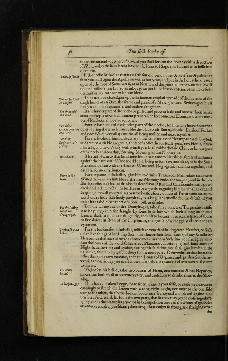 Thtnec\efr»oln The nec\e flead $Y chafeclt The chine pild and bald. The chine ÿrorone brawny and hard. The chine fwolne er puf- fed vp. Hide-bound, Paine in thé beUie, Vor the falling out of the draught-gut. Loofènelfeofthe bellie. The bellie bound. and incorporated together, afterward you lhall foment the home with a dccodfion of Wine, wherein haue becne boyled the leaues of Sage and Lauander in fufficicnc cuantitie. If thcnecke be fwolne that it caufeth fbme fiifpition ofan AbfcefTc or Apollumc : then you iniifl: open the Apoftume with a hot yron, and put in the hole where it was opened, the root of Sow-bread, or of Nettle, and this you dial I renew often : it will not be amide to giue him to drinke a great pot full of the dccoftion of raedicke fod¬ der, and in like manner to let him bloud, Ifthe neck be chafed,put vpon the fame an emplaider made of the marrow of the thigh bones of an Oxe, the feameandgreafe of a Male-goat, and Swincs-greafe, all being mixt in like quantitie, and molten altogether. If the hinder part of the ncckc be pilled and grownc bald and bare without haire, annoint the place with a liniment prepared of fixe ounces of Honie, and foure oun¬ ces üfMaftjcke,all boyled together. Forthchardnedeof the hinder parts of the iieckc, let him take his reft certaync daies, during the which time rubbe the place with Butter, Honie, Larde of Porkc, and new Wax in cquall quantitie. all being molten and mixt together. For the fwolne Chine, make an oyntment of the root of Elecampane well boyled, and ftampt with Hogs-greafe, thefatofa Weather or Male-goat, raw Honie, Fran- kincenfe, and new Wax 5 with which you lliall rubbe thefaid Chine or hinder part of the necke thrice a day, Euening,Morning,and at Noonc tide. If he be fo leane as that his skinne feeme to cleauc to his ribbes, foment his skinne againft the haire with Wine and Honie, being in fomc warme place, or in the Sun ; after annoint him with the Lees of Wine and Hogs-greafe, all mixt together, and made in forme ot a liniment. For thcpainc of the bellie, giue him to drinke Treacle, or Mithridate mixtwith Wine,afterward lethim bloud the next Morning vnder the tongue, andin the no- fthrjls,or clfe caiUe him to drinke. the decoff ion of Rue and Cammomile finely pow- dred, and let him reft at the lead feueri or eight daies,giuing him but fmall to eat,and keeping him well couered in a„warnie houle 5 fbure ounces of Turpentine incorpo¬ rated with a littie Salt finely powdred, is a fingular remedic for thedifcalc, ifyoii make him take it in manner ofa bole, pill, or drinke. For the falling out of the Draught-gut, take three ounces of Turpentine, caufc it to be put vp into the draught by Ibme little boy which hath a long arme and leane withall, to annoint it diligently, and this to be continued for the fpacc of foure or fine daies iin ftead of the! urpentine, the greafe of a Hogge will feruc for an oyntment. For the loofcnefte of the bellie, which comraeth of hauing eaten Hearbes, dr fuch other like thingsof hard digeftion : firft keepc him from eating of any Graffe or Hearbes for the fpace of two or three dayes, in the which time you Iball giue vnto him the leaues of the wild Oliue-tree, Plantaine, Horfe-tailc, and foractimes of Nkhtfhadc-berries •, and againe, during this faid time, you fhali giue him but little to drinke, this is to fay, juft nothing for the moft part. Otherwife, fee that he cat no other things for certaine daies, than the Leaues of Organe, and garden Southern- vvod, and eiierie day you muft allow him onely the quantitie of two cawers of water to drinke. Tojoofen his bellie, take two ounces of Hiera,one ounceof Aloes Hepatica, mixe them both well in warme water, andcaufehira to drinke theminthcMor- nmg. i/d broken leg^e If he haue a broken LcggCj for to fet it, draw it your fclfc, or caufc your feruants cunningly to ftrctch the Lcgge with a rope, right ought, not more to the one fide than to the other, that fo the broken bones may be joyned and placed againe in e- uen fort : Afterward, let loofe the two parts, that fo they may joync clofc togeeberi apply aboue the place pleagets dipt ina compofition made of the whites of egs,bole- armcnack, and c^ragonsbloud j then cic vp the member fo ftrong andftrcighc,as diat the
