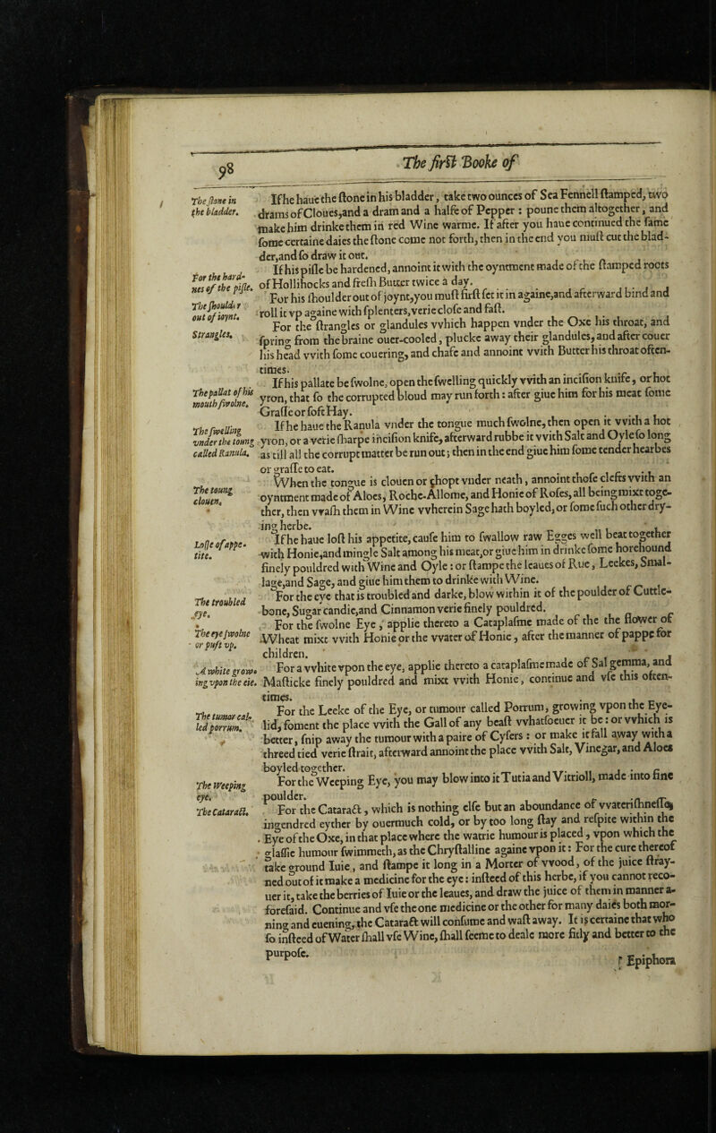 Thejîone in the bladder, for the hard‘ nés ef the pijle* The Jhouldi r out ofieyni* Strangles, Thepallat of his mouth fivolne. ThefmU'mg vnderthe toung called Rantila, The toung cloue». Lofjeofappe* tite. The troubled .m. fbeeyejmlnc ' or puft vp. ,.4 white grow* ingvponthe eie. The tumr calf ledporrum, , The Weeping eye, TbeCataraSl, If he haut the ftone in his bladder, take two ounces of Sea Fennell damped, two drams of Cloues,and a dram and a halfe of Pepper ; poune them altogether, and make him drinkethem in red Wine warmc. If ^ter you hauc continued the fame fomc certaine daies the {lone come not forth, then in the end you muft cut the blad¬ der,and fo draw it out. , ri A J If hispifle be hardened, annoint it with the oyntmcnc made or the itampcd roots ofHollihocks and freOi Butter twice à day. , j ' For his {boulder out of joynt,you rauft firftfec it in againe,and afterward bind and roll it vp a<^aine with fplenters,verie clofe and fall. For the°{lranglcs or glandules which happen vnder the Oxe his throat, and fprino' from thebraine oucr-coolcd, pluckc away their glandules, and after couer his head with fome couering, and chafe and annoint with Butter his throat often-* If his pallate be fwolne, open thcfwelling quickly with an incifion knife, orhoc yron,that fo the corrupted bloud may run forth : after giuchim for his meat fomc GraflieorfoftHay. • • t i If he haue the Ranula vnder the tongue much fwolne, then open it with a hot yion, or a vcric (liarpc iheifion knife, afterward rubbe it with Salt and OyleCo long till all the corrupt matter be run out ; then in the end giuc him fomc tender hearbes or grade to eat. . trio. • t. When the tongue is clouen or jhopt vnder ncath, annoint thofc clefts y vith an oyntment made of Aloes, Roche-Allomc, and Honic of Rofes, all bcingmixt toge¬ ther, then vvafh them in Wine wherein Sage hath boylcd, or fome fuch other dry- ingherbe. 1 u If he haue loft his appetite, caufe him to fwallow raw Egges well beat together with Honie,andmingle Salt among his meat,or giuchim in drinkefome horehound finely pouldred with Wine and Oyle ; or ftampe the Icaues of Rue, Leekes, Smal- lage,and Sage, and giue him them to drinke with Wine. cn \ For the eye that is troubled and darke, blow within it of the pouldcr of Cuttic- bonc, Sugar candic,and Cinnamon veric finely pouldred. , n r . For the fwolne Eye applie thereto a Cataplafme made of the the Hower ot Wheat mixe with Honie orthe water of Honic, after the manner ofpappcror children. i ro i ^ ’ 4 For a white vpon the eye, applie thereto a cataplafme made or Sal gemma, and Mafticke finely pouldred and mixe with Home, continue and vfc this often¬ times. . , _ For the Lcekc of the Eye, or tumour called Porrum, growing vpon the Eye¬ lid, foment the place with the Gall of any bcaft vvhatfocucr it be : or which is better, fnip away the tumour with a paire of Cyfers ; or make it fall away with a threed tied verie ftrait, afterward annoint the place with Salt, Vinegar, and Aloes boyled together. . . rw* • ttr- • n j • c For the Weeping Eye, you may blow into itTutia and Vitnoll, made into tine ^ For the Cataraa, which is nothing elfe but an aboundance of vvatcriftinef^ ino^endred eythcr by ouermuch cold, or by too long ftay and refpicc within the . Eye of the Oxe, in that place where the watrie humour is placed , vpon which the o-laffic humour fwimmeth, as the Chryftallinc againc vpon it ; For the cure thereof Take around luie, and ftampe it long in a Morter of wood, of the juice ftray- ned out of it make a medicine for the eye ; indeed of this herbe, if you cannot reco- uerit,takethcberrie$of luieor the leaues,and draw the juice of them in manner a- forefaid. Continue and vfe the one medicine or the other for many daiés both mor- nina and cuening, the Cataraa will confumc and waft away. It i? certaine that who fo indeed of Water {ball vfc Wine, {ball feeme to dealc more fitly and better to the r Epiphora