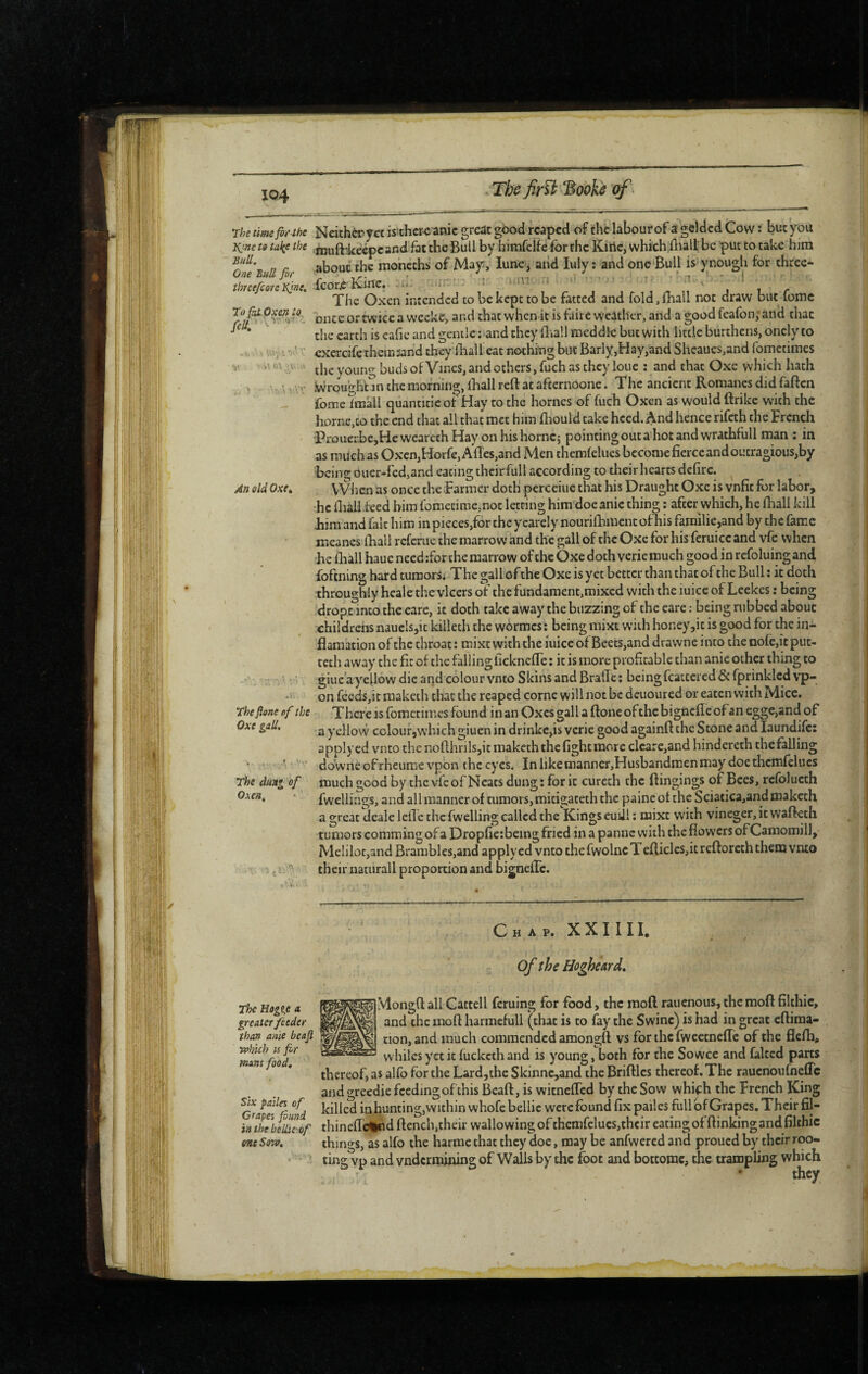 rhe time fbahe Neithèryct isthcrc anic great good reaped of the labourof a gelded Cow ; but you yjne t9 tal^e the fnuft-iiteépc and fat the Bull by himfeif e for the Kitic, whichilult be put to take him n ^ about the moncths of May, lurie, and luly ; and one Bull is-ynough for thrcc- thietfcon'Kinu fcorf'Kme. -n-, r i i r t n ' j t c The Oxen intended to be kept to be fatted and fold, mall not draw but lomc rySi once or twice a weeke, and that when it is faire weather, and a good feafon; and that ^ ^ the earth is eafie and gentle: and they fliall meddle but with little burthens, oncly to • - ■- ^  cxercife themsand they fhall eat nothing but Barly,Hay,and Shcaues,and fomctiines V v\o’,,v the young buds ofVincs, and others, fuch as they loue : and that Oxe which hath . » \ \v‘ Wrough'un the morning, lhall reft at afternOone. The ancient Romanes did faften fome fmall quantttie of Hay to the homes of fuch Oxen as would ftrike with the home,CO the end that all that met him fliould take heed, ^nd hence rifeth the French 'PiOuer.be,HcwcarcthHay onhishornc; pointing out a hot and wrathfull man : in as much as Oxen,Horfe,Aftes,and Men themfelues become fierce and outragious,by Being ouer-fcd,and eating their full according to their hearts dcfirc. An old Oxe, , VVlien as once the Farmer doth perceiue that his Draught Oxe is vnfit for labor, •he fiiàli feed him fomecime,not letting him doe anic thing ; after which, he fhall kill iiira'and fak him in pieces,for the ycarely nourilbment of his familie,and by the fame meanes ftiall referue the marrow and the gall of the Oxe for his feruicc and vfe when he fliall haue need ;for the marrow of the Oxe doth verie much good in refoluing and foftning hard tumors; The gall of the Oxe is yet better than that of the Bull : it doth throughly heale the vlcers of the fundaraent,mixed with the iuice of Leekes : being dropt into the eare, it doth take away the buzzing of the eare : being rubbed about childrens naucisjic kiileth the wOrracs : being raixt with honey,it is good for the in-i- flamation of the throat : mixt with the iuice of Beets,and dravvne into the nofc,it put- teth away the fit of the falling licknefte ; it is more profitable chan anie other thing to • giue'ayellow die and colour vnto Skins andBraftc: beingfcatcered&fprinklcdvp- on feeds,it maketh that the reaped corne will not be dcuoured or eaten with Mice. 'jthefione ef the There is fometimes found in an Oxes gall a ftone ofthe bignefle of an egge,and of Oxe gall, ^ yellow colour,which giuen in drinkc,is verie good againft the Stone and laundifc: applycd vnto the nofthrils,it maketh the fight more clcare,and hindercth the falling ' dbwne of rheumevpbn the eyes. In like manner,Husbandmen may doe themfelues The dung of much good by the vfc of Neats dung : for it cureth the ftingings of Bees, rcfolucth Oxen, ‘ fwellings, and all manner of tumors, micigateth the paine ot the Sciatica,andmaketh a great deale lelTe the fwelling called the Kings euUl ; mixt with vineger, it wafteth tumors comming of a Dropfie:being fried in a panne with the flowers of Camomill, MeIiloc,and Brambles,and applycd vnto the fwolne Tefticles,it reftoreth them vnto V ; their naturall proportion and bigneftc. Chap. XXIIII, The Hogije a greater feeder than anie beafi which IS fir mans food. Six pailes of Crapes fiund in the belhe of one Sow, of the Hogheard, Mongft allCattell feruing for food, the moft rauenous, themoft fikhic, and the moft harmefull (that is to fay the Swine) is had in great eftiraa- tion,and much commended amongft vs for the fwcetneffe of the flefh, whiles yet it fucketh and is young, both for the Sowee and faked parts thereof, as alfo for the Lard,thc Skinne,and the Briftlcs thereof. The rauenoufnefle and greedie feeding of this Bcaft, is witneffed by the Sow which the French King killed in hunting, within whofc bellic were found fix pailes full of Grapes, Their fil- thineffe%nd ftench,their wallowing of themfelucs,thcir eating of ft inking and fikhic things, as alfo the harrae chat they doe, may be anfwercd and proued by their roo¬ ting vp and vndermining of Walls by the foot and bottomc, the trampling which