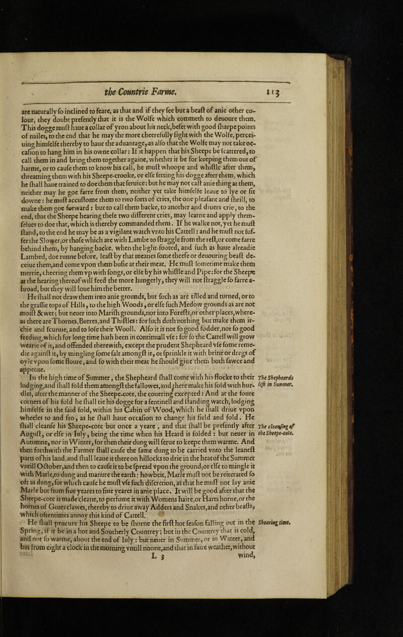 are naturally To inclined to fcarc, as that and if they fee but a bead of anie other co¬ lour, they doubt prcfcntly that it is the Wolfe which comtneth to dcuourc them. This dogge muft liauc a collar of yron about his ncck,bcfec with good (harpe points of nailcs, to the end that he may the more cheerefully fight with the Wolfe, pcrcei- uing himfelfe thereby to haue the aduantage,,as alfo that the Wolfe may not takeoc- cafion to hang him in his ownc collar : If it happen that his Sheepe be fcattered,to call them in and bring them together againe, whether it be for keeping them out of harme,ortocaufethcmtoknowhiscali, he muft whoope and whiftle after them, threatning them with his Sheepe-crookc, or elfe fetting his dogge after them, which he (hall haue trained to doe them that feruice: but he may not call anie thing at them, neither may he goe farre from them, neither yet take himfelfe leauc to lye or fit downc : he muft accuftome them to two forts of cries, the one pleafant and (hrill, to make them goe forward : but to call them backe, to another and diuers crie, to the end, that the Shcepe hearing thefe two different cries, may learnc and apply them- felucs to doc that, which is thereby commanded them. If he walkc nor, yet he muft (land, to the end he may be as a vigilant watch vnto his Cattell ; and he muft not fufc fer the Slower,or thofc which arc with Lambc to draggle from the rcft,or come farre bchindthem, by hanging backe, when the bglit-footed, and fuch as haue alrcadic Lambed, doe runne before, lead by that mcanes fomc theefc or deuouring bead dc- ceiuc them,and come vpon them bufie at their meat. He muft fometime make them merric, cheering them vp with fongs, or elfe by his whiftle and Pipe : for the Shcepe at the hearing thereof will feed the more hungerly, they will not draggle fo farre a- broad, but they will loue him the better. He (liall not draw them into anie grounds, but fuch as arc tilled and turned, or to the graffie tops of Hills, to the high Woods, or elfe fuch Medow grounds as arc not moift &wct^ but ncuer into Marifh grounds,nor into Forefts,or other places,where¬ as there arc Thornes,Burres,and Thiftlcs ; for (uch doth nothing but make them it- chie and feuruie, and to lofe their Wooll. Alfo it is not fo good fodder,nor fo good feeding,which for long time hath been in continuall vfc ; for fo the Cattell will grow wcarie of it, and offended cherewith, except the prudent Shepheard vfc feme remé¬ die againft it, by mingling fome fait amongft it, or fprinklc it with brine or dregs of oyle vpon fomeflourc, and fo with their meat he fhouldgiue them bothfawceand appetite. Ill the high time of Summer, the Shepheard (hall come with his flockc to their The Shepbeards lodging,and (hall fold them amongft the fallQwes,and^thcfe make his fold with hur- ^ Summer, dies, after the manner of the Sheepe-cotc, the coucring excepted ; And at the fourc corners of his fold he (hall tic his dogge for a fcntinell and (landing watch, lodging himfelfe in the faid fold, within his Cabin of Wood, which he fliall driuc vpon wheclcs to and fro, as he fliall haue occafion to change his field and fold. He (hall cleanfe his Sheepe-coce but once a yearc , and that fhall be prcfcntly after The eleanfingef Auguft, or elfe in luly, being the time when his Heard is folded ; but ncuer in theSheepe-eote. Autumne, nor in Winter, for then their dung will ferue to keepe them warmc. And then forthwith the Farmer fhall caufe the fame dung to be carried vnto the leaned parts ofhis land,and (hall Icaue it there on hillocks to dric in the heat of the Summer vntill O£lobcr,and then to caufe it to be fpread vpon the groundjor elfe to mingle it with Marle,to dung and manure the earth ; howbeit, Marie muft not be reiterated fo oft as dung,for which caufe he muft vfc fuch difcrction, aS that he muft not lay anie Marie but from fiue ycarcs to fine ycares in anie place. It will be good after that the Shccpc-cote is made cleanc,to perfume it with Womens hairc,or Harts hornc,or rhe homes of Goats clawes, thereby to driuc away Adders and Snakes,and other beads, which oftentimes annoy this kind of Cattell. He (hall procure his Sheepe to be fliornc thefirfthot fcafon falling out in the ShearingtitHt. Spring, if it be in a hoc and Southerly Countrey ; but in the Countrey that is cold, and not fo warmc, about the end of luly ; but neucr in Summer, or in Winter, and but from eight a clock in the morning vntill noone,and tliac in faire weather, without ° L j wind,