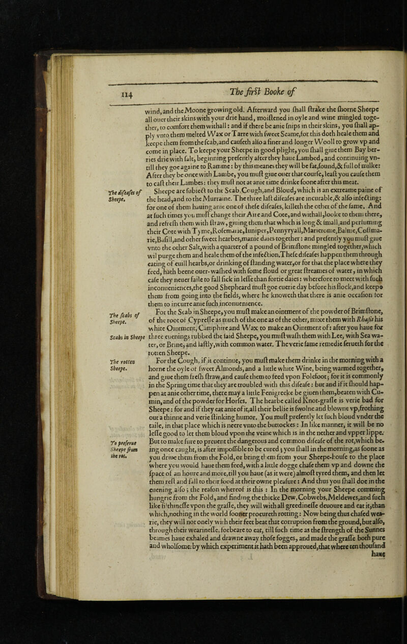 The difeafes of Sheene, The feabs of Sheepe, v/ind, and the Moonegrowing old. Afterward you fliall ftrake the flîornc Sheepe all oner their skins with your drie hand, moiftened in oyle and wine mingled toge¬ ther, to comfort them withall : and if there be anie fnips in their skins, you (hall ap¬ ply vnto them melted Wax or Tarre with fweet Seame,fot this doth healc them and keepe them from the fcab,and caufeth alio a finer and longer Wooll to grow vp and come in place. To keepe your Sheepe in good plight, you fliall giuc them Bay ber¬ ries drie with fait, beginning prefcntly after they haue Lambed, and continuing vn- till they ^oc againc to Ramme : by thismcancs they will be fat,found,& full of milke: After they be once with Lambe, you rnufl giuc oner that courfe, Icaft you caufc them to cafl their Lambes : they rnufl not at anie time drinkc foone after this meat. Sheepe are fubicff to the Scab,Cough,and Bloudj which is an extreamc painc of the head,and to the Murrainc. The three lafl difeafes arc incurable,& alfo infefling: for one of them hauing anie one of ihefc difeafes, killcth the other of the fame. And atfuch times you mull change their An e and Cote, and withall,looke to them there, and refrefh them with ftraw, giuing them that which is long & Imalfand perfuming their Cote with T> me,Rofemaiic,Iuniper,PennyryalJ,Marieromc,Balnic,Coflma- Tie,Bafill,and other fweet hearbes,manic daics together : and prefently you rnufl giuc vnto the other Salt,with a quarter of a pound of Brimftone mingled together,which wil purge them and healc them of the infcflion.Thcfe difeafes happen them through eating of euill hearbs,or drinking of (landing watcr,or for that the place where they feed, hath becne ouer-wafhed with fome floud or great ftreames of water, in which cafe they neucr failc to fall fick in Icfle than fortie daies : wherefore to meet with fu^ inconuenicncesjthc good Shepheard rnufl goc euerie day before his fiock,and keep» them from going into the fields, where he knoweth that there is anie occafion tor them to incurrcanie fuch inconucnicnce. For the Scab in Sheepe, you rnufl make an ointment of the powder of Brimftone, of the root of Cyprefte as much of the one as of the other, mixe them with Rhajis his white Ointment, Camphirc and Wax to make an Ointment of: aftcryou haue for Scabi in Sheepe three euenings rubbed the laid Sheepe, you muft wafli them with Lee, with Sea wa¬ ter, or Brine, and iaftly,with common water. The verie fame remédie fcrueih for thé rotten Sheepe. For the Cough, if it continue, you rauft make them drinkc in the morning with a home the oyle of fweet Almonds, and a little white Wine, being warmed together, and giuc them frefh ftraw,and caufc them to feed vpon Folefooc ; for it is commonly in the Spring time that they arc troubled with this difeafe ; but and if it fhould hap¬ pen at anie other time, there may a little Fcnigreeke be giuen thcm,bcatcn with Cu¬ min, and of the powder for Horfes. The hear be called knot-grafle is verie bad for Sheepe ; for and if they eat anie of it,all their bellie is fwolne and blowne vp,frothing out a thinne and verie (linking humor. You muft prefently let fuch bloud vndcr the taile, in that place which is nccrc vnto the buttockes : In like manner, it will be no Icfle good to let them bloud vpon the veine which is in the nether and vpper lippe.' But to make fure to preuent the dangerous and common difeafe of the rot,which be¬ ing once caught, is after impoflible to be cured j you fliall in the morning,as foone as Vou driuc them from the Fold,or bring them from your Sheepe-houfe to the place where you would haue them feed, with a little dogge chafe them vpand downe the fpace of an hourc and more,till you haue (as it were) almofl tyred them, and then Icc them reft and fall to their food at their owne pleafure : And thus you fliall doc in the euening aifo ; the rcafon whereof is this : In the morning your Sheepe comming hungric from the Fold, and finding the thicke Dew,Cobwebs,Mcldewcs,and fuch like fi’thinefTe vpon the graft e, they will withall greedinefle dcuoureand eat it,than vvhich,nothing in the world fooner procureth rotting : Now being thus chafed wca- rie, they will not onely with their feet beat that corruption from the ground,but alfo, through their wearineftc. forbearc to eat, till fuch time as the ftrength of the Sunnes bcames haue exhaled and drawnc away thofc fogges, and made the grafte both pure and wholfomciby which experiment it hath been approued,thac where centhoufand have The rotten Sheepe, To preferue Sheepe fim the rot. X. f-