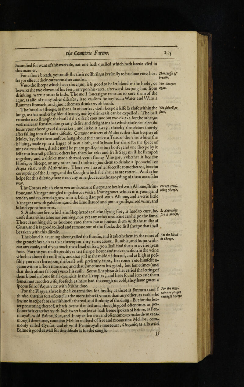 li3uc died for wine of this cxcrcifcj not one hith cj^uelled which hithbeeric vfed in this manner. . r n t j i. For a fhort breath, you muft flit theirnofthrils,asisvruallytobedonevnto hor- fes; or elfe cut their cares one after another. Vnto the fheepe which haue the ague, it is good to be let bloud in the hcelc, or betwixt the two clawes of his feet, orvponhiseares, afterward keeping him from drinkino, were it neucr fo little. Thenaofl foueraigne reiticdie to cure them of the ague,asalfo of many other difeafes, is to caufeto beboylcdin Water and Wine a Kammes ftomach, and giue it them to drinke with broth. ^ i • t. The fniucll of fheepe, as that alfo of horfes, doth keepe it fclfe fo clofe within the luno-s, as that neither by bloud letting, nor by drinkes it can be expelled. The beft rernedic is to flranglc the beaft if the difeafe continue but two dues : for the other,as well males as females, doc greatly defire and delight in that which thefc driuclcrs do Icaue vpon the edges of the rackes, and heke it away, thereby themfclucs fhortly after falling into the fame difeafe. CercaiFeraarrers of Mules rather than keepers of Mules, fay, that there muft be hung about their necke aToadofthc vine whiles fhc isliuingjroadcvp in a bagge of new cloth,andfoleauc her there forthe fpaceof nine dales : others, that he muft be put to graffe,!! it be a horfe 5 and one Ihccpc by ic felfe in a feuerall paftiire ; others fay, that Garleeke and frefli Sage muf f be ftamped tof^ethcr, and a drinke made thereof with ftrong Vinegar, whether it bee for Horfe, or Sheepe, or any other beaft : others giue them to drinke a fpooncfuU of Aoua vitae, with Mithridate. Xherc will no other fuccefte come thereof, but the corrupting ofthe Lungs, and the Cough,which fuch haue as arc rotten • And as for helpefor tïiis difeafe, there is not any other,but cuen the auoyding of them out ofthe vv3y* The Cornes which vfe to vex and torment ftieepc,are healed with Allomc,Brini- ftone,and Vinegar mingled together, or with a Poraegranet whiles it is young and tender, and no kernels growne in it, being ftamped with Allome, and a veric little Vinegar : or with galsburnt,and the fame fliaucd and put in groffc,or red wine, and . fo laid vpon the comes, . 1 i 1 S. Anthonies fire, which the Shepheards call the flying,fire, is hard to cure, bc- caufe that neither faluc nor burning, nor yet any ocher medicine can heipe the fame. There is nothing clfe to be done vnto them but to foment them with the milkeof Goats,and it is good to ftied and remoue out of the flocke the firft flicepc that fhall betaken with this difeafe. • • r The bloud is a turning about,called the fturdic, and ittaketh them in the times or thcgrcatcfthcatjfoas that thereupon they turneabout, ftumblc,andlcape with¬ out any caufe, and if you touch their head or feet, you Ihall find them in a veric great heat. For this you muft fpcedily cake a fharpe home and make incifion in the veine which is aboue the nofthrils, and that juft in thecniddeft thereof, and as high as pof- fiblyyou can : hereupon, the beaft will prefcntly faint, bMtcorac vntohimfclfoa- gaine within a fhort time after, and that fometime to his good, but fomctirocs (and that doth oftner fall out) vnto his cuill. Some Shepheards haue tried the letting of them bloud in fome fmall quanticic in the Tcmples, and haue found it to eafe them fometimes; as ocher wife, for fuch as haue had the cough or cold, they haue giucn a fpponefullofAqua vitae with Mithridate. ^ For the Plague, there is the like remedies for bçafts, as there is for men: arid I thinke, thatthis lore ofcatcell is the more fobieft vnto it than any other, as is alfo the Swine in refpeft of the filthi'nefl'e chercof and ftinkingof the dung. But for the bet¬ ter prcucncing thereof, it hath becne deiiifed and thought good oftentimes fume their cratches with fuch fwcet hearbes as hath beenc fpoken of before, as Pen» niroyall, wild Balmc, Rue, and lumper-berries, and oftentimes to make them cat a- mongft their meat, common Melilot 1 n ftecd of free and niounraine Meliloc, com¬ monly called Cycifus, and of wild Penmroyall: raorcouer, Organic, as alfo Wild Balmc is good as well for this difeafe as for the cough, , : ^ Shortnejfe of breath. The Sheepes ague. ThefniutUfQi\ fnot. Cornet troi^ blittgSheepèt Sé Anthonies firemSheepei Tor the bloud in Sheepe, Tor the rnuTm raine or plogui amoitgü Sheeps
