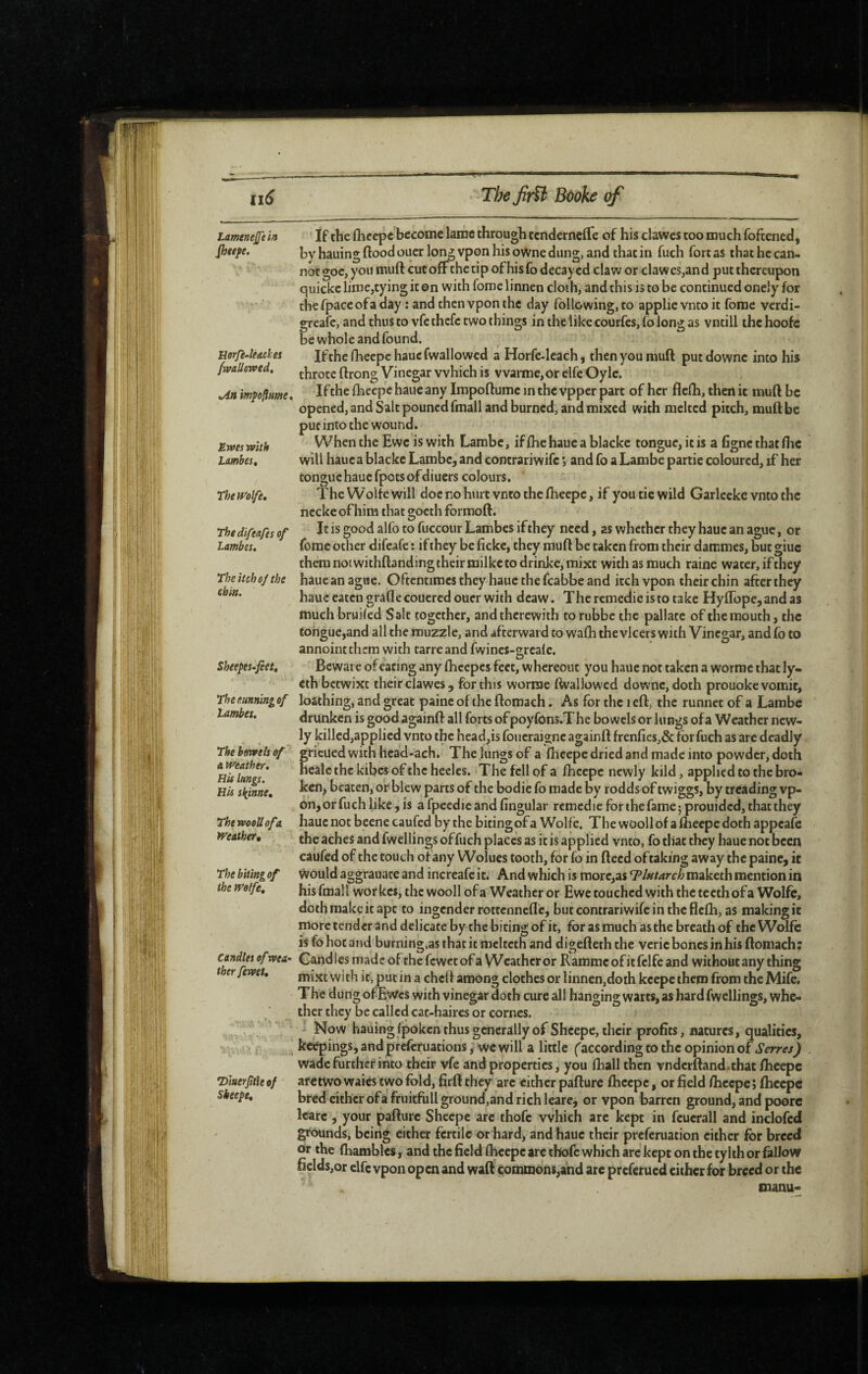 II^ Lamenejftin Jheefe. Horfe-leaches ftvaUoTved, »Anmpo[lume, Ewes with Limbes, TheiP’olfe, The difeafes of Lambes. The itch oj the chin. Sheepes.fiet, Theeunningof lambes. The bowels of a Weather, His lungs. His sl^inne, ThewooUofa Weather, , The biting of the Wolfe, candles of wea¬ ther fewet. ’Diuerjifte of Skeepe, The firU Bôoke of If the flieepc become lame through tcndernelTe of his clawes too much foftened, by hauing flood oucr long vpon his oWne dung, and that in fuch fort as that he can¬ not goc, you muft cutoff the tip ofhisfo decayed claw or claw es,and put thereupon quicke lime,tying it ©n with fome linnen cloth, and this is to be continued oneiy for the fpace of a day : and then vpon the day following, to applie vnto it forae verdi- greafe, and thus to vfe thefe two things in the like courfes, fo long as vntill the hoofc be whole and found. Ifthefhecpchaucfwallowed a Horfe-leach, then you muft putdowne into his throte ftrong Vinegar which is vvarme,or elfe Oylc. Ifthe fliecpc haue any Irapoflume in the vpper part of her flefli, then it muft be opened, and Salt pouncdfmall and burned, and mixed with melted pitch, muft be put into the wound. When the Ewe is with Lambe, if flie haue a blacke tongue, it is a figne that flic will haue a blacke Lambe, and contrariwife *, and fo a Lambe partie coloured, if her tongu c haue fpots of diuers colours. The Wolfe will doc no hurt vnto the ftieepe, if you tie wild Garlccke vnto the nccke of him that goetli formoft. It is good alfo to fuccour Lambes if they need, as whether they haue an ague, or feme other difeafe : if they be ficke, they muft be taken from their darcmes, but giuc them noiwithftanding their milke to drinke,mixt with as much raine water, if they haue an ague. Oftentimes they haue the fcabbe and itch vpon their chin after they haue eaten grade coucredouer with dcaw. The remédié is to take Hyflopc,andas much bruiled Salt together, and therewith tonibbc the pallate of the mouth, the tongue,and all the muzzle, and afterward to wafti the vlcers with Vinegar, and fo to annointthem with tarreand fvvincs-2;reafe. Beware of eating any fticepcs feet, whereout you haue not taken a worme that ly- eth betwixt their clawes, for this worme ftvallowed downc, doth prouokc vomit, loathing, and great paine of the ftomach. As for the i eft, the runnet of a Lambe drunken is good againft all forts ofpoyfons.The bowels or lungs ofa Weather new¬ ly killed,applied vnto the head,is foucraigne againft frenfies,& fbrfuch as are deadly grieued with hcad-ach. The lungs of a fheepe dried and made into powder, doth ncale the kibes of the heeles. The fell of a fheepe newly kild, applied to the bro¬ ken, beaten, or blew parts of the bodie fo made by rodds of twiggs, by treading vp¬ on, or fuch like, is a fpeedie and fingular remedie for the fame ; prouided, that they haue not beene caufed by the biting of a Wolfe. The wooll of a fheepe doth appeafe the aches and fwellings offuch places as it is applied vnto, fo tliat they haue not been caufed of the touch of any Wolues tooth, for fo in ftecd oftaking away the paine, it Would aggrauace and increafe it. And which is morc,as 'Tlutarch maketh mention in hisfmall workes, the wooll ofa Weather or Ewe touched with the teeth ofa Wolfe, doth make it apt to ingender rottennefle, but contrariwife in the flefh, as making it more tender and delicate by the biting of it, for as much as the breath of the Wolfe is fo hot and burning.asthatit mclteth and digefteththc veric bones in his ftomach; Candies made of the fewet of a Weather or Rammeofitfclfe and without any thing mixt with it, put in a cheft among clothes or linnen,doth keepe them from the Mife. The dung of-EWes with vinegar doth cure all hanging warts, as hard fwellings, whe¬ ther they be called cac-haires or comes. ‘ Now hauing fpoken thus generally of Shcepe, their profits, natures, qualities, keepings, andprefcruations; we will a little ^according to the opinion of Serres) wade further into their vfe and properties, you fhall then vndcrftand.that fticepc aretwo waics two fold, firft they arc either pafture fheepe, or field fticepc ; fheepe bred either ofa fruitfullground,and rich leare, or vpon barren ground, and poore learc , your pafture Sheepe arc thofc vvhich arc kept in fcucrall and inclofed grounds, being either fertile or hard, and haue their preferuation cither for breed or the fhambles, and the field fticepc arc thofc which arc kept on the tylth or fallow ficlds,or clfc vpon open and waft commons,and arc preferued either for breed or the manu-