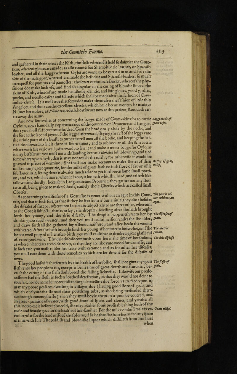 ana «chcrea in their coats : the Kids, the flefli whereof is held fo daintie : the Goat¬ skin, whereofdoues aremade; as alfo counterfeit Shainois, dne cather, or Spanifli leather, andaUthe bagsswherein Oylesarewont to becarriedintoand fro: the skin of the male o-oac, whereof are made the bed dric and leather, fo much inrequed for purapes and pantofles : the fewet of the male Buckc whereof the phy- fitions doe makefuchvfc, and find fo fingular in the curingofbloudiefluxes: the skins of Kids, whereof are made handlomc, daintie, and foh gloues, good girdles, purfes, and nccdle-cafes : and Cheefe which dull be made after the fafhion ol Cow- niilke-cheefe. It is mod true that feme doe make them after the fadiion oHitile thin AncrclQCS,andthofe are the excellent cheefes, which hauebcene wont to be made at Nilmes heretofore, as T^Unie recordeth,howfocüer now at this prefcnt,Baus doth car- fomewhat as concerning the baggs madeofGoats-skinsfortocarric Bansmade»! Oylein aswehauc daily experience out ofthe countries of Prouence and Langue- doc: you mud firdcutirom the dead Goat the head onely clofe by the necke,and the feet at the fécond joynt cf the leggs : afterward, flcying the red of the leggs vnto the oriuie parts ofthe bead, to turne the red ouer all the bodie, and keeping the hai- rie fide outward to fait it three of fourc tirhes, andtonibbeoucr all the skin euerie where with fait verie well ^ afterward, to few it and make it into a bagge tor Oyle, as it may bed ferue : you mud notwithdanding keepe it al waies full,blown vp,and ned fomewhercvponhigh,thatit may not touch thfeearth, for othcrvvife it would be enawed in pieces ofvcrm.ne. She diall not make account to make Butter of their Bum .[goat, m.lkeinany great quantitic, for the milke of goats hathnofiehdoic of fat or oilic fubdance in it, fecingthere is alwaies much adoc to get forth eucn fomc fmall poti¬ on i and yet, which is more, when it is out, it looketh whitifh, hard, and tadeth like tallow ; and thirdly, becaufe in Languedocand Prouence. they gather not any But¬ ter ac all, being giuen to make Cheefe, namely thofe Cheefes which are called fmall (^beefes Asranceminithe difeafes of a Goat, nie is neuer without an ague in this Coun- trie, and that in fuch fort, as that ifthey be free from it but a little, they die tbebdes the difeafes of fliecpe, whercunto Goats arc lubjeff, there are three other, whcrcun- to the Goat is fub jeÛ , that is to fay, the dropfie, fwclling after die hath brought forth her young, and the dric difcafe. The dropfie happeneth vnto her by rWirM/w»/ drinking too much water, and then you mud make incifionynder the fliouldcr, and draw forth all the gathered fiiperfluousmoidure ^' and after healc the wound with tarre. After die hath brought forth her young, if her matrix be fwolnc.or if the The matrix be not well purged ofherafter-birth, you mud caufc her to drinkca great glade fill • of veriegood wine. The dric difeafccommeih vpon herinthc tiraeof hotfoafons. The drie d^eafi as wherein her teats are fo dried vp, as that they are like vnto wood for drineffc, and in fuch calc you mud rubbe her teats with creame: and as for ocher her difeafes^ you mud cure them with thole remedies which are fee downc for the difeafes of Thc^roodhufwifcthatfetteth by the health of her folke, dial 1 not giuc any goats ThtfLt^er fledi vn?o her people to cat* except it be in time of great dearth and Icarcicie , be- caiife the eating of this dcdi doth breed the falling ficknede. Likewifeour prede- ceflburs had tlfe fledi in fuch a loathed deetdation, as that they would nor deine to touchit, no not name it: notwithdanding if nccelhcic doe force vs to feed vpon i^ as many poorcpeafancs dwelling in villages doe (hauing good dore of goats, and which onely arcthe dore of their powdring tubs, as alfo being perfuaded tlier^ to through couctoufnede ) then they roudboyle them in a pot not couered, an in great quantifie of water, with good dorc of fpiccs and cloues, and this, not to eat it before it be cold, iTie may sather fome profitable thing both or the ^ ^ male and female goat for the health ofher familic : For the milkc ofthe female is ve- Goatt miSte» rie fin pillar for the hardnelTe of the fpleene, if fo be that die haue beene fed any fpace ofcinic With luie.Thcrcddidiand bloudiikc liquor which didillcth from her huer whea