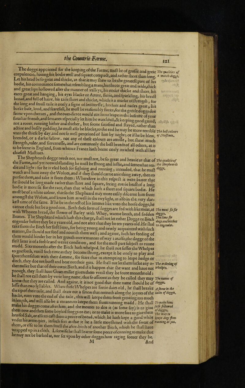 111 Vr Thedoggc appointed for the kcepjngofthe Farme, aigft beofgroffe and great’rfa .f corpulcncic, hauing his bodie yvcil and fquaçè.çompaa,^pd rather Ihorc than lono- ^ watch-dog^,. Let his head be fo great and thicke, as thatiemayfhewto hc thegrcatcft.paTt of Ins bodic,hiscouncenancclomewhatrcferoblingamans,histhioatgreatand wide thick and great lips hollowed after the manner of valleys* his nccke thicke and fhort his cares-rcatand hanging, his eyes blackeor Azure, ficrie,and fparkling, his breaft broad,and full of hairc, his taile Ihort and thicke, which is a marke of ftrenc^th for the long and fniall taile is onely a figne of fwifenefle, his foot and nailes <^rcat ' his barke bale, loud, and fearefull, he muff be reafonably fiercc,for the <rcntlc |oo-as’doe faune vpon thccues, and theouer-fierce would not let to leape in th? bdfome of your familiar friends,and feruantsrcfpecially let him be watchful),& keepino- aood oJard not a roller, running hither and thither, but foone fatisfiedand ftayed^'ratherthan aftiuc and bufily gadding he muft alfo be blacke,to the end he may be more terrible The bed colours vnto the thiefe by day,and not fo well perceiucd of him by night 5 or if he be blew oj iMaflmes» brended,or a darkefallow, not any of thefê colours areamiac, but fhew much Itrengthjvalor,and fiercenelTe, and arc commonly the beft breeds of all others as is to befeenc in England, from whence France hath bcene onely inriched with all her chicfelt Maftiues. The Shepheards dogge needs not nor muft not, be fo great and heauie as that o(TkqH,li,iecf the Farmc,and yet notwithflanding he muft be ftrong and iuftie,and fomewhat rca- shepheards die and li^hc ; for he is vfed both for fighting and running ; intended, that he muft watch and hunt away the Wolues, and if they ftiouldcarrjeanie thing away, then to mirfuc them,and take it from them : Wherefore in this rcfpefl it were better that helliould be longmade rather than fhort and fquare, feeing eueriebeaftofa lori® bo^e IS more fit for the race, than that which hath a fliorc and fquare bodie. He muft b^f a white colour, tbatfo the Shepheard may more eafilydifcerne him from aniongft the Wolues, and know him as well in the twylight, as alfo in the. very dar. keft time of the fame. If he be m the reft of his limmes like vnto the houfe doo-o-c-hc wiJlî fed with like m?at,as rhemeat fit fir Wheaten bread, the flower of Barley with Whay, warme broth, and fodden Beanes. The Shepheard which hath this charge, fhall not let either Dogge or Bitch . engender before tli^ey be a y care old, and not after that they be ten yeares old. He fhal takefiom the Bitch het firft litter, for beingyoungand newly acquainted with fuch ^ matters,fhe fhould not feed and nourifh them well 5 and againe, fuch her feeding of ftiem would hinder her in her grouth eueriemanner ofway : asa}fo,the dogge of the tirlt litter is of a fecjjleand weakc condition, and for the moft part fubje(ft to runne madd. Sixemoncths after the Bitch hath whelped, he fliall notfuffcrtheWhelpcs wgoe forth, vntill fuch time as they become ftrong, except it be onely to play and yort themfelucs with their damme, for feare that in attempting to Icnpc hedo-c or ditch, they doe not burft and beat out their guts. He ftiall not let them fucke any o- rhe ordering of thcr muke but that of their owne Bitch,and if it happen that fhewant andhauenot yn^gh, they fhall haue Goats milke giuen them vntill they be fourc moneths old : c fhall not call them by verie long name, that foaftbone as they be called they may The names of 1 And againe, it is not good that their name fhould be of IhTnnnfr^’’ WhentheleWhelpesare fortiedaiesold, he lhallbreake t po tncirtaiie. and fhall draw out a finew that runneth along the joyntsofthc taiies of dogges, ‘ keepe them from growing too much inicn|th, and will alfo be a meanes to keepe them from running madd. He fhall TomakeUnü make his dogges come after him, and themeanes to doc it (as fome fay) is to ncni now and then fome boy led froggs to eat 5 or to make it more fure to giiie them jhfÿauo of bread, which he hath kept a good while \eepe dogs from vnder hisar^mc-pits, in fuch fore as that it be a little moyftened with the fweat of runmngatyeu, i cm,or e fe to let them fmcll the after-birth of another Bitch, which he fhall hauc Wrapped vp in a cloth. Likewife he fhall learne fome pceccofcunning to make that c may not be barked at, nor fet vpon by other dogges how raging foeuer they be. M And