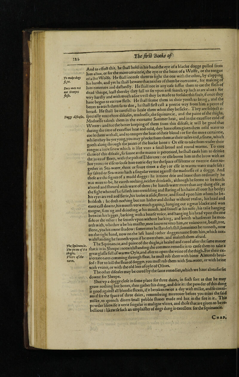 7oma\edogs J)02S maj Tint m Sheepes fiejh. Andtocffcathis, hefliallholdinhishandthccye ofablacke dop pulUd from hmi a!me, or forihe morecertaintie, the e>;e or the heart ofa Wolfe, or the tongue olaflieWolfe. He (hall incenfc theiti th light the one with the other, by clappm» his hands, and yet he lhall beware thatneither of them be oucrcome, for himtimerousanddaftardly. Hefballnotin any cafe fuffer dead Sheene leaftthereby they fall to fetvponand fnatchvpfuchasare aliue. tor very hardly and with muci ad« Will they be made to torfake this fault.if once they haue beeun to eat raw flelh. He niall frame them in their youth to bring, and the better to teach them fo to doe, he (hall firfl call a prett.e way from him a peece of bread. Helhall be carefull to heale them when they be ficke. They atefnb,eft e- PHII dir,.fa, fpecially vneothreedifeafes,madne(le,thefquinancie. and the paine of the thiÿs. ^ Æadnelfe taketh them in the extreame Sommer heat. and excçffiue cold of , • Winter:andtorthebetterkeepingofthemfromthisdifeafe,icwillbegoodthat Linir the timeofexcelliue heat and cold, they haue often giuen them cold water to cocle?hem withall, and to temper the heat oftheir blond : or for the more certaintte whiles they be yet vong.you may phickefrom them at their tailes end.a Cnew, which To thSh^ough^^ bone : Or elfe to take from vnder their mnllalitdefinewwhich is like vnto a fmall broad and round worme. To cure theS ot this difeafe, fo foonc as the matter is perceiued. he lhall caufc him to drinke he iuiceof Beets, with thepith ofEldertree 1 or elfeburne him mthe brow with an ■ hot vron : or elfe to foufe him euerie day for thefpace offifteene or twentie dares to¬ gether in Sea.water,three orfoure times a day tor elfe inwaime water made fait: for faked orSea-waterhathafingularvcrtueagamft themadnefleof a dogge. And thereareihefwnesof a madd dogge: he is more drie and leane than ordinarily he was wont to b?, he eateth nothing,neither drinketh, although he feeme to be much altered and flamed with want of them ; he hateth water inore than any thing elfe, at the (i-htwhereofhe falleth into trembling and flaring of his haire all ouer his body, his e%“es are red and fierie,his lookeis afide.nerne, and fixed vpon him whom he be- holdcth : he doth nothing but run hither and thiibcr without reafon, his head and eares cafi downe,his mouth verie much gaping, hanging out a great blacke and wan ' toiKmeifomnganddtiuclingathismouth.andfniuellathisnofeihistailehapng ' ' bctwixthisle»ucs.barkingwithahoarfevoice.andhanginghislicadvpontheone fideor thcdtlicr 1 he fetteth vpon without barking, and bitcth whatfoeuer hemee- teth with, whether it be his maiftcr,men knowne vnto him,or ynknowne, bcaft,trce, flone,yea his owne (liadow : fometimes he fiandeth ftill,fomeeiroes he tunnetb, now - ontIienghthand,nowontheleft handtother doggesrunnefromhira,whichnot, withfianding he fauncthvponifhemcetthem.androakeththcm afraid. r • • TbeSqumancie,andpaineofthcthighs,ishealedandcutedafierthefamemœet ^'^:7.tthatitisi^Sheepe:notw'Ith(landingthecommonremedieis^^^^^^^^ rHjte. ■ greatglanefullofwartr.eOyle,andaftettoopenfoeveineofthethigh.Fortheit^^^ rUm of the Ç comming through fleas, he imift tub them with bi«« Ata - tares, jdoggcs.you muft rub them with Sea-water, or with brine - with water, or with the old lees ofoylc of Oliues. ^ j* /• The other difeafes may be cured by the fame remedies,which we haue alreadie fee ^°^utvp a dogge clofe in feme place for three daies, in fuch fort as that he may gnaw no&ing but bones, then gather his dung, and drie it : the powder ofjbs dung • isvoodavainBallbloudiefluxes,ifitbetakentwice a day with milke,andlocona- nuldforfhefpaceof three daies, remembring moreouetbefore yopixeth^ad milke.to quench diuctsfmall pebble flones made red hot mthe firemit. Tto powder lÆewife is verie lingular in maligne v leers, and thofe that are outm to be re¬ bellious : Ukcwife fuch an emplaifler of dogs dung is extcllent for thefquinancie.