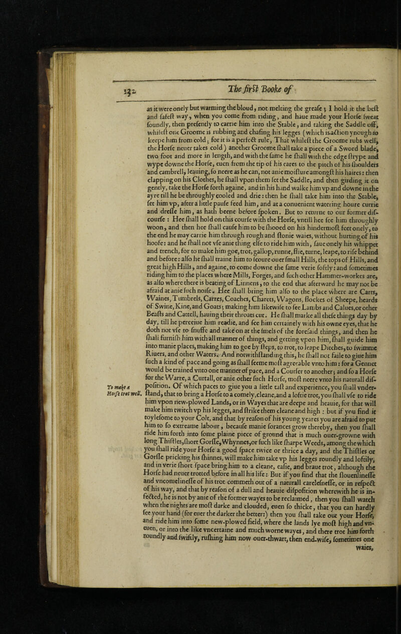 Thefirïh Booke qf asicwcreonely but warming the bloud J not melting the grcafe 5 I hold it the beft and fafeft way, when you come from riding, and hauc made your Horfc Iweat foundly, then prefently to came him into the Stable, and taking the Saddle o6F, whileft OIK Groome is rubbing and chafing his Icggcs ( which is^aflion ynough to keepe him trom cold. for it is a pcrfcél rule, That vvhilcft the Groome rubs well^ . the Horfc ncucr takes cold ) another Groome fliall take a piece of a Sword blade, two foot and more in length, and with the fame he fhall with the edge ftrype and wype downe the Horlc, euen from the tip of his cares to the pitch of his fiiouldcrs and cambrell, leaning, fo neere as he can, not anie moiflure amongft his haires : then clapping on his Clothes, he fhall vpon them fet the Saddle, and then girding it on gently, take the Horfc forth againc, and in his hand walkc him vp and downe in the ayre till he be throughly cooled and dric : then he fliall take him into the Stable, fet him^, after a little paufe feed him, and ataconuenientwaterina: houre curric and drefle him, as hath bcene before fpoken. But to retnrnc to our formerdif* courfc : Hcc fhall hold on this courfc with the Horfc, vntillhec fee him throughly Woon, and then hee fhall caufehimto beihooed on his hindernioft fe€tonely,to the end he may Carrie him through rough and ftonic waics, without hurting of his hoofe: and he fhall not vfe anie thing elfe to ride him with, faueoncly his whippet and trench, for to make him goe, trot, gallop, runnc,fiic,turnc,leape, to rife behind and before : alfo he fhall traîne him to fcourc ouer fmall Hills, the tops of Hills, and great high Hills, and againc, to come downe the fame verie foftly ; and fometimes riding him to the places where Mills, Forges, and fuch other Hammer-workes arc, as alfo where there is beating of Linnens, to the end that afterward he may not be afraid at anie fuch noife ■ Hcc iliall bring him alfo to the place where arc Carts, Waincs, Tumbrcls, Carres, Coaches, Charets, Wagons, flockes of Shcepe, beards of Swine, Kinc, and Goats j making him likewife to fee Lambs and Calues,or other Bcafis and Cattell, bauingtheir throats cut. He fhall marke all thefe things day by day, till he perceiue him readie, and fee him certainely with his owne eyes, that he doth not yfe to fnuffe and take on at thcfmelsof the forefaid things, and then he fiiali furnilh him withall manner of things, and getting vpon him, fhall guide him into manic places, making him to gee by fieps, to trot, to leape Ditches, to fwimme Riuers, and other Waters.' And notwithftanding this, he fhall not failc to giuehim fuch a kind of pace and going as fhall feeme molt agreeable vntohina ; fora Gennet Would be trained vnto one manner of pace, and a Courier to another} and fo a Horfc for the Warre, a Curtail, or anie other fuch Horfe, moft neere vnto his natural! difo Ta maJiea pofition. Of which paces to giuc you a little taft and experience, you lliall vndcr- Horfi trot weUt (land, that to bring a Horfe to a comely,cleane,and a loftie trot, you fhall vfe to ride him vpon new-plowed Lands, or in Wayes that arc deepe and heauic, for that will make him twitch vp his Icgges, and ftrike them cleane and high : but if you find it toy lelbmc to your Colt, and that by reafon of his young ycares you are aft’aid to put him to fo extreamc labour, becaufe manic forances grow thereby, then you fhall ride him forth into feme plaine piece of ground that is much oucr-grownc with long Thirties,Qiort GorflejWhynncSjOr fuch like lharpe Weeds, amon^the which you fliall ride your Horfe a good fpace twice or thrice a day, and the Thirties or Gorfle pricking his fhinnes, will make him take vp his Icgges roundly and loftily, and in verie fhorc Tpacc bring him to a cleane, eafie, and brauc trot, although the Horfe had neuer trotted before in all his life ; But if you find that the floucnlinefTc and yncomclincfleofhistrot commethoutof a naturall carclefneflc, or in refpea of his way, and that by reafon of a dull and heauie difpofition wherewith he is in- fc<rted, he is not by anie of the former wayes to be reclaimed, then you fhall watch when the nights are mort darke and clouded, ciicn fo thickc, that you can hardly fee your hand (for eucr the darker the better:) then you fhall take out your Horfc, and ride him into feme new-plowed field, where the lands lyc moft high and vn* cuen, or into the like vneertaine and much wornc wayes, and there trot him forth roundly andfwiftly, rufhing him now oucr-thwart, then end-wife, fomedroes one waies.