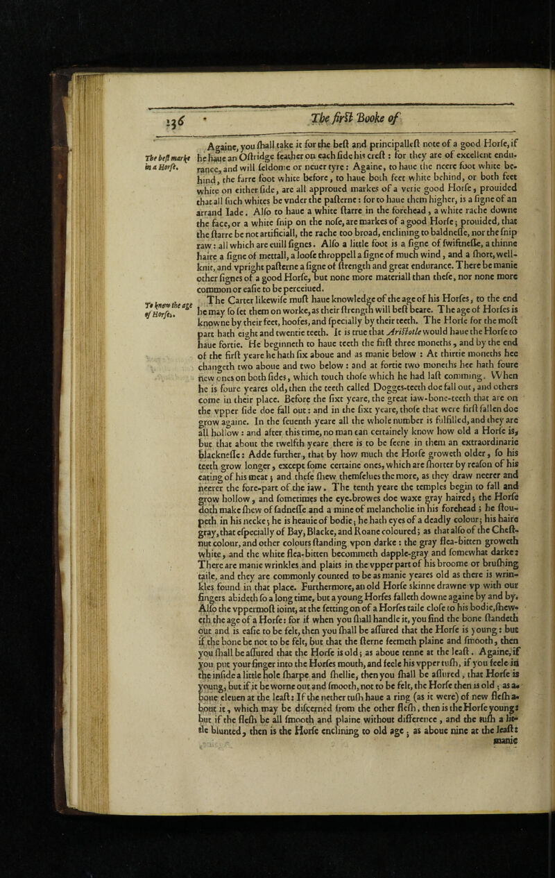 Âgaine, you fliaU take it for die bcft and principalkft note of a good Horfic, if nebtflmar{e hchaueanOftddge feather on each fide hkcrcft : for they are of excellent endii- inaHorfe» ranee, and will fcldon’x or ncuer tyre ; Againc, to hauc the ncerc foot white be¬ hind, the farre foot white before, to haue both feet white behind, or both feet white on either fide, arc all approued markes of a verie good Horfe * prouided that all fiich whites be vndcr the pafternc : for to haue thein higher, is a figne of an arrand lade. Alfo to hauc a white ftarre in the forehead, a white rachc downc the face, or a white fnip on the nofe, are inarkes of a good Horfc; prouided, that the ftarre be not artificial!, the rachc too broad, enclining to baldncflc, nor the fnip raw : all which are euill fignes. Alfo a little foot is a figne of fwiftnefllc, a thinne hairc a figne of mcttall, a loofc throppcll a figne of much wind, and a fhort, well- knit, and vpright pafternc a figne of ftrength and great endurance. There be manic other fignes of a good Horfe, but none more matcriall than thefe, nor none more common or eafic to be pcrcciucd. tu à The Carter likewife muft hauc knowledge of the age of his Horfes, to the end JSi* he may fo fet them on workc,as their ftrength will beft bcarc. The age of Horfes is knowne by their feet, hoofes, and fpccially by their teeth. The Horle for the moft part hath eight and twcntic teeth. It is true that Jlrifiotlff would haue the Horfc to haue fortie. IHc beginncth to hauc teeth the firft three moneths, and by the end ■ of the firft ycarc he hath fix aboue and as manic below : At thirtie moneths hcc , chano-eth two aboue and two below ; and at fortie two moneths hcc hath fourc new ones on both fidcs, which touch thofe which he had laft comming. When he is foure yearcs old, then the teeth called Doggcs-tcethdoefall out, ami others come in their place. Before the fixt yearc, the great iaw-bonc-tecth that arc on the vpper fide doe fall out; and in the fixe yeare, thofe that were firft fallen doc grow againe. In the feuenth ycarc all the whole number is fulfilled, and they arc all hollow : and after this time, no roan can certainely know how old a Horfc is,( but that about the twelfth ycarc there is to be fccnc in them an extraordinaric blacknefic ; Addc further, that by how much the Horfc groweth older, fo his teeth grow longer , except fome certaine ones, which arc fhortcr by rcafon of his eating of his meat j and thefe flicw thcmfclucs the more, as they draw necrer and nccrcr the fore-part of the iaw. The tenth ycarc the temples begin to fall and grow hollow, and fometimes the cyc-browes doc waxc gray haired y the Horfe doth make fhew of fadncfTe and a mine of melancholic in his forehead ; he ftou- peth in hisnccke*, he isheauicof bodic; hchath eyes of a deadly colour; his hairc gray, that cfpccially of Bay, Blackc, and Roane coloured ; as that alfo of the Cheft- nut colour, and other colours (landing vpon darkc : the gray flea-bicten groweth white, and the white flea-bitten bccommcth dapple-gray and fomewhat darke: There arc manie wrinkles and plaits in the vpper part of his broomc or brufhing tailc, and they arc commonly counted to be as manie y cares old as there is wrin¬ kles found in that place. Furthermore, an old Horfe skinne drawnc vp with our fingers abideth fo a long time, but a young Horfes fallcth downc againc by and by. Alfo the vppermoft ioint, at the fettingon of a Horfes tailc clofc to his bodic,flicw« cfb theageof a Horfe: for if when you fliall handle it, you find the bone flandeth out and is eafie to be felt, then you fhall be afliired that the Horfe is young ; but i the bone be not to be felt, but that the fternc feemeth plaine and finooth, then you fhall beaffured that the Horfc is old; as aboue tenne at the Icaft. A gaine, if you put your finger into the Horfes mouth, and feclc his vpper tufh, if you fcclc id the infide a little hole fharpe and fhellic, then you fhall be afliired, that Horfc is young, but if it be wornc out and fmooth, not to be felt, the Horfe then is old. as a« ' poue clcucn at the Icaft ; If the nether tufli haue a ring (as it were) of new fiefh a« bout it, which may be difeerned from the other flefh, then is the Horfe youngs but if the flefh be all fmooth and plaine without difference , and the lufli a lic- fle blunted, then is the Horfe enclining to old age. as aboue nine at the leaft: sianie