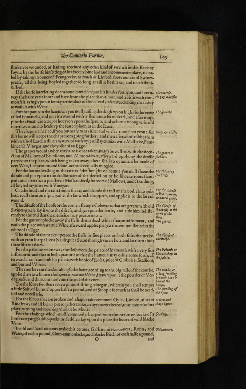 *45 ftrokcn or wounded, or hauing recciued any other kind of wrench in the Knee or loy nr, by the horfc his fetting of his foot in fome bad and inconucnicnt place, is hea¬ led by taking an ounce of Fenugrceke, asjnuchof Linfeed, foure ounces of Swines- greafe, all this being boyled together fo long as till it be thicke ,* and much dimi* nifhed. ..i • If the horfc interfering doe wound himfelfc vpon hisi hinder fect^ you. muff cut a- Theenterfe- way the haireveriefhort and bare from the place that is hurt, and rub it with com- therfu mon fait, tying vpon it fomc prettie plate of thin Lead, afterward taking that awây to walh it with Wine. . C. For the fpauin in the hammes : you muff/aifing the thigh vp on high,tie the veine §auke, called Fontanella,and giuc it a wound with a flemme to let it bleed, and after to ap- plie the aftuall cautcrie, or hot yron vpon the fpauin, and to burne it long wife and ouerthwart, and to healevp the feared place, asm the laiiar. Thcchapsarehealedjifyouburncthem at cither end witha round hotyron: for cl?api & clifts, this burne will keepe the chaps from going further, and then afterward rubbe them with wafhed Lard in diuers waters,or with oylc of Bayes mixt with Ma{ficke,Fraii- kinccnfc,Vinegar,andthcyolkeofanEgge. r* . i ^ 3 The grapes would (when the haire is once taken away) be wa/hed with the deco- rhegrapesof fti0nofMailowSjofBrininone,and Mutton-fewet, afterward applying thedroffie fcaàeu parts vnto theplacc, which being taken away, there fhall an oyntment be made of ' new WaXjTurpentine,and Gum-arabeoke equally mingled. Forthehorniefwcllingin the circle of the houghs or hams : you muff fbauc the Torthehony difeafe and put vpon it the drolTie parts of the decoction of hollihocke roots ffam- ped : and after that a plaiff cr of Muffatd-fced,the roots of Mallows, and Oxe dung, all boyled together with Vinegar. Cutthehead andthetailefromafnakc, and deuidethcreff of the bodic into ^ob- ^orthedlfeafe bets, roaff them on a fpit, gather the fat which droppeth, and applie it to the fore or ^Irnauet^aS' wound. , . The difeafe ofthe hoofc or the corne : (fampc Coleworts that are greenc with old dlfea^t of Swines-grcafe,lay it vnto the difeafe, and get vpon the horfc, and ride him indiffc- rentlyto the end that the medicine may pcarce into it. ‘ For the garrot ; plucke away the flefh that is dead with a fharpe inffnimcnt, and rht\arm, walfi the place with warme Winc,afterward applie plcgcts thereto moiffened in the white ofanEgge, The difeafe ofthe necke : pcarce the flclh in fiueplaccs on both fidcsthe neckc, '^^fdifeafeof with an yron fharpe likea Naule,put a Seton through ciitrie hole,and let them abide there fifteenedaics. ^ For the palamie : take away the flefh from the palate of his month wit h a very fine Pftamie or inifrument, and that in fuch quantitie as chat the humour may eafily come forth, af. in terward cleanfc and rub his palace, with honie of Rofes, juice of Chiboles, Scallions, * and burned Wheat. The courbe : cut the skin alongff the haire,acording to the bignefle ofthe courbe, embe, or applie thereto a linnen cloth,wet in warme Wine,ffraw vpon it the powder of Ver- f degreafe, and chuscontinuc vnto the end of the cure. bl^o/the ^ ^ ' For the Knee fwo 11 en ; cakeapintcof ffrong vinegar, wherein you fhall temper houpjo, a little Salt, of burnt Copper halfc a poi!nd,and of Smople fo much as fhall be need- (rveding of full and ncceflarie. thtiQiee. For the Knees that arc broken and chapt : take common Oylc, Linfeed, ofhes of Rie-ftraw, and all bci ng put together make an oyntment thereof,to annoint the fore JQtctr. place cuening and morning vntill it be whole. For the chafings which moff commonly happen vnto the neckc or backcof a horfe carrying Saddle-packs,or Saddle ; lay vpon the place the leaucsof wild blacke Vine. Inoldandhard tumours make this ccrotc: Galbanum two ounces, Rofin, and Oldtumouru Waxcjof each a pound, Gum-ammoniackc,and blacke Pitch,of each halfc a pound, O and