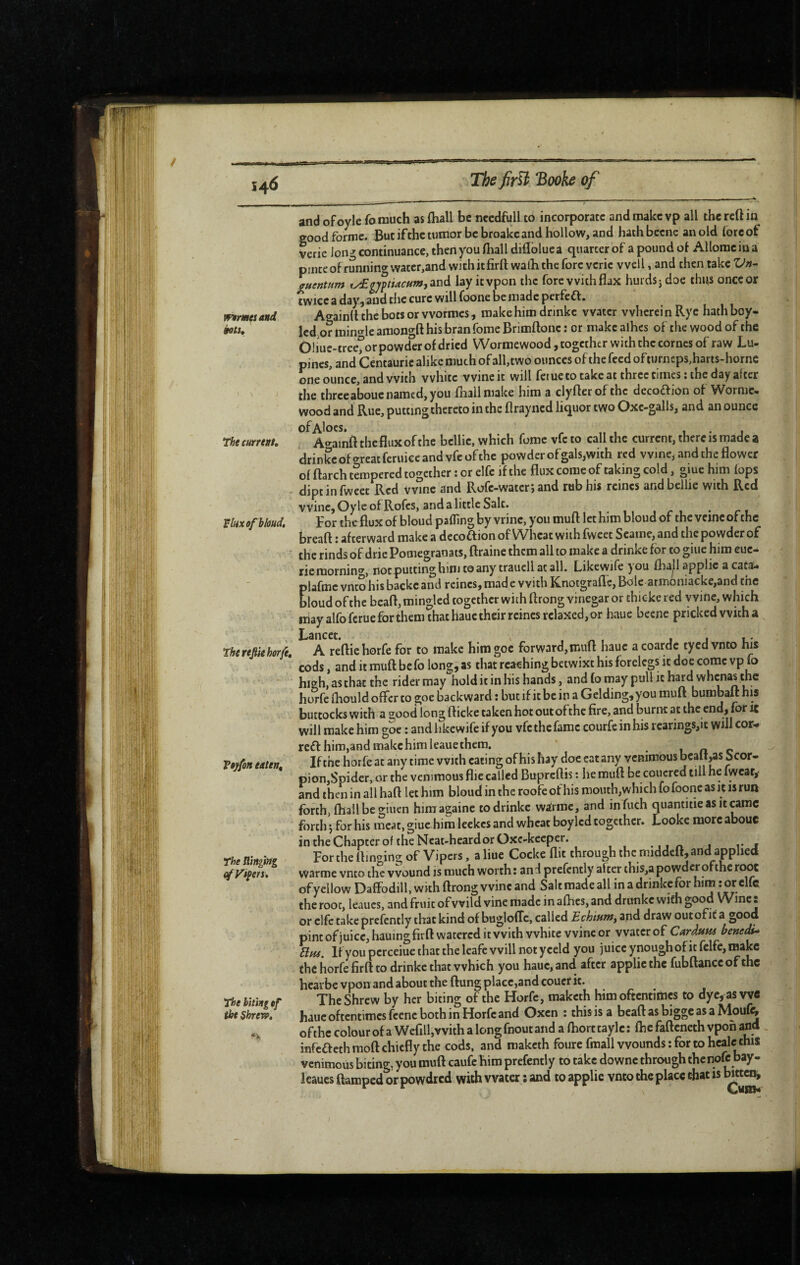 ï^6 mmtsand èots. ‘thecurrtat. Vluxofblùud, ‘Iherefiiehorft, Vtyfon eiten. The ningî)fg (f Vif en. The hiiing ef the Shrew, and ofoyle fo much asfhall bc nccdfull to incorporate and make vp all the reft in good forme. But ifthe tumor be broakcand hollow, and haihbecnc an old (ore of verie Jong continuance, then you (liall diflblue a quarter of a pound of Allomcina pinte of runnino-water,and withitfirftwalli the fore verie well, and then take ^tientum and lay itvpon the fore with flax hurds5doe thus once or twice a day, and the cure will foone be made perfeft. Ao-ainflthebocsorwormes, makehim drinke water wherein Rye hath boy- led or min«^learaongft his bran fomeBrimftone: or makcalhes of the wood of the Oliuc-tree°orpowderofdricd Wormewood,togcthtr with the comes of raw Lu- pines, and Centauric alike much of all,two ounces of the feed of turneps,haris-horne one ounce, and with white wine it will fetue to cake at three times ; the day after the threea'boue named, you fliallniake him a clyfler of the decoaion of Wormc- wood and Rue, putting thereto in the flrayned liquor two Oxc-galls, and an ounce of Aloes, ^ ,, , 1-1 Ao-ainftthcfluxofthe bellie, which fome vfeto call the current, there is made a drinke ofgreatferuiee and vfe ofthe powder ofgals,with red vvinCj and the flower of ftarch tempered together ; or elfe ifthe flux come of taking cold, giuc him fops diptinfweet Red wine and Rofe-waterjand rub his reines and bellie with Red vVine, Oylc of Rofes, and a little Salt. • r t. For the flux of bloud pafTing by vrinc, you muft let him bloud of the veinc or the breaft : afterward make a decoftionof Wheat with fweec Seaine,and the powder of the rinds of dric Pomegranats, ftraine them all to make a drinke for to giue him euc- riemornin*^, not putting him toany traucll at all. Likewife you fliall applie a catau plafme vneo his backc and reines,made with Knotgrafl'e, Bole armoniacke,and the &oud of the beafl, mingled together with ftrong vinegar or chicke red y vine, which may alfofcrue for them that haue their reines relaxed, or haue becne pricked with a ^ A reftiehorfe for to make himgoc forward,mufl haue acoarde tyedvnto his cods, and it muft be fo long, as that reaching betwixt his forelegs it doe come vp ft> high, as that the rider may hold it in His hands, and (o may pull it horfe ftiould offer to goe backward : but if it bc in a Gelding, you muft bumbaft his buttocks with a good long fticke taken hot out ofthe fire, and burnt at the end, for ic will make him gbe : and hkewife if you vfe the fame courfe in bis rearings,it will cor- reft him,and makehim leauethem. • u « c Ifthe horfe at any time with eating of his hay doe cat any vcnimous bealMs Scor¬ pion,Spider, or the veniraous flie called Bupreftis : he muft be coucred till he fwcar^ and then in all haft let him bloud in the roofc of his mouth, which fo foone as it is run forth, fhail be givien himagaine to drinke wirmc, and infuch quantitieasitcamc forth j for his meat, giuc hira leekes and wheat boylcd together. Looke more abouc in the Chapter of the Neat-heard or Oxc-kceper. , r t For the ftincring of Vipers, a hue Cocke flit through the middeft, and applied warme vnto th^vound is much worth: ani prefcntly after this,a powder ofthe root of yellow Daffodill, wkh ftrong wine and Salt made all in a drinke for him : or elfc the root, leaucs, and fruit of wild vine made in afhes, and drunkc with good Wme. or elfc take prefcntly that kind of bugloffc, called EchinWy and draw outofit a good pint of juice, hauingfirfl watered it with white wine or water of CarduHi benedù^ Bus, If you pcrceiue that the leafe will not y celd you juice ynough of it felfc, make the horfe firft to drinke that which you haue, and after applie the fubftance ofthe hearbe vpon and about the ftung place,and coucr it. The Shrew by her biting ofthe Horfe, maketh him oftentimes to dyc,as WC haue oftentimes fccnc both in Horfe and Oxen : this is a beaft as bigge as a Moufe ofthe colourofa Wefill,withalongfnoutand a fliorttaylc: fhefafteneth vpon and infefteth moft chiefly the cods, and maketh foure fmall wounds : for to hcalc this vcnimous biting, you muft caufe him prefcntly to take downe through thenofc bay- Icaucs damped or powdred with water : and to applie vnto the place that is Ixttcn^