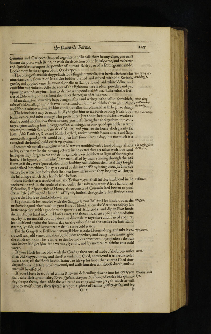 Cummin and Garleekc ftampcd together : and in cafe there be any vlcer, you muft foment the pl^cc with Brine, or witli tlicclcco£tion ofthc ^dirtle^trcci nnd to fc^cter and fprinkle thereupon the powder of burned Barley y or of a Pomegranat rinde, Looke more in the chapter of the Ox-kceper. o The bitino- ofa madde dogge hath for a fingiilar remédie, if it be vfed before it be rhejij^g of a nine dales, rSe flowers of Medicke fodder burned and mixed with old Swines- o-reafe, and applied vnto the wound, or elfe to ftampe if with old white W me, and caufehim to drinke it. AUo the root of the Eglantinc-tree made in powder, and put vponthc vvoundyOr giucn hirn to dnnkc with good oid^Wuic Likcvvifcthc lies of£lder-trec, or the juice of the leaues thereof, or of Allie-treei Hens duiio- fwallowed by Iiap, bringeth frets and wrings in the bellie : for which, Hem dung take of old Smallagc and drie two ounces, and caufc him to dnnke them with Wine and Honie ; afterward walke him vntill hiS bellic rumble,and that he begin to dung. The leanc horfc may be made fat,if >'ou glue him to eat Faiels or long Peafe boy- rhe leans horfe. led in vvater,and mixe amongft his prouendcr : but and if he fhould be fo weakc as that he could not fwallo w them downe, you muft ftrengthen and get Iiim into cou- rao-e a^rainc,making him fup egge-yolkcs with fugar in vene good quanticie ; vvarme vvaccr, mixt with Salt and nieale of Millet, and giuen to the horfe, doth greatly fat him. Alfo Panicke, Rice,and Millet boyled, and mixe with Beane-meaie and Salt, arccxcellent ^ood,anci It would be guien him foure times a day, but not much at a timcjleafl: the horfe fliould caft it vpagainc. • V t • • / It commeth to paffe foiiKcimes that Maresatc troubled with a kind of rage, that is to fay, when they fee their owne piaurcs in the water they are taken with loue : and hereupon they forget to eat and drinke,and drie vp their heat or ligne ofdefiring the horfe. The figues ofthismadnefle are manifefted by their running through the pa- flures,as ifthey \ytTC fpurrcd,oftentimes looking round about them,as if they fought and defired fomcthlng. They arc cured of this madneffe by being brought ynto the water; for when they fee by tfleir fliadows how illfauoured they' be, they will forget thefirftfhapcwhichthey had beheld before. ii i- i Tor a Horfe that is troubled with the Ycllowcs,you (hall firft let him bloud in the reUomu nccke veine and in the loofe of the mouth: then take a quart of Ale, a handfull of Celandine,fiuefpooncfulsof Honey, three ounces of Cummin feed beaten to pou- dcr, a little Saffron,and a handfullofTyme,boilc thefe together, then ftraine it, and giuc it the Horfe to drinke lukewarrac. If your Horfe be troubled with the Staggers, you Oiall firft let him bloud in the Staggett nccke veine,and take from him great flore of bloud : then take Veriuice andBay fait beaten together, with a good pretcicquantitie of Alfafttida, and dip in Flax hurds therein, flop it hard into the Horfes cares, and then bind them vp fo as the medicine may by nomeanesfall out; and doe thus diuers daies together; and if need require, let him bloud againe the fécond day on the other fide of the nccke : let him Rand warmc, lye fofc, and by no mcancs drinke anie cold water. For the Gargyll or Peflilence amongfl Horfes, take Hennes dung, and mix it vc- TefUlence, tie well with old vririe, and tlrcn boyle them together , and being luke warmc, giuc the Horfe a pint,or a little more, to drinke two or three mornings together ; then,as was before faid, let liim fland warmc, lye loft, and by no mcancs drinke anie cold water. IfyourHorfebetroublcdwiththcCords,takeacoruedmadeofthebrow-antlcr cord^,- of an old Stagges home, and thrufl it vnder the Cord, and twy'nd it tenne or twelue times about, till the Horfe be conftrained to lift vp his foot, then cut the Cord afun- dcr,and put a little fait into the wound, and vvafh him after with Bccfc-brotb,and the cure will be effefled. If your Horfe be troubled with a Rlicwme defeending downe into his c) cs,you RhenKcintht fliall take Bolc-arraoniakc, Terra figilUta, Sanguis Draconis,xiï each a like quanti- dc, ferape them, then addc the white of an egge and vinegcr, fo much as will fcructo moift them, then fpread it vpon a piece of leather plaftcr-yvifc^ and lay O a