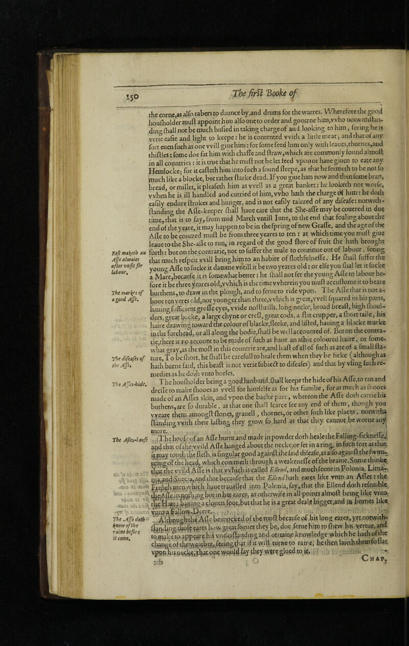 the corne,as ^iCo tabcrs to dauncc by,and drums for the warres. Wherefore the good houlboldermuft appoint him alfooneto order and gouerne him,who iiotwithrtan- dino-lball not be much bufied in taking charge of and looking to him, feeing he is vericeafie and light to keepethe is contented with a little meat, andthacotany. fort cuenfuchas o^e will giuehim : for fomc feed him only with lcaues,thornes,and thifties ; fome doe fat him with chaflFc and ttraw,which are commonly found almoft in all countries ; it is true that he muft not be let feed vponor hauegiuen to eateany Hemlocke; for it cafteth him into fuch a found fleepe, as that he feemeth to be not fo much like a blockc, but rather ft arke dead. If you giue him now and then fome bran, bread, or millet, it pleafeth him as well as a great banket ; he looketh not worfo, when he is ill handled and curried ol him, who hath the charge df him : he doth eahly endure ftrokes and hunger, and is not eafily tainted of any difoafe; notwith- ‘ftandin^ the Afte-keeper (hall hauccare that the She-aftc may be couered in due, time,ch^t IS to fay, from mid March vntill lune, to the end that foaling about the endofthe yearc, itmay happen to be in thefpringofnew Grade, and theageofthc Adc to be couered muft be from three yeares to ten : at which time you muft giue leauetothe She-afletorun, in regard of the good ftore of fruit Ihe hath brought Rejl,?,,keth an forth; butonthecontrarie,not tofufferthe male to Affeatvi>aies that much rcfpeit will bringhimto anhabite offlothfulneile. He lhail lutferthe after vnfitfir damme vntill it be two yeares old : or elfe you dial let it fuckc labour, / ]Vlare,becauf€ it is fomewhat better : he foall not fet the young Afle to labour be¬ fore it be three y>ares old,which is the time wherein you muft accuftome it to beare rhemarkfiof burthens, to draw in the plough, and to feme to ridevpon. The Ade that is not a- agood Afe, cld,nor youngepthan three,which is great,well fquared in his parts, hauingfofficientgrode eyes, wide nofthrills, long necke, broad bread, high lboul- ders, ?reat bücke, a large chync or crefi, great cods, a flat crupper, a fhort taile, his haii'c^^awing toward the colour ofblackcjfleeke, and lifted, hauinga blacke marke in the fqrehead, or all along the bodic,foall be wtl 1 accounted of. But on the contra- lic,there is no account to be made of fuch as haue an aftiic coloured Iraire, or fome¬ what crray,as the mod in this countrie are,and lead of all of fuch as are of a fmall fta- rhe direafes of ture, To be foort, he (hall be carefull to healc them when they be heke ( although as theAfe, hathbeenefaid, thisbeaft isnoc veriefubieft to difeafes) and that by vlingfuchre- niedicsashedothvntohorfes. a/t j The A^is-hide The houflioldcr beinga good husband,fhall keepe the hideofhis A{lc,to tan and * dredetomakelbooesas well for himfclfe as for his familic, foras much as Ihooes madeofanAffes skin, and vponthe backeparc, whereon the Ade dothcarnchis buchensjare fo durable, as that one iball fcarce fee any end of them, thoMgh you vye^e thern amongd donc.s, grauell, thornes, or other fuch like places, notwith^ fTandin'r with their lading, they grow fo hard as that they cannot be worne any The Afei’hooft -^T’be hoofe of an Ade burnt and made in powder doth hcalethe Falling-ficknedc^ anef that ofriiejWild Ade hanged about the necke,or fet in a ring, in fuch tort as that ^ pqay toucjli the tlefh,is lingular good againft thefaid difeafe,as alfo againd thefwiro^ iilin‘’’ dftheli»^ad, which commeth through a wcakencdepfthcbraine.Some thinkp _ > . ' t'lwt^he vyild ÂflTe is thaty vhiçh i? called Ellend^ and much feene in Polonia, Litua^; - - n|ajanç|'§uccjajajid that becav|fothac the EJlendhâih cares like vnto an Ades : men which h^ue tr^u4Ùed into, i^plcnia, fay, that the Ellend doth rcfemblc, A diç^AffpîÎT^ÿhing but in icaf cs, as oçherw jfe in all points almoft being likç vnto Swollen fpQ£,hut that he is a great deals! bigger,and in homes like -vA vntq-aFall9^-Decrc.-5, .. .. , ' , - . . , a..; -r. .r /.vv ■ ■ .,rAlchpuâbt;h^AfIebeipRf5ke4oftbcm9ftbecaufe,ofbisjpngcares,y«no.t^ chÿe ç^res hovy,greatfpeuer they be^ doc ferue hitn to fhew yer^P» tp^'kem appçftre his vnderj^gtulingâîfo knpvyfedge vyhichhc hathofthc cii^giof th^MAathgyfçjyf^^^ turneto raire, bethenlaieth.thcmfoftat vion hi? n&^e,l:hi one wonl4lay they wçrç glued m ^ ^ îi. ‘ .. ' . ■ The ^Jfe doth Iffimv of the raine before it tome.