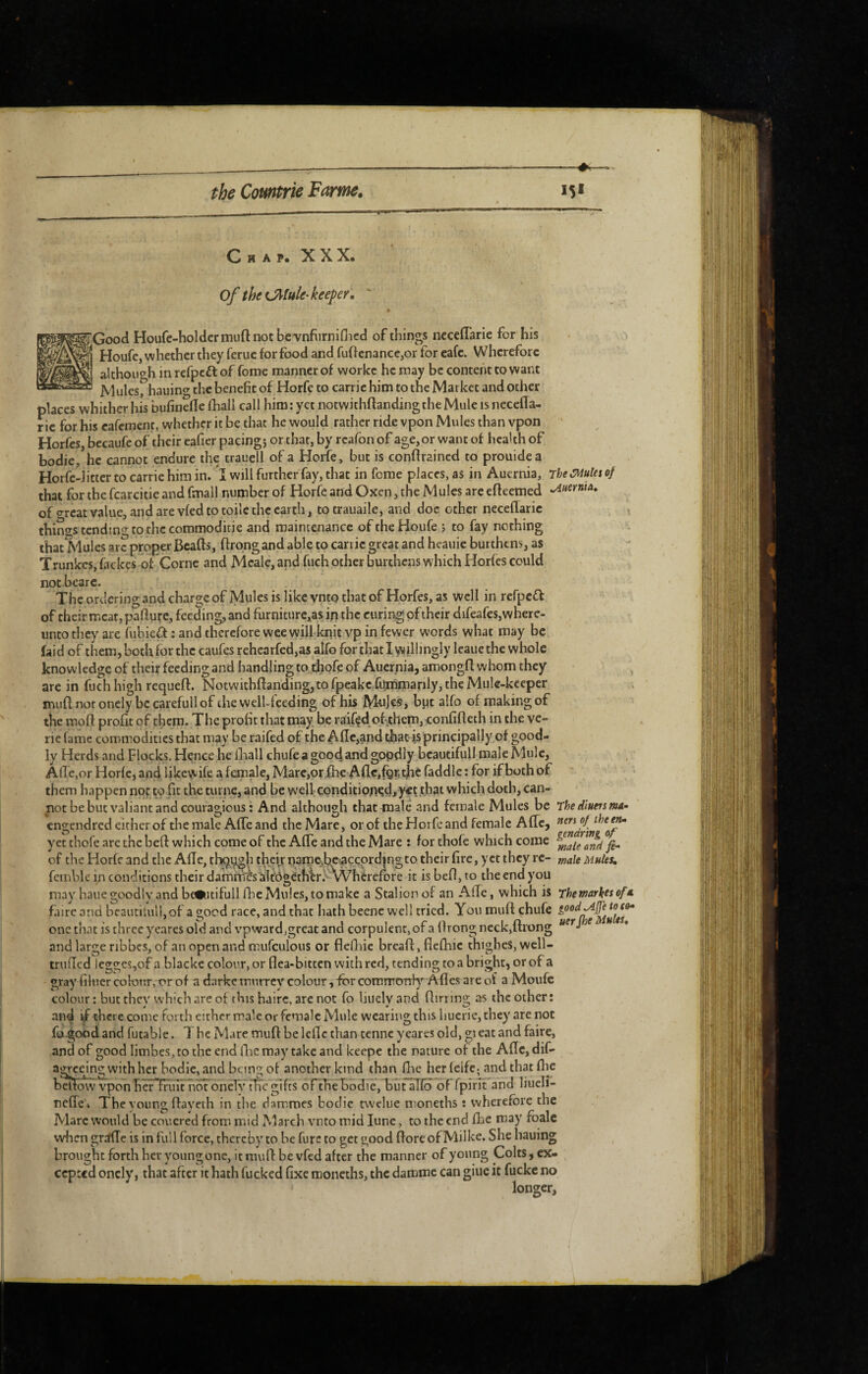 Chap. XXX. of the tJUfile-keeper, ■;Goocl Houfe-holdcrmuft not bc'vnfurniflicd of things ncceflarie for his . Houfe, whether they feruc for food and fuftenance,or for eafe. Wherefore althoiif^h in refpefl of fomc manner of workc he may be content to want Mules, hauing the benefit of Horfc to carrie him to the Market and other places whither his bufinefle fhall call him : yet notwithftanding the Mule is necefla- ric for his carement, whether it be that he would rather ride vpon Mules than vpon ' Horfes, becaufeof their eafier pacing; or that, by rcafonof age,orwantof hcaUhof bodie, he cannot endure the trauell of a Horfe, but is conftrained to prouidea Horfe-Jitter to carrie him in. I will further'fay, that in feme places, as in Auernia, rheCMuUiof that for the fcarcitie and fmall number of Horfe and Oxen, the Mules are efteemed ^uerniA, of o-rcat value, and are vfed to toile the earth, to trauaile, and doc other neceflaric thin<ys tending to the commoditie and maintenance of the Houfe ; to fay nothing that Mules arc proper Beads, drqng and able to carrie great and heauie burthens, as Trunkcs,fackcs of Corne and Mcale,and fuch other burthens which Horfes could not beare. The ordering and charge of Mules is like vnto that of Horfes, as well in refpeff of their meat, padufe, feeding, and furniturc,as ip the curing of their difeafes,where- unto they are fubieft ; and therefore wee will-knit vp in fewer words what may be faid of them, both for the caufes rehearfed,as alfo for that 1 vvillingly Icaue the whole knowledge of their feeding and handling to dbofe of Auernia, amongfl whom they ^ are in fuch high requeft. Notwithftanding, to fpeakc,fummarily, the Muk-keeper muft nor onely be carefull of the wellfeeding of his Mujes, bpc alfo of making of the moft profit of them. The profit that may be raif^d of-ithem, confifteth in the ve- ric fame commodities that may be raifed of the Aftc,and that-is principally of good¬ ly Herds and Flocks, Hence he ihall chufe a good and gopdly hcautifull male Mule, Allé,or Horfe, and likewife a female, Marc,or fhe Aflc,fQr,thc faddle : for if both of ’ them happen not to fit the turne, and be well;CGndition?c|,yct that which doth, can¬ not be but valiant and couragious : And although that male and female Mules be Thediuersma- engendred either of the male Afte and the Mare, or of the Horfe and female Aftc, yet thofe are the heft which come of the Afte and the Mare : for chofe which come of the Horfe and the Afte, thqi^h their name.be^accprdjngto their fire, yet they re- f„ale Mutes, fcinble in conditions their damm'ès àltôgethW.'^vVhèrefbre it is befl, to the end you may haue goodly and beSiuifull fhe Mules, to make a Stalion of an Afte, which is Themarkes of € faire and heaucituli,of a good race, and that hath beenc well tried. You muft chufe one that is three yeares old and vpward,great and corpulent, of a ftrong neck,ftrong  ’’•1 and large ribbcs, of an open and mufculous or flcfliie breaft, flcfhic thighes, wcll- trufted legges,of a blacke colour, or flea-bitten with red, tending to a bright, or of a gray fiiuer colonr, or of a darke mtirrcv colour, for commonh’’ Afles are of a Moufc colour : but they which are of this hairc, are not fo liuely and ftirring as the other: and if there come forth either male or female Mule wearing this liucrie, they are not fa.good and futable. T he Mare muft be Icflc than tenne yeares old, gieat and faire, and of good limbes, to the end flic may take and keepe the nature of the Aftc, dif- agreeing with her bodie, and being of another kind than ftie hcrlcifc; and that fli^e bmow vponherTruit no?onélv tfregifts ôrthébodiè, butaTfo of fpirit and liueli- neffe'* The young ftaveth in the dammes bodie tvvelue moneths ; wherefore the Marc would be couered from mid iMarch vnto mid lune, to the end fhe may fbale when grtffte is in full force, thereby to be furs ro get good flore of Milks* She hauing brought forth her young one, it muft be vfed after the manner of young Colts, ex- cepted oncly, that after it hath fucked fixe moneths, the damme can giue it luckc no longer.