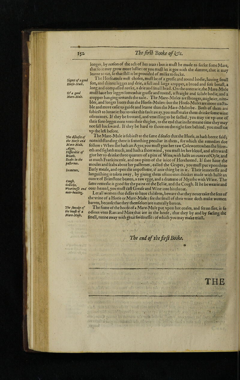Signes of a good Hor/e-Mule, Of A good Mare-Mule. The difeafes of the Horfe And Mare-Mult^ ^Ague. Viffieiiltie of hreath. Scabs in the fafternes, leanenes. Cough. CoUic^e, Wearineffe and tuer-heating. The fmoa\e of the hoofi of A Mare-Muje. longer, by rcafon of the ach of her teats : but it muft be made to fuckc fome Marc, that lo it may grow more luüie: or you muft let it goe with the damme, that it may Icarnc to cat, fo that flill it be prouided of milke to fucke. The Horfc-mule weH chofen, muft be of a grofte and round bodie, bailing fmall feet,andtliinn£leggesanddrie, afulland large crupper, a broad and foft brcaft,a long and compafled necke, a drieand fmall head. On the contrarie,the Mare-Mulc muft haue her legges fomewhat grofte and round, a ftraight and folide bodie, and a crupper hanging towards the taile. The Marc-Mules are ftrenger, mightier, nim¬ bler, and longer liuers than the Horfe-Mulcs : but the Horfe-Mulcs arc more trafta- blc and more cafie to guide and Icarnc than the Mate-Mules be. Both of them arc fubieft to lunacie.-but to take this fault away,you muft make them drinkc fome wine oftentimes. If they be froward, and vnwilling to be fadled, you may tic vp one of their fore-leggcs euen vnto their thighes, to the end that in the meanc time they may not fall backward. If they be hard to fhooc on the right foot behind, you muft tic vp the left before. The Marc-Mule is fubieft to the fame difeafes that the Horfe, as hath bccnc faid j notwithftanding there is fomething peculiar in them, for which the remedies doc follow : When fhe hath an Ague,you muft giue her raw Colewortsiwhen ftic blow- cth and ftgheth much, and hath a ftiort wind, you muft let her bloud, and afterward giue her to drinke three quarters of a pint of Wine, with halfe an ounceof Oy Ic, and as much Frankincenfe, and two pints of the iuice of Horehound. If ftiec haue the moules and fcabs about her pafternes, called the Grapes, you muft put vpon them Barly mcalc, and open the impoftumc, if anie thing be in ic. Their leanenefle and languifhing is taken away, by giuing them oftentimes drinkes made with halfe an ounce of Brimftone beaten, a raw egge, and a draromc of Myrrhe with Wine. The fame remedie is good for the paine of the Bcllic, and the Cough. If he be wcaricand oucr-heated, you muft càft Greafe and Wine into his throat. Let all women chat defirc to haue children, beware that they neuer take the fent of the vrinc of a Horfe or Marc-Mule : for the fmell of their vrinc doth make women barren, bccaufe that they thcmfclues arc naturally barren. The fume of the hoofc of a Marc-Mule put vpon hot coales, and feton fire, is lb odious vnto Rats and Mice that arc in the houfc, that they by and by feeling the fincll, runneaway with gfcat fwiftneffe : of which you may make triall. 'I . ' The end of the firfl Bioke. ♦