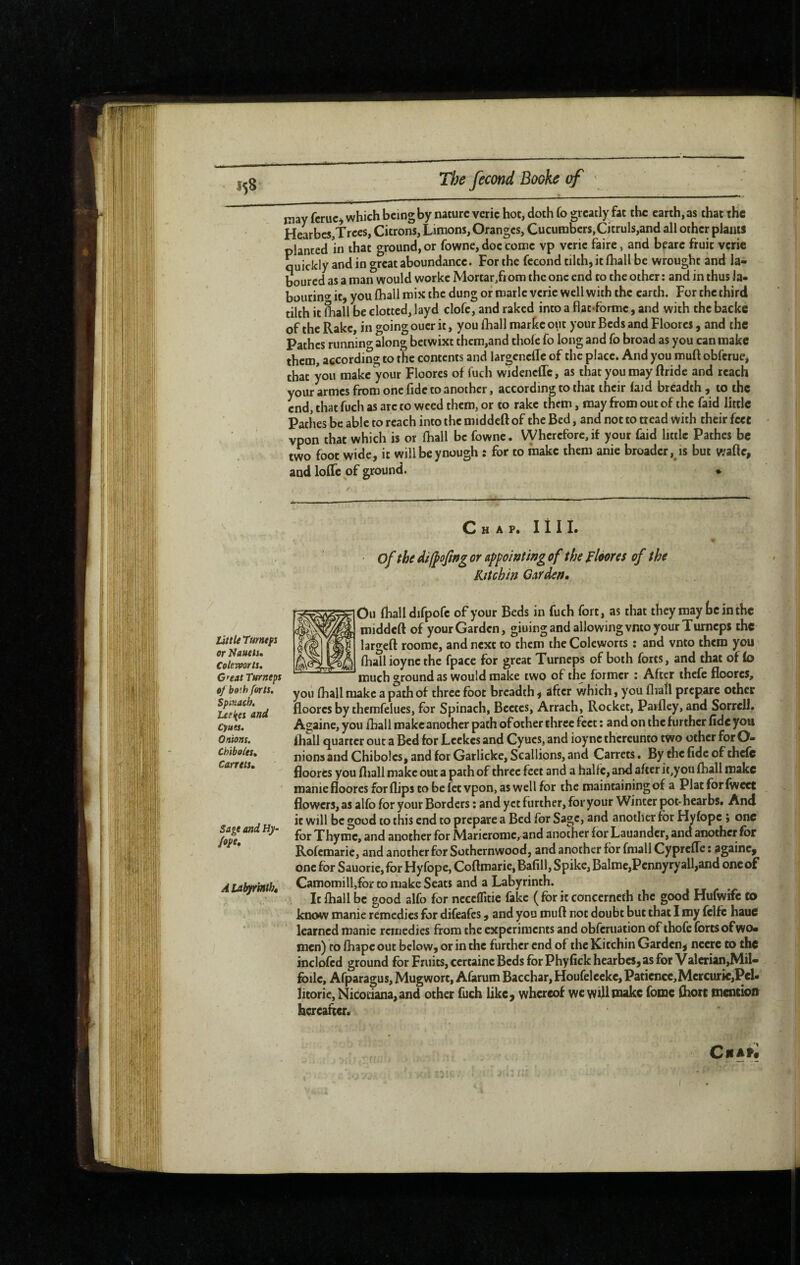 may fcruc^ which being by nature vcric hoc, doth fo greatly fat the earth, as that the HeLbe$,Trces, Citrons, Limons, Oranges, Cucumbers,Citruls,and all other plants planted in that ground, or fowne, doe come vp verie faire, and bearc fruit vcric quickly and in great aboundancc. For the fécond tilth, it (hall be wrought and la¬ boured as a man would worke Mortar,fiom the one end to the other: and in thus la- bourinw it, you (hall mix the dung or marie verie well with the earth. For the third tilth it fliall be clotted, layd clofe, and raked into a flac*forme, and with the backs of the Rake, in going ouer it, you (hall markc out your Beds and Floores , and the Pathes running along betwixt them,and thofc fo long and fo broad as you can make them, according to the contents and largeneffe of the place. And you mu(t obferue, that you make your Floores of fuch widenefTc, as that you may Bride and reach your armes from one (idc CO another, according to that their (aid breadth, to the end, that fuch as arc to weed them, or to rake them, may from out of the faid little Pathes be able to reach into the middeft of the Bed, and not to tread with their feet vpon that which is or (hall be fowne. Vyherefore,if your faid little Pathes be two foot wide, it willbeynough : for to make them anie broader, is but wafte, and Ioffe of ground. ♦ Chap. 1111. of the M/poJiffgor appowtmgof the fIcons of the Kttchm Carders, little Tmtupi or Nauets, Colemrts, C'eat Turneps oj both forts. Spinach. Ltflies and Cyues. Onions. Chiboies» Carrels, Sage and Hy- A Labyrinth, Ou (halldifpofc of your Beds in fuch fort, as that they may tc in the middeft of yourGarden, giuingand allowingvntoyourTurneps the largeft roomc, and next to them theColeworts ; and vnto them you (hall ioync the fpace for great Turneps of both forts, and that of(o much ground as would make two of the former ; After thefe floores, you (hall make a path of three foot breadth, after v/hich, you £lia(l prepare other floores by chemfelues, for Spinach, Bcctes, Arrach, Rocket, Parfley, and Sorrell. Againe, you (hall make another path of other three ^ct : and on the further fide you Ihall quarter out a Bed for Lcckes and Cyues, and ioync thereunto two other for O- nionsaiid Chibolcs, and for Garlicke, Scallions, and Garrets. By the fide of thefe floores you fliall make out a path of three feet and a halfc, and after it,you fhall make manie floores for (lips to befet vpon, as well for the maintaining of a Plat for fweet flowers, as alfo for your Borders : and yet further, for your Winter pot-hear bs. And it will be good to this end to prepare a Bed for Sage, and another for Hyfopc ; one for Thyme, and another for Maricrome, and another for Lauandcr, and another for Rofemarie, and another for Sothernwood, and another for fmall Cypreffe : againe, one for Sauorie, for Hyfopc, Coftmarie, Bafill, Spike, Balmc,Pcnnyryall,and one of Camomilljfbr to make Seats and a Labyrinth. It (hall be good alfo for ncceffitie fake (for itconcerneth the good Hufwife to know manie remedies for difeafes , and you muft not doubt but that I my felfc haue learned manic remedies from the experiments and obferuation of thofe forts of wo¬ men) to (hape out below, or in the further end of the Kitchin Garden, neerc to the inclofcd ground for Fruits, certaine Beds for Phyfick hearbes, as for Valerian,Mil- folic, Afparagus, Mugwort, Afarum Bacchar, Houfelcckc, Patience, Mercuric,Pel- litorie,Nicodana,and other fuch like, whereof wewfllwakc fome Chore tncncioit bcreancr.