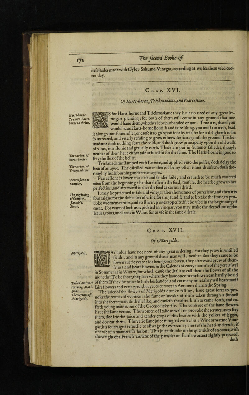 »7» in fallacies maae with Oyle. Salt, and Vinegar, according as we fee them vied eue- rie day. Miftt-horne. Tocanfe harts- berne to thriue. The vertuts of harts-horne* The vertues of Tricifrnadame* •Peareeflone or Smfser^ Theprefiruing efSampier, JaMndfCt Stonct Chap. X V L of HAYts-horne. TrickmAdAme^and FearceHonen $ for Harts-hornc and Tiickmadarac they haueno need of any great fet- tino-or planting: for both of them will come in any ground that one would hauc thcm,whcthcr it be husbanded or not. T rue it is, that if you would haue Harts-hornc flourifli and faire liking,you muft cut it oft, lead it alono^ vpon fomc roller,or caufe it to go vpon foot by it felfe :for it dclighteth to be fo intreated, and vttcrly refufing to grow otherwife than againft the ground.Trickc- madarac doth nothing feare the cold, and doth grow principally vpon the old walls of vines, in a ftonie and grauelly earth. Thcfc arc put in Summer-fallades, though neither of them haue either taft or fmell fit for the fame. The liarts-horne is good to ftaythefluxofthebeilie. , . i, Trickraadaroe ftamped with Lettuce,and applied vnto thepulfes, doth delay the heat of an ague, Thediftillcd water thereof being often times drunken, doth tho¬ roughly heale burning and tertian agues. ' Pcarceftonc is fowen in a drie and fandie foilc, and craueth to be much watered cuen from the beginning : he that defireth the feed, muff let the hearbe grow to her pcrfc£lion,and afterward to drie the feed as come is dried. It may be preferued in fait and vinegar after the manner ofpurcelanc,and then it is foucraio-nefor the difficultie ofvrinc,forthe jaundife,and to breakc the ftone,to pro- uokc vvomens termes,and to ftirre vp ones appctitc,if it be vfed in the beginning of meat. For want of fiich as is pickled in vinegar, you may make the dccoftion of the kaues,roots,and feeds in Wine, for to vfc in the lame difeafe. Tufted and roe I thriuing Mari¬ golds. The vertues of Marigolds. Chap. XV11* of mtarigolds» Ario-olds haue not need of any great ordeiing, for they grow in vntilled fields, andin any ground that a man will, neither doe they crane to be fowen euerieyeare ; for being once fowen, they afterward grewof them- fclues,and beare flowers in the Calends of euery moneth of the y crc,3fwcl in Sommer as in Winter, for which caiife the Italians call them the flower of all the moncths .To be Ihort,the place where they hauc once bcene fowen can hardly be rid of them. If they be neuer fo little husbanded,and cut many times,they wil beare molt faire flowers and verie great,but yet cucr more in Autumne than in the Spring. The juice of the flowers of Marigolds drunke faffing, haue great force to pro- uokc the termes of women ;the fumcorfmoakc of them taken through a funnell into the fecret parts doth the like, and caufeth the after-birth to come forth, and ca- ftethyouno-maides outofthe Grccne-fickntfle. The conftrucof the fame flower» hatie the fame vertue. The women of Italie as well to prouokc the termes, as to Itay them, doc frie the juice and tender crops of this hearbe with the yolkes of Egges, and doc cat them. Thcvericfamcjuiccminglcd with a little Wine or warraeV^ne- o-ar is a fouerai^ne remedic to aflwage the extreame paires of the head and teeth, d Sne vfc It in manner ofa lotion. This juice drunkrtothequantitic ofanounce,with the weierhtofa Frcnch-ctownc of the powder of Earth-woimes rightly prepared, Û doth