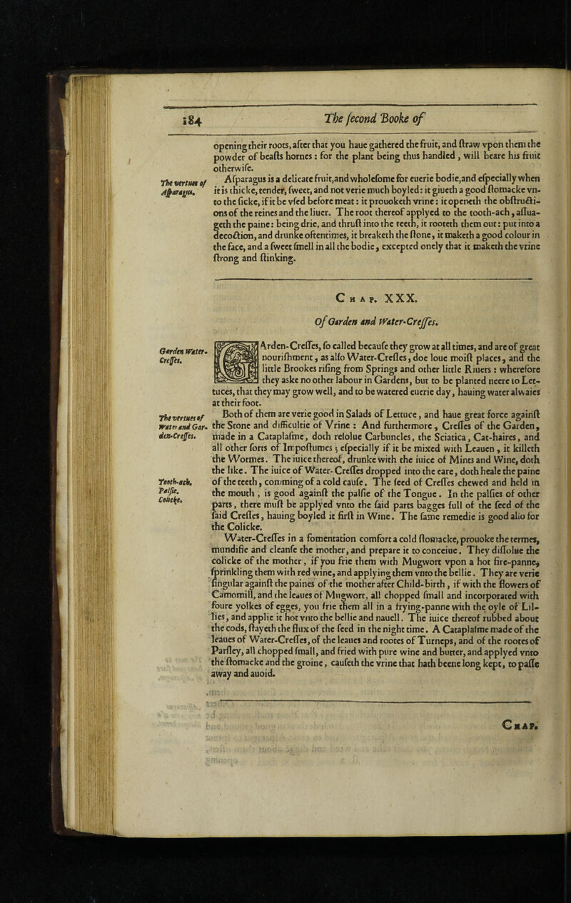 opening their roots, after that you haue gathered the fruit, and ftraw vpon them the powder of beafts homes ; for the plant being thus bandied, will bcarc his ftuic oiherwifc. Afparagus is a delicate fruit,and wholefome for eucric bodie,and cfpecially when /tj^argÿd, it is thickc, tender, fwect, and not vcrie much boylcd; it giueth a good ftoinacke vn- to the ficke, if it be vfed before meat : it prouoketh vrine : it openeth the ob(iru£ii- onsof the reines and the liucr. The root thereof applyed to the tooth-ach, aflua- geth the paine : being drie, and thruft into the teeth, it rooteth them out : put into a deco£lion, and drunke oftentimes, it breaketh the ftonc, it maketh a good colour in the face, and a fweet ftnell in all the bodic ^ excepted onely that it maketh the vrine flrong and (linking. Chap. XXX. of Garden and fVater^CreJps, Arden-CrelTcs, fo called becaufe they grow at all times, and are of ©reat jÎ nouriihment, asal(o Water-Crefles,doe loue moift places, and the * ; little Brookes riling from Springs and other little Riuers : wherefore 3 they aske no other labour in Gardens, but to be planted necre to Let¬ tuces, that they may grow well, and to be watered eucric day, hauing water alw aies at their foot. The venues 0f good in Salads of Lettuce, and haue great force againll WMtetgndGar^ the Stone and difficultic of Vrine : And furthermore. Greffes of the Garden, éta^CreJfts, liiade in a Cataplafmc, doth reloluc Carbuncles, the Sciatica, Cat-haires, and all other forts of Impoftumes 5 efpecially if it be mixed with Leauen , it killcth the Wormes. The iuicc thereof, drunke with the iuicc of Mints and Wine, doth the like. The iuice of Water- CrclTes dropped into the care, doth heale the paine Teoth‘gck, of the teeth, comming of a cold caufc, The (ecd of Greffes chewed and held in tfic mouth , is good againft the palfic of the Tongue. In the paKies of other * parts, there muff be applyed vnto the faid parts bagges full of the feed of the faid Greffes, hauing boyled it firft in Wine. The fame remedie is goodaho for the Colicke. Water-Creffes in a fomentation comfort a cold ffomacke,prouokc the termeSj mundiBe and cleanfe the mother, and prepare it to concciue. They diffolue the colicke of the mother, if you frie them with Mugwort vpon a hot fire-panne^ forinkling them with red wine, and applying them vnto the bellie. They are veric fingular againft the paines of the mother after Child-birth, if with the flowers of Camomill, andihclcducsof Mtigwort, all chopped fmall and incorporated with foure yolkes of egges, you fric them all in a frying-panne with the oyle of Lil¬ lies , and applic it hot viiro the bellie and nauell. The iuice thereof rubbed about the cods, ftayeth the flux of the feed in the night time. AGataplalmemadeof the leauesof Water-Creffes, of thelcaucs and rootes of Turneps, and of the rootesof Parfley, all chopped fmall, and fried with pure wine and butter, and applyed vnto the ftomacke and the groine, caufeth the vrine that hath bcenc long kept, topaffc away and auoid. CxAP#